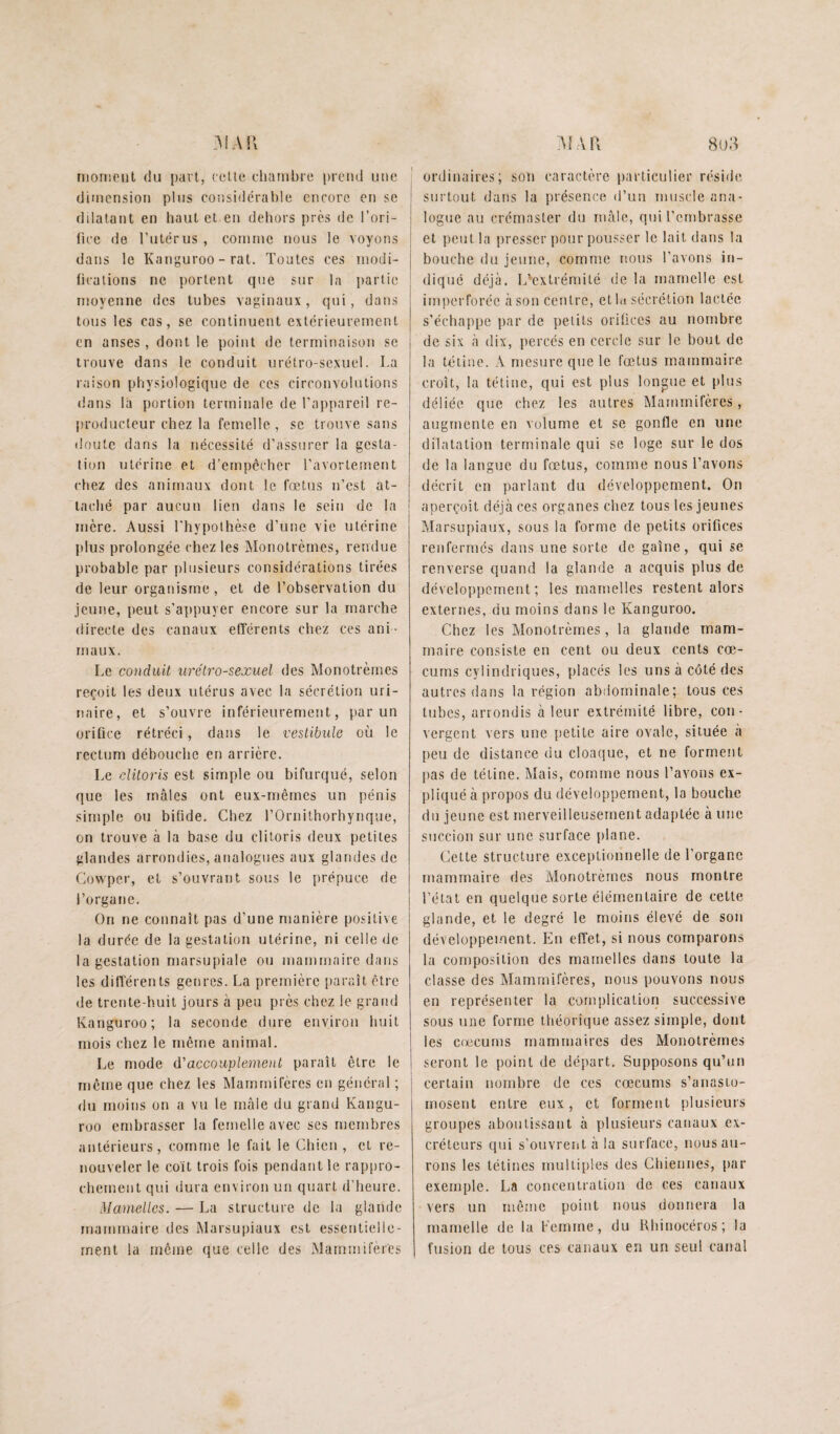 31 Ail AlAR nionieiil du pari, {cUe clmrnbrc preiui liiuî dimension plus considérable encore en se dilatant en haut et en dehors près de l’ori- iiee de l’utérus , comme nous le voyons dans le Kanguroo - rat. Toutes ces niodi- ficalions ne portent que sur la partie moyenne des tubes vaginaux, qui, dans tous les cas, sc continuent extérieurement en anses, dont le point de terminaison se trouve dans le conduit urétro-sexuel. La raison physiologique de ces circonvolutions dans la portion terminale de l’appareil re¬ producteur chez la femelle , se trouve sans doute dans la nécessité d’assurer la gesta¬ tion utérine et d’empêcher l’avorlenient chez des animaux dont le fœtus n’est at¬ taché par aucun lien dans le sein de la mère. Aussi l'hypothèse d’une vie utérine plus prolongée chez les Monotrèines, rendue probable par plusieurs considérations tirées de leur organisme, et de l’observation du jeune, peut s’appuyer encore sur la marche directe des canaux efférents chez ces ani¬ maux. Le conduit urétro-sexuel des Monotrèmes reçoit les deux utérus avec la sécrétion uri¬ naire, et s’ouvre inférieurement, par un orifice rétréci, dans le vestibule où le rectum débouche en arrière. Le clitoris est simple ou bifurqué, selon que les mâles ont eux-mêmes un pénis simple ou bifide. Chez l’Ornithorhynque, on trouve à la base du clitoris deux petites glandes arrondies, analogues aux glandes de Cowper, et s’ouvrant sous le prépuce de l’organe. On ne connaît pas d’une manière positive la durée de la gestation utérine, ni celle de la gestation marsupiale ou mammaire dans les différents genres. La première paraît être de trente-huit jours à peu près chez le grand Kanguroo; la seconde dure environ huit mois chez le même animal. Le mode d'accouplement paraît être le même que chez les Mammifères en général ; du moins on a vu le mâle du grand Kangu¬ roo embrasser la femelle avec ses membres antérieurs, comme le fuit le Chien , et re¬ nouveler le coït trois fois pendant le rappro¬ chement qui dura environ un quart d’heure. Mamelles. — La structure de la glande mammaire des Marsupiaux est essentielle¬ ment la môme que celle des Mammifères 8üA ' ordinaires; soii caractère particulier réside ! surtout dans la présence d’un muscle ana- I logue au crémaster du mâle, qui l’embrasse I et peut la presser pour pousser le lait dans la bouche du jeune, comme nous l’avons in¬ diqué déjà. L'-extrémité de la mamelle est imperforéc à son centre, et hi sécrétion lactée s’échappe par de petits orifices au nombre de six à dix, percés en cercle sur le bout de la tétine. A mesure que le fœtus mammaire croît, la tétine, qui est plus longue et plus déliée que chez les autres Mammifères, augmente en volume et se gonfle en une dilatation terminale qui se loge sur le dos de la langue du fœtus, comme nous l’avons décrit en parlant du développement. On aperçoit déjà ces organes chez tous les jeunes Marsupiaux, sous la forme de petits orifices renfermés dans une sorte de gaîne, qui se renverse quand la glande a acquis plus de développement; les mamelles restent alors externes, du moins dans le Kanguroo. Chez les Monotrèmes, la glande mam¬ maire consiste en cent ou deux cents cæ¬ cums cylindriques, placés les uns à côté des autres dans la région abdominale; tous ces tubes, arrondis à leur extrémité libre, con¬ vergent vers une [)etite aire ovale, située a peu de distance du cloaque, et ne forment pas de tétine. Mais, comme nous l’avons ex¬ pliqué à propos du développement, la bouche du jeune est merveilleusement adaptée à une succion sur une surface plane. Cette structure exceptionnelle de l’organe mammaire des Monotrèmes nous montre l’état en quelque sorte élémentaire de cette glande, et le degré le moins élevé de son développement. En effet, si nous comparons la composition des mamelles dans toute la classe des Alarnmifères, nous pouvons nous en représenter la complication successive sous une forme théorique assez simple, dont les cæcums mammaires des Monotrèmes seront le point de départ. Supposons qu’un certain nombre de ces cæcums s’anasto¬ mosent entre eux, et forment plusieurs groupes aboutissant à plusieurs canaux ex¬ créteurs qui s’ouvretit à la surface, nous au¬ rons les tétines multi[)les des Chiennes, par exemple. La concentration de ces canaux vers un même point nous donnera la mamelle de la femme, du Rhinocéros; la fusion de tous ces canaux en un seul canal