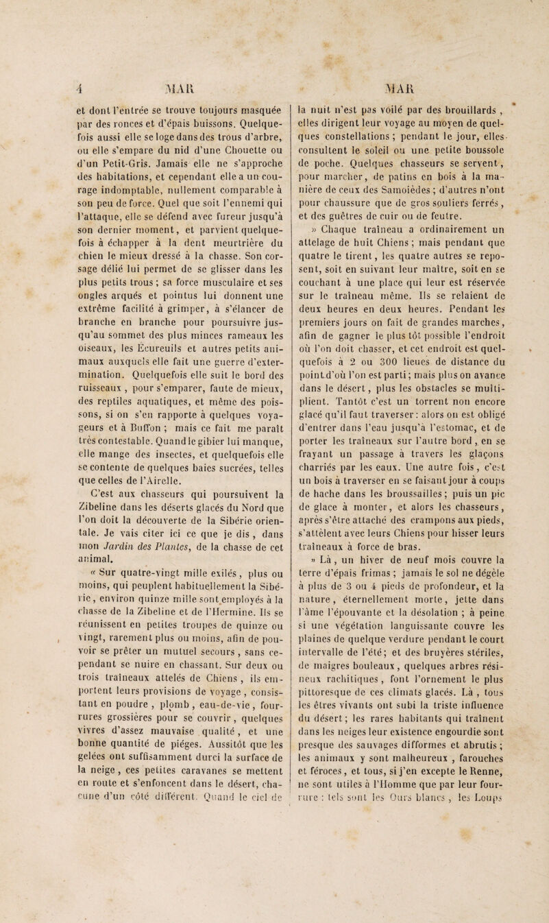 et dont l’entrée se trouve toujours masquée par des ronces et d’épais buissons. Quelque¬ fois aussi elle se loge dans des trous d’arbre, ou elle s’empare du nid d’une Chouette ou d’un Petit-Gris. Jamais elle ne s’approche des habitations, et cependant elle a un cou¬ rage indomptable, nullement comparable à son peu de force. Quel que soit l’ennemi qui l’attaque, elle se défend avec fureur jusqu’à son dernier moment, et parvient quelque¬ fois à échapper à la dent meurtrière du chien le mieux dressé à la chasse. Son cor¬ sage délié lui permet de se glisser dans les plus petits trous ; sa force musculaire et ses ongles arqués et pointus lui donnent une extrême facilite à grimper, à s’élancer de branche en branche pour poursuivre jus¬ qu’au sommet des plus minces rameaux les oiseaux, les Écureuils et autres petits ani¬ maux auxquels elle fait une guerre d’exter¬ mination. Quelquefois elle suit le bord des ruisseaux , pour s’emparer, faute de mieux, des reptiles aquatiques, et même des pois¬ sons, si on s’en rapporte à quelques voya¬ geurs et à Buffon ; mais ce fait me paraît très contestable. Quand le gibier lui manque, elle mange des insectes, et quelquefois elle se contente de quelques baies sucrées, telles que celles de l’Airelle. C’est aux chasseurs qui poursuivent la Zibeline dans les déserts glacés du Nord que l’on doit la découverte de la Sibérie orien¬ tale. Je x^ais citer ici ce que je dis , dans mon Jardin des Planles, de la chasse de cet animal. (( Sur quatre-vingt mille exilés , plus ou moins, qui peuplent habituellement la Sibé¬ rie, environ quinze mille sont employés à la chasse de la Zibeline et de l’Hermine. Ils se réunissent en petites troupes de quinze ou vingt, rarement plus ou moins, afin de pou¬ voir se prêter un mutuel secours , sans ce¬ pendant se nuire en chassant. Sur deux ou trois traîneaux attelés de Chiens , ils em¬ portent leurs provisions de voyage , consis¬ tant en poudre , plomb , eau-de-vie , four¬ rures grossières pour se couvrir , quelques vivres d’assez mauvaise qualité, et une bonne quantité de pièges. Aussitôt que les gelées ont suffisamment durci la surface de la neige , ces petites caravanes se mettent en route et s’enfoncent dans le désert, cha¬ cune d’un côté dilTérent. Quand le ciel de la nuit n’est pas voilé par des brouillards , elles dirigent leur voyage au moyen de quel¬ ques constellations; pendant le jour, elles consultent le soleil ou une petite boussole de poche. Quelques chasseurs se servent, pour marcher, de patins en bois à la ma¬ nière de ceux des Samoièdes ; d’autres n’ont pour chaussure que de gros souliers ferrés, et des guêtres de cuir ou de feutre. » Chaque traîneau a ordinairement un attelage de huit Chiens ; mais pendant que quatre le tirent, les quatre autres se repo¬ sent, soit en suivant leur maître, soit en se couchant à une place qui leur est réservée sur le traîneau même. Ils se relaient de deux heures en deux heures. Pendant les premiers jours on fait de grandes marches, afin de gagner le plus tôt possible l’endroit où l’on doit chasser, et cet endroit est quel¬ quefois à 2 ou 300 lieues de distance du poinLd’où l’on est parti ; mais plus on avance dans le désert, plus les obstacles se multi¬ plient. Tantôt c’est un torrent non encore glacé qu’il faut traverser : alors on est obligé d’entrer dans l’eau jusqu’à l’estomac, et de porter les traîneaux sur l’autre bord, en se frayant un passage à travers les glaçons charriés par les eaux. Une autre fois, c’est un bois à traverser en se faisant jour à cou{)s de hache dans les broussailles; puis un pic de glace à monter, et alors les chasseurs, après s’être attaché des crampons aux pieds, s’attèlent avec leurs Chiens pour hisser leurs traîneaux à force de bras. » Là , un hiver de neuf mois couvre la terre d’épais frimas ; jamais le sol ne dégèle à plus de 3 ou 4 pieds de profondeur, et la nature, éternellement morte, jette dans l'àme l’épouvante et la désolation ; à peine si une végétation languissante couvre les plaines de quelque verdure pendant le court intervalle de l’été; et des bruyères stériles, de maigres bouleaux, quelques arbres rési¬ neux rachitiques, font l’ornement le plus pittoresque de ces climats glacés. Là , tous les êtres vivants ont subi la triste influence du désert; les rares habitants qui traînent dans les neiges leur existence engourdie sont presque des sauvages difformes et abrutis; les animaux y sont malheureux , farouches et féroces, et tous, si j’en excepte le Renne, ne sont utiles à l’Homme que par leur four¬ rure : tels sont les Ours blancs , les Loups