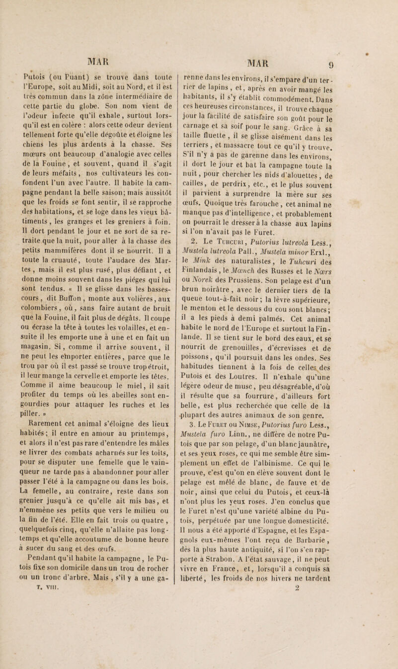 Putois (ou Puant) se trouve dans toute l’Europe, soit au Midi, soit au Nord, et il est très commun dans la zone intermédiaire de cette partie du globe. Son nom vient de l’odeur infecte qu’il exhale, surtout lors¬ qu’il est en colère : alors cette odeur devient tellement forte qu’elle dégoûte et éloigne les chiens les plus ardents à la chasse. Ses mœurs ont beaucoup d’analogie avec celles de la Fouine, et souvent, quand il s’agit de leurs méfaits, nos cultivateurs les con¬ fondent l’un avec l’autre. Il habile la cam¬ pagne pendant la belle saison; mais aussitôt que les froids se font sentir, il se rapproche des habitations, et se loge dans les vieux bâ¬ timents, les granges et les greniers à foin. Il dort pendant le jour et ne sort de sa re¬ traite que la nuit, pour aller à la chasse des petits mammifères dont il se nourrit. Il a toute la cruauté, toute l’audace des Mar¬ tes , mais il est plus rusé, plus défiant, et donne moins souvent dans les pièges qui lui sont tendus. « Il se glisse dans les basses- cours , dit Buffon , monte aux volières, aux colombiers, où, sans faire autant de bruit que la Fouine, il fait plus de dégâts. Il coupe ou écrase la tête à toutes les volailles, et en¬ suite il les emporte une à une et en fait un magasin. Si, comme il arrive souvent, il ne peut les e'mporter entières, parce que le trou par où il est passé se trouve trop étroit, il leur mange la cervelle et emporte les têtes. Gomme il aime beaucoup le miel, il sait profiter du temps où les abeilles sont en¬ gourdies pour attaquer les ruches et les piller. » Rarement cet animal s’éloigne des lieux habités; il entre en amour au printemps, et alors il n’est pas rare d’entendre les mâles se livrer des combats acharnés sur les toits, pour se disputer une femelle que le vain¬ queur ne tarde pas à abandonner pour aller passer l’été à la campagne ou dans les bois. La femelle, au contraire, reste dans son grenier jusqu’à ce qu’elle ait mis bas, et n’ernrnène ses petits que vers le milieu ou la fin de l’été. Elle en fait trois ou quatre , quelquefois cinq, qu’elle n’allaite pas long¬ temps et qu’elle accoutume de bonne heure à sucer du sang et des œufs. Pendant qu’il habile la campagne, le Pu¬ tois fixe son domicile dans un trou de rocher ou un tronc d’arbre. Mais, s’il y a une ga- T. VIII. 9 renne dans les environs, il s’empare d’un ler- licr de lapins , et, après en avoir mangé les habitants, il s’y établit commodément. Dans CCS heureuses circonstances, il trouve chaque jour la facilité de satisfaire son goût pour le carnage et sa soif pour le sang. Grâce à sa taille fluette , il se glisse aisément dans les terriers, et massacre tout ce qu’il y trouve. S’il n’y a pas de garenne dans les environs, il dort le jour et bat la campagne toute la nuit, pour chercher les nids d’alouettes, de cailles, de perdrix, etc., et le plus souvent il parvient à surprendre la mère sur ses œufs. Quoique très farouche, cet animal ne manque pas d’intelligence, et probablement on pourrait le dressera la chasse aux lapins si l’on n’avait pas le Furet. 2. Le Tuhcuui, Putorius lutreola Less., Mustela lutreola PalL, Mustela minor ErxL, le Mink des naturalistes, le Tuhcuri des Finlandais , le Mœnch des Russes et le Nœrs ou Norek des Prussiens. Son pelage est d’un brun noirâtre , avec le dernier tiers de la queue tout-à-fait noir; la lèvre supérieure, le menton et le dessous du cou sont blancs; il a les pieds à demi palmés. Cet animal habite le nord de l’Europe et surtout la Fin¬ lande. Il se tient sur le bord des eaux, et se nourrit de grenouilles, d’écrevisses et de poissons, qu’il poursuit dans les ondes. Ses habitudes tiennent à la fois de celles des Putois et des Loutres. Il n’exhale qu’une légère odeur de musc, peu désagréable, d’où il résulte que sa fourrure, d’ailleurs fort belle, est plus recherchée que celle de la plupart des autres animaux de son genre. 3. Le Furet ou Nimse, Putorius furo Less., Mustela furo Linn., ne diffère de notre Pu¬ tois que par son pelage, d’un blanc jaunâtre, et ses yeux roses, ce qui me semble être sim¬ plement un eflet de l’albinisme. Ce qui le prouve, c’est qu’on en élève souvent dont le pelage est mêlé de blanc, de fauve et de noir, ainsi que celui du Putois, et ceux-là n’ont plus les yeux roses. J’en conclus que le Furet n’est qu’une variété albine du Pu¬ tois, perpétuée par une longue domesticité. 11 nous a été apporté d’Espagne, et les Espa¬ gnols eux-mêmes l’ont reçu de Barbarie , dès la plus haute antiquité, si l’on s’en rap¬ porte a Slrabon. A l’état sauvage, il ne peut vivre en France, et, lorsqu’il a conquis sa liberté, les froids de nos hivers ne lardent 2