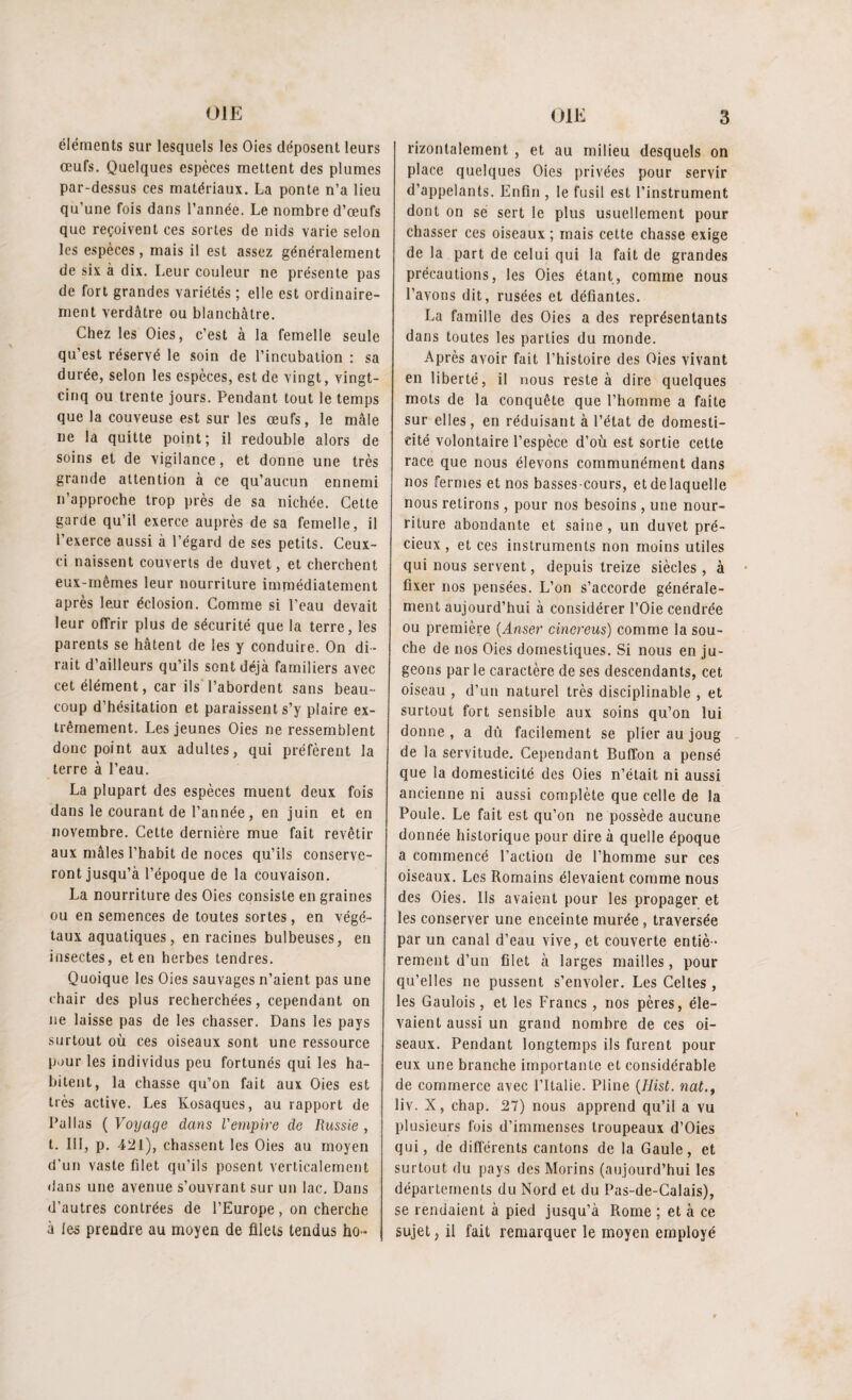 éléments sur lesquels les Oies déposent leurs œufs. Quelques espèces mettent des plumes par-dessus ces matériaux. La ponte n’a lieu qu’une fois dans l’année. Le nombre d’œufs que reçoivent ces sortes de nids varie selon les espèces, mais il est assez généralement de six à dix. Leur couleur ne présente pas de fort grandes variétés ; elle est ordinaire¬ ment verdâtre ou blanchâtre. Chez les Oies, c’est à la femelle seule qu’est réservé le soin de l’incubation : sa durée, selon les espèces, est de vingt, vingt- cinq ou trente jours. Pendant tout le temps que la couveuse est sur les œufs, le mâle ne la quitte point; il redouble alors de soins et de vigilance, et donne une très grande attention à ce qu’aucun ennemi n’approche trop près de sa nichée. Cette garde qu’il exerce auprès de sa femelle, il l’exerce aussi à l’égard de ses petits. Ceux- ci naissent couverts de duvet, et cherchent eux-mêmes leur nourriture immédiatement après leur éclosion. Comme si l’eau devait leur offrir plus de sécurité que la terre, les parents se hâtent de les y conduire. On di¬ rait d’ailleurs qu’ils sont déjà familiers avec cet élément, car ils l’abordent sans beau¬ coup d’hésitation et paraissent s’y plaire ex¬ trêmement. Les jeunes Oies ne ressemblent donc point aux adultes, qui préfèrent la terre à l’eau. La plupart des espèces muent deux fois dans le courant de l’année, en juin et en novembre. Cette dernière mue fait revêtir aux mâles l’habit de noces qu’ils conserve¬ ront jusqu’à l’époque de la couvaison. La nourriture des Oies consiste en graines ou en semences de toutes sortes, en végé¬ taux aquatiques, en racines bulbeuses, en insectes, et en herbes tendres. Quoique les Oies sauvages n’aient pas une chair des plus recherchées, cependant on ne laisse pas de les chasser. Dans les pays surtout où ces oiseaux sont une ressource pour les individus peu fortunés qui les ha¬ bitent, la chasse qu’on fait aux Oies est très active. Les Kosaques, au rapport de l’allas ( Voyage dans l'empire de Russie , t. 111, p. 421), chassent les Oies au moyen d’un vaste filet qu’ils posent verticalement dans une avenue s’ouvrant sur un lac. Dans d’autres contrées de l’Europe, on cherche à les prendre au moyen de filets tendus ho¬ rizontalement , et au milieu desquels on place quelques Oies privées pour servir d’appelants. Enfin , le fusil est l’instrument dont on se sert le plus usuellement pour chasser ces oiseaux ; mais cette chasse exige de la part de celui qui la fait de grandes précautions, les Oies étant, comme nous l’avons dit, rusées et défiantes. La famille des Oies a des représentants dans toutes les parties du monde. Après avoir fait l’histoire des Oies vivant en liberté, il nous reste à dire quelques mots de la conquête que l’homme a faite sur elles, en réduisant à l’état de domesti¬ cité volontaire l’espèce d’où est sortie cette race que nous élevons communément dans nos fermes et nos basses-cours, et de laquelle nous retirons, pour nos besoins, une nour¬ riture abondante et saine , un duvet pré¬ cieux , et ces instruments non moins utiles qui nous servent, depuis treize siècles , à fixer nos pensées. L’on s’accorde générale¬ ment aujourd’hui à considérer l’Oie cendrée ou première (Anser cinereus) comme la sou¬ che de nos Oies domestiques. Si nous en ju¬ geons parle caractère de ses descendants, cet oiseau , d’un naturel très disciplinable , et surtout fort sensible aux soins qu’on lui donne , a du facilement se plier au joug de la servitude. Cependant Buffon a pensé que la domesticité des Oies n’était ni aussi ancienne ni aussi complète que celle de la Poule. Le fait est qu’on ne possède aucune donnée historique pour dire à quelle époque a commencé l’action de l’homme sur ces oiseaux. Les Romains élevaient comme nous des Oies. Us avaient pour les propager et les conserver une enceinte murée , traversée par un canal d’eau vive, et couverte entiè¬ rement d’un filet à larges mailles, pour qu’elles ne pussent s’envoler. Les Celtes , les Gaulois, et les Francs , nos pères, éle¬ vaient aussi un grand nombre de ces oi¬ seaux. Pendant longtemps ils furent pour eux une branche importante et considérable de commerce avec l’Italie. Pline (Ilist. nat.f liv. X, chap. 27) nous apprend qu’il a vu plusieurs fois d’immenses troupeaux d’Oies qui, de differents cantons de la Gaule, et surtout du pays des Morins (aujourd’hui les départements du Nord et du Pas-de-Calais), se rendaient à pied jusqu’à Rome ; et à ce sujet, il fait remarquer le moyen employé