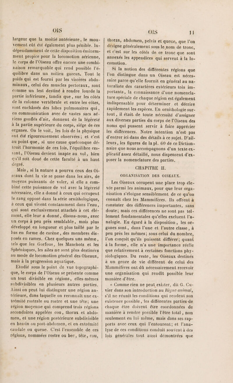 11 largeur que la moitié antérieure, le mou¬ vement eût été également plus pénible. In¬ dépendamment de celte disposition éminem¬ ment propice pour la locomotion aérienne, le corps de l’Oiseau offre encore une combi¬ naison remarquable qui rend possible l’é¬ quilibre dans un milieu gazeux. Tout le poids qui est fourni par les viscères abdo¬ minaux, celui des muscles pectoraux, sont comme un lest destiné à rendre lourde la partie inférieure, tandis que, sur les côtés de la colonne vertébrale et entre les côtes, sont enchâssés des lobes pulmonaires qui, eu communication avec de vastes sacs aé¬ riens gonflés d’air, donnent de la légèreté à la partie supérieure du corps, siège de ces organes. On le voit, les lois de la physique ont été rigoureusement observées; et c’est au point que, si une cause quelconque dé¬ truit l’harmonie de ces lois, l’équilibre ces¬ sant, l’Oiseau devient inapte au vol, bien qu’il soit doué de cette faculté à un haut degré. Mais, si la nature a pourvu ceux des Oi¬ seaux dont la vie se passe dans les airs, de moyens puissants de voler, si elle a com¬ biné cette puissance de vol avec la légèreté nécessaire, elle a donné à ceux qui occupent le rang opposé dans la série ornithologique, à ceux qui vivent constamment dans l’eau, qui sont exclusivement attachés à cet élé¬ ment, elie leur a donné, disons-nous, avec un corps à peu près semblable, mais plus développé en longueur et plus taillé par le bas en forme de carène, des membres dis¬ posés en rames. Chez quelques uns même, tels que les Gorfous, les Manchots et les Sphénisques, les ailes ne sont plus destinées au mode de locomotion général des Oiseaux, mais à la progression aquatique. Etudié sous le point de vue topographi¬ que, le corps de l’Oiseau se présente comme un tout divisible en régions, elles-mêmes subdivisibles en plusieurs autres parties. Ainsi on peut lui distinguer une région an¬ térieure, dans laquelle on reconnaît une ex¬ trémité rostrale ou rostre et une tête; une région moyenne qui comprend trois régions secondaires appelées cou, thorax et abdo¬ men, et une région postérieure subdivisible en bassin ou post-abdomen, et en extrémité caudale ou queue. C’est l’ensemble de ces régions, nommées rostre ou bec, tête, cou, OIS thorax, abdomen, pelvis et queue, que l’on oésigne généralement sous le nom de tronc, et c est sur les côtés de ce tronc que sont annexés les appendices qui servent à la lo¬ comotion. Si la notion des différentes régions que l’on distingue dans un Oiseau est néces¬ saire parce qu’elle fournit en général au na¬ turaliste des caractères extérieurs très im¬ portants, la connaissance d’une nomencla¬ ture spéciale de chaque région est également indispensable pour déterminer et décrire rapidement les espèces. En ornithologie sur¬ tout, il était- de toute nécessité d’assigner aux diverses parties du corps de l’Oiseau des noms qui pussent servir à faire apprécier les différences. Notre intention n’est pas d’entrer ici dans des détails à ce sujet. D’ail¬ leurs , les figures de la pl. 60 de ce Diction¬ naire que nous accompagnons d’un texte ex¬ plicatif assez détaillé, nous dispensent d’ex¬ poser la nomenclature des parties. CHAPITRE II. ORGANISATION DES OISEAUX. Les Oiseaux occupent une place trop éle¬ vée parmi les animaux, pour que leur orga¬ nisation s’éloigne sensiblement de ce qu’on connaît chez les Mammifères. Ils offrent à constater des différences importantes, sans doute; mais ces différences ne sont pas tel¬ lement fondamentales qu’elles excluent l’a¬ nalogie. Eu égard à la disposition , les or¬ ganes sont, dans l’une et l’autre classe, à peu près les mêmes; sous celui du nombre, l’on conçoit qu’ils puissent différer; quant à la forme, elle n’a une importance réelle que relativement à certaines fonctions phy¬ siologiques. Du reste, les Oiseaux destinés à un genre de vie différent de celui des Mammifères ont dû nécessairement recevoir une organisation qui rendit possible leur manière d’être. « Comme rien ne peut exister, dit G. Cu¬ vier dans son introduction au Règne animal, s’il ne réunit les conditions qui rendent son existence possible, les différentes parties de chaque être doivent être coordonnées de manière à rendre possible l’être total, non seulement en lui même, mais dans ses rap¬ ports avec ceux qui l’entourent; et l’ana¬ lyse de ces conditions conduit souvent à des lois générales tout aussi démontrées que