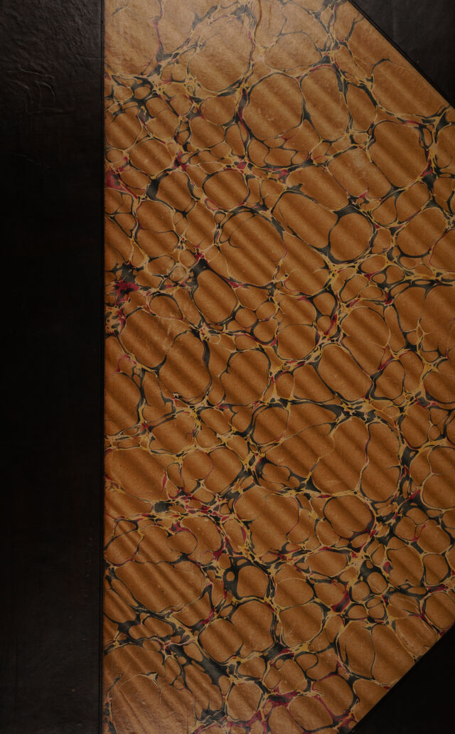 No text description is available for this image