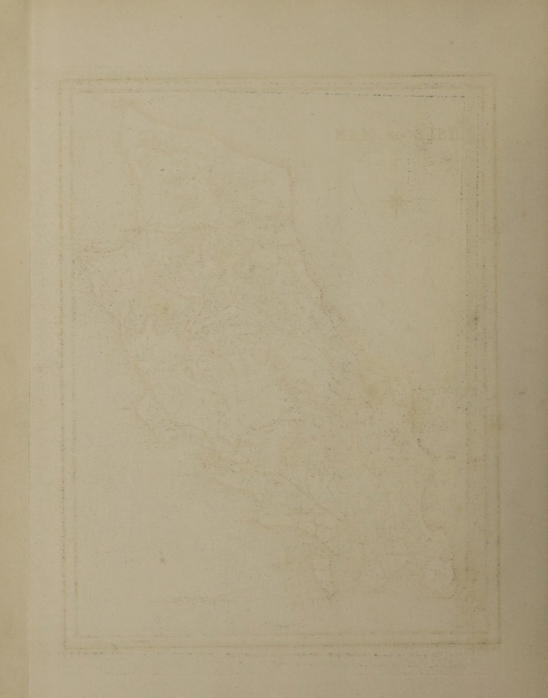 • . * • v • . * •• • • ' • -1 . - i ■» . /• • . - - ■ ■ i .. . - I ' p •::: \ . ■ * • . • * * ■ - & : . •.; • J . ■+. jtx -* • T . * * i k * ■■ - .1 4. - * * '