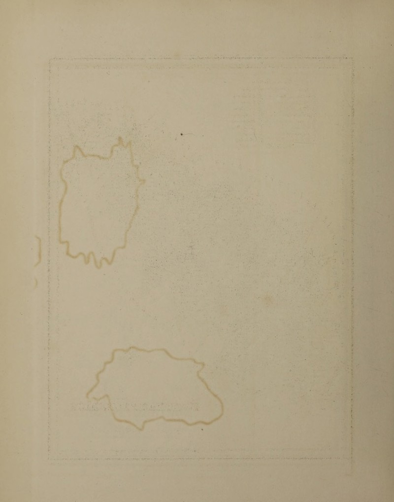 .. . .. .1 , ■ • . . . • ■ 1 1 •»• • /• 8 :> - -'V •i • ■■ ■ v. • «- ■ . . 'ft . ; > •• V t ‘i *««m»> . r