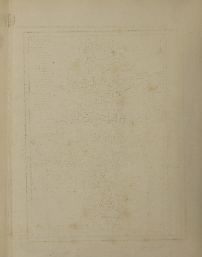 ■ * ^ 1 >' . >■ ■ : • • ' ’ .. 4 • , • • • . - •  ** ■ ‘ . * * , / •* - *r ;• •• *. • * „ • • • * ■ •• • * ?. *.' > • * v • t*<- . ■ V * . \ . N. * 0 \ * *► v-> f ‘ * V ... ^ • • .. - ! • » <JV * - . •> • ‘ • t ' • • -