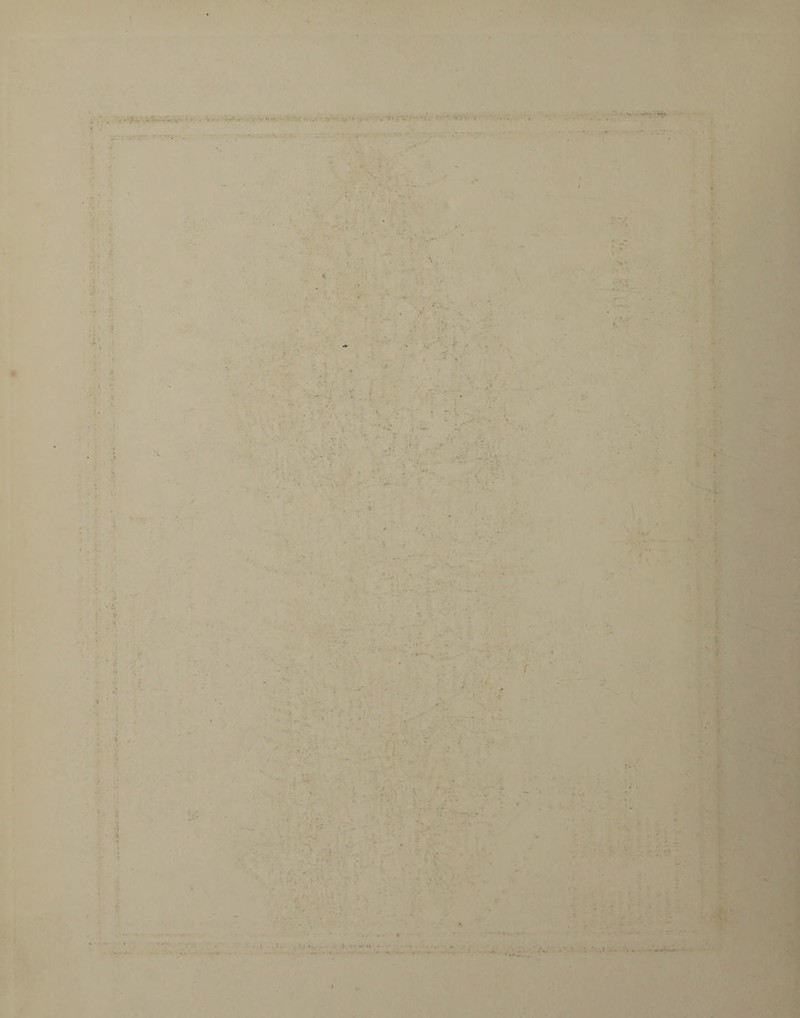 . ■ ■ . ,. .. ■ -• . • - • • . -1. . - -7-*': f f . - . I . r* ■ • ■ - ; • . . . • . . : • ' - ‘ ' V • * J. • ? .. * • \ * . « . - , < •'•••• * . • » < V • • * . ~ -. ■. i ■ •* '•> \ - . - * ■ * ? * * J. ■... < •  - ■' ■ . . ; . : . • . ‘ ■ • : .. . • <•- ■ ' • . • ....... :* * ' * ; ... . . ■. -. , .. s . K ■ ... V 4 • •i * <■. v r- .j ■ ■. • .. ‘ . '* * , • . ■ ■ ; . . ' 1 - ; . • . w, * •• * . ■ I- •■■■;• \.f 'Jr . - ... • . - - • • ; k . * • ** . ’ • z ' > i . . : C • . .. • i . . . . • V . .. - . • • ' * '* * > •< ' ■ .. - ■ ' • . • % i - - ■ . • - •• • . .... • j, * i. • * • * • 1 .: .... .. ...... ..... • . • . * ». ► ‘.t'l ■ '
