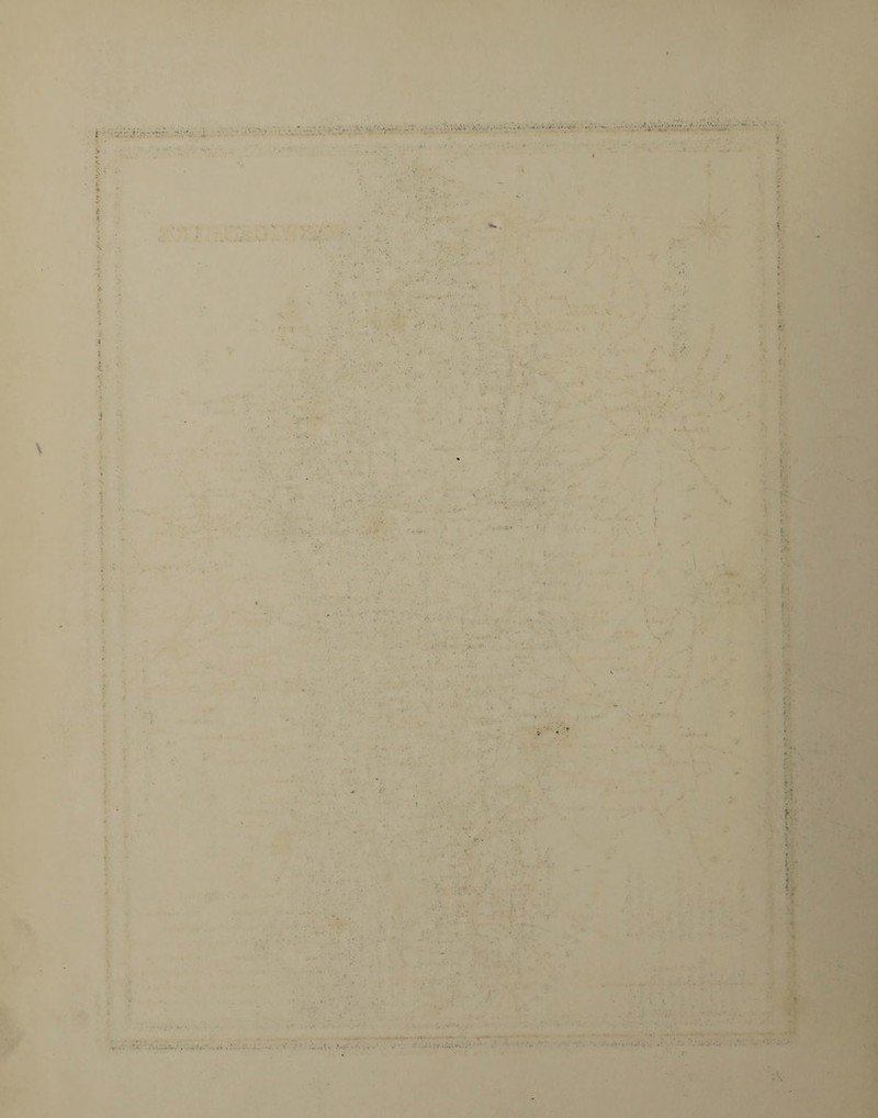 * $ '• r * ■* I - -■ -- • -.V-;V\-': / . • ... . r v. f •< .x-' * : • • £ . ■ ' ■ • *» • v r ' • - * •• ' . . Yt.-' f ■ :< ■ • ■ ■ . - ■ • ' ■ •. • •• j. 4 ; . 'V . f •' . .. ; • . . . •- : / - > ■ . *. * 4 V • • \ V r- •' 7- •? - U ■■ -/ . ■ T . V- ► t. * ■■ T- ■ ■ V , •• • V-/A. ■ . . r X J ' - ' .. . • •; i -, ■ * ' • k c. V. ! t. • . .. . -- / * i. .... *' • •' 7. . . •• •' ! ,-•* fi ’ . b v : V V v . • - ’• . . • ■. ' ’ •<* ' A - : > ■ / • . * r? v , . • ■ . • ; ■ •> <- * ■ '■ ' ' • - • •' •’ .i i . • ' '• * ' *'• ... • V • • . *v • - •• i t ■ *. r- ■ . ■ w '• . : •• ■ : • ... *. ■ ■ ■ . ■ - ‘4 . ' . . • ‘fik • *' < I ' • ■■ • * . >■ ■ w; •. •• ' . . .. •  ■■ . '.