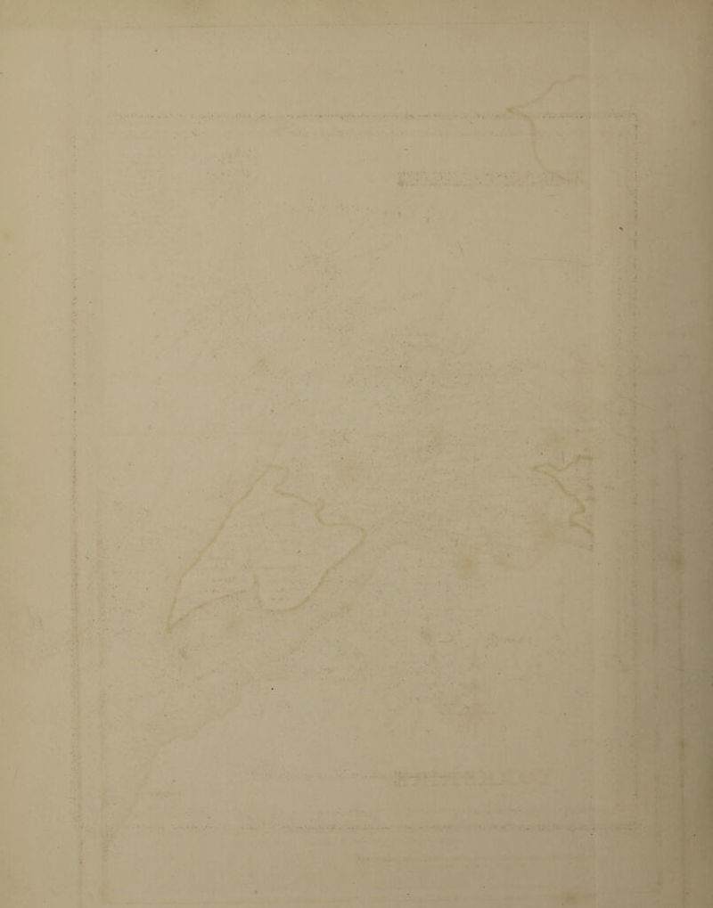 ». : * ? * ' • • * r * * - ‘ ‘ '■ \. ' • • » >'• -.. -1 -i • «• * . •> . ' » * . ‘ 4) .4 • ...■ * ’