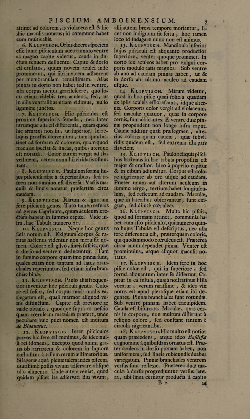 PISCIUM AMBOINENSIUM. attinet ad colorem,is violaceuseft &hic illic maculis notatus; id commune habet eum multis aliis. 6. Klipv is ch. Orbis diceres fpeciem efle hunc pifciculum adeo tumido ventre ac magno capite videtur, cauda in du- dum tenuem definente. Capite & dorfo eft criftatus, quum novem aculei inde promineant, qui libi invicem adhaerent per membranulam tenuiffimam. Alias pinnas in dorfo non habet fed in ventre, ubi corpus incipit gracilefcere, quo lo¬ co etiam videbis tres aculeos, fed, ut in aliis ventralibus etiam vidimus, nullo ligamine juncftos. 7. Klipvisch. Hic pifciculus eft proxime fuperioris femella , nec inter utrumque alia eft differentia, quam quod hic armatus non fit, ut fttperior. In re¬ liquis prorfus conveniunt, tam quod at¬ tinet ad formam & colorem, quam quod maculas fpedat & lineas,quibus uterque eft notatus. Color autem vergit ad fk- vedinem, cetera nonnihil viridatis often- tant. 8. Klipvisch. Paululum forma hu¬ jus pifciculi abit a fuperioribus, fed ta¬ men non omnino eft diverfa. Variis ma¬ culis & lineis notatur praefertim circa caudam. 9. Klipvisch. Rarum & ignotum fere pifciculi genus. Tuto tamen referas ad genus Caprinum , quum aculeum ere¬ dum habeat in fummo capite. Vide in¬ fra , hac Tabula numero 20. 10. Klipvisch. Neque hoc genus fatis notum eft. Exiguum corpus & ra¬ ritas hadenus videntur non meruiffe no¬ men. Colore eft gilvo, lineis fufcis, quae a dorfo ad ventrem deducuntur. Tam in fummo corpore quam imo pinnae funt, quales etiam non tantum ad latus bran¬ chiales reperiuntur, fed etiam infra bran¬ chias binai. 11. Klipvisch. Paulo aliisfrequen- tior invenitur hoc pifciculi genus. Colo¬ re eft fufco, fed corpus miris modis va¬ riegatum eft, quafi marmor aliquod ve¬ nis diltindum. Capite eft breviore ac valde obtufo , quodque fupra os nefcio quam coeruleam maculam praefert, unde peculiare huic pifci nomen eft inditum de Blaauneus. 12. Klipvisch. Inter pifciculos parvos hic fere eft minimus , & ideo nul¬ li rei idoneus, excepto quod animi gra¬ tia ob raritatem & colorem in liquore cuftoditur a talium rerum aeftimatoribus. Si lagenae aqua plenae talem indes pifcem, diutiffime poliis vivum adfervare abfque ullo alimento. Unde autem veniat, quod quidam pifces ita adfervati diu vivant, alii autem brevi tempore moriantur, li¬ cet non indignum fit fcitu , hoc tamen loco id indagare nunc non eft animus. 13. Klipvisch. Mandibula inferior hujus pifciculi eft aliquanto produ&ior fuperiore, venter quoque prominet. In dorfo fex aculeos habet prb exigui cor¬ poris modulo fatis magnos. Sub ventre ab ano ad caudam pinnas habet, ut & in dorfo ab ultimo aculeo ad caudam ufque. 14. Klipvisch. Mirum videtur, quod in hoc pifce quafi foliola quaedam ex ipfis aculeis efflorefcant, idque alter¬ nis. Corporis color vergit ad violaceum, fed maculae quatuor , quas in corpore cernis, funt albicantes. E ventre duae pin¬ nae propendent non longe infra caput. Caudae additur quafi praefegmen , alte¬ rius coloris quam caudae , quae fubvi- ridis quidem eft , fed extrema ifta pars flavefcit. 15-. Klipvisch. Paulo reliquis pifci- bus hadenus in hac tabula propofitis eft major & craflior. Ideo a popello capitur & in cibum adfumitur. Corpus eft colo¬ re nigricante ab ore ufque ad caudam. Praeter unum aut alterum aculeum in fummo tergo, tertium habet longiufcu- lum, fed reflexum ad caudam. Maculae, quae in lateribus obfervantur, funt exi¬ guae , fed dilute coeruleae. 16. Klipvisch. Multa hic pifcis, quod ad formam attinet, communia ha¬ bet cum ifto pifciculo, qui numero quin¬ to hujus Tabulae eft defcriptus, nec ulla fere differentia eft, praeterquam coloris, qui quodammodo coeruleus eft. Praeterea circa anum dependet pinna. Venter eft prominulus, atque aliquot maculis no¬ tatus. 17. Klipvisch. Idem fere in hoc pifce color eft , qui in fuperiore , fed forma aliquantum inter fe differunt. Ca¬ pitur in ea infula, quae a noftratibus Hila vocatur , verum rariflime , & ideo vix notus eft apud plerofque etiam ibi de¬ gentes. Pinnae branchiales funt rotundae. Sub ventre pinnam habet tricufpidem. Cauda eft bifurcata. Maculae, quas cer¬ nis in corpore, non multum differunt a reliquo colore , fed conftant tantum e circulis nigricantibus. 18. Klip viscn.Hic multo eft notior quam praecedens, atque ideo Bafilifte cognomine a quibufdam ornatus eft. Prae¬ ter aculeos in dorfo pinnam habet, non uniformem, fed lineis rubicundis duabus variegatum. Pinnae branchiales ventrem verius funt reflexae. Praeterea duae ma¬ culae & dorfo progrediuntur verfus late¬ ra, ubi linea cernitur produdfa a capite