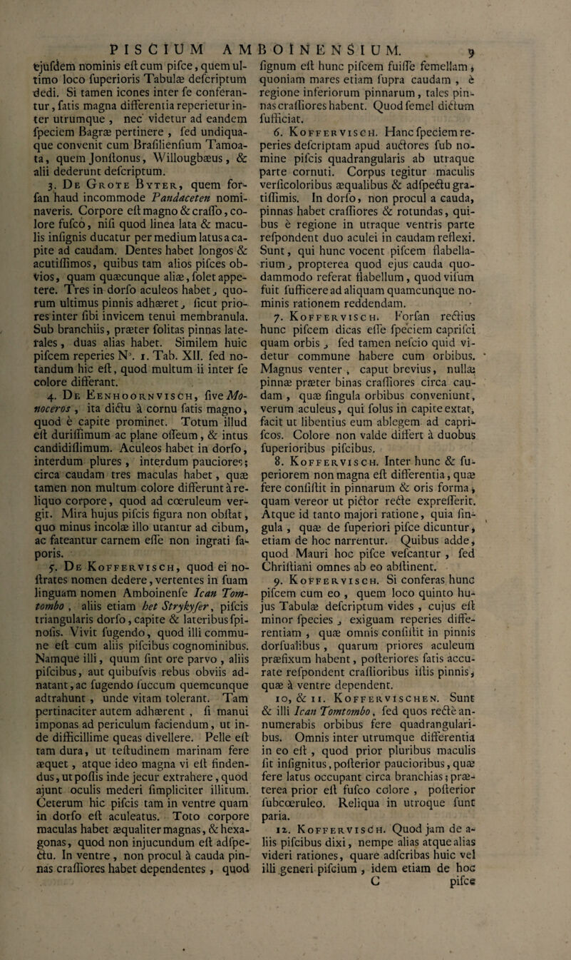 tjufdem nominis eft cum pifce, quem ul¬ timo loco fuperioris Tabulas defcriptum dedi. Si tamen icones inter fe conferan¬ tur, fatis magna differentia reperietur in¬ ter utrumque , nec' videtur ad eandem fpeciem Bagrae pertinere , fed undiqua- que convenit cum Brafilienfium Tamoa- ta, quem Jonflonus, Willougbaeus, & alii dederunt defcriptum. 3. De G rote Byter, quem for- fan haud incommode Pandaceten nomi¬ naveris. Corpore eftmagno&craffo,co¬ lore fufco, nifi quod linea lata & macu¬ lis infignis ducatur per medium latus a ca¬ pite ad caudam. Dentes habet longos & acutiflimos, quibus tam alios pifces ob¬ vios, quam quaecunque aliae, folet appe¬ tere. Tres in dorfo aculeos habet j quo¬ rum ultimus pinnis adhaeretj ficut prio¬ res inter fibi invicem tenui membranula. Sub branchiis, praeter folitas pinnas late¬ rales , duas alias habet. Similem huic pifcem reperies N\ i. Tab. XII. fed no¬ tandum hic eft, quod multum ii inter fe colore differant. 4. De Eenhoorn visch, fi ^^.Mo¬ noceros , ita didu k cornu fatis magno j quod e capite prominet. Totum illud eft duriffimum ac plane offeum, & intus candidiflimum. Aculeos habet in dorfo, interdum plures , interdum pauciores; circa caudam tres maculas habet, quae tamen non multum colore differunt a re¬ liquo corpore, quod ad coeruleum ver¬ git. Mira hujus pifcis figura non obllat, quo minus incolae illo utantur ad cibum, ac fateantur carnem effe non ingrati fa* poris. f. De Koefervisch, quod ei no- llrates nomen dedere, vertentes in fuam linguam nomen Amboinenfe Ican Tom- tombo , aliis etiam het Strykyfer, pifcis triangularis dorfo,capite & lateribusfpi- nofis. Vivit fugendo, quod illi commu¬ ne eft cum aliis pifcibus cognominibus. Namque illi, quum fint ore parvo , aliis pifcibus, aut quibufvis rebus obviis ad- natant,ac fugendo fuccum quemcunque adtrahunt , unde vitam tolerant. Tam pertinaciter autem adhaerent , fi manui imponas ad periculum faciendum, ut in¬ de difficillime queas divellere. Pelle eft tam dura, ut teftudinem marinam fere aequet, atque ideo magna vi eft finden¬ dus , ut poffis inde jecur extrahere, quod ajunt oculis mederi fimpliciter illitum. Ceterum hic pifcis tam in ventre quam in dorfo eft aculeatus. Toto corpore maculas habet aequaliter magnas, &hexa- gonas, quod non injucundum eft adfpe- tfu. In ventre , non procul & cauda pin¬ nas crafliores habet dependentes , quod fignum eft hunc pifcem fuiffe femellam * quoniam mares etiam lupra caudam , b regione inferiorum pinnarum, tales pin¬ nas crafliores habent. Quod femel didum lufficiat. 6. K offer vis en. Hanc fpeciem re¬ peries defcriptam apud audores fub no¬ mine pifcis quadrangularis ab utraque parte cornuti. Corpus tegitur maculis verficoloribus aequalibus & adfpedu gra- tiflimis. In dorfo > non procul a cauda, pinnas habet crafliores & rotundas, qui¬ bus e regione in utraque ventris parte refpondent duo aculei in caudam reflexi. Sunt, qui hunc vocent pifcem flabella- rium^ propterea quod ejus cauda quo¬ dammodo referat flabellum, quod vifum fuit fufficere ad aliquam quamcunque no¬ minis rationem reddendam. 7. Koffervisch* Forfan redius hunc pifcem dicas effe fpeciem caprifci quam orbis fed tamen nefcio quid vi¬ detur commune habere cum orbibus. Magnus venter , caput brevius, nullae pinnae praeter binas crafliores circa cau¬ dam , quae fingula orbibus conveniunt, verum aculeus, qui folus in capiteextar, facit ut libentius eum ablegem ad capri- fcos. Colore non valde differt 11 duobus fuperioribus pifcibus. 8. Koffervisch. Inter hunc & fu- periorem non magna eft differentia, quae fere conflftit in pinnarum & oris forma, quam vereor ut pidor rede expreflerit. Atque id tanto majori ratione, quia lin¬ gula , quae de fuperiori pifce dicuntur > etiam de hoc narrentur. Quibus adde, quod Mauri hoc pifce vefcantur , fed Chriltiani omnes ab eo abftinent. 9. Koffervisch. Si conferas hund pifcem cum eo , quem loco quinto hu¬ jus Tabulae defcriptum vides , cujus eft minor lpecies j exiguam reperies diffe¬ rentiam , quae omnis conflftit in pinnis dorfualibus , quarum priores aculeum praefixum habent, pofteriores fatis accu¬ rate refpondent craflioribus illis pinnis, quae & ventre dependent. 10. & 11. Koffervischen. Sunt & illi Ican Tomtombo, fed quos rede an¬ numerabis orbibus fere quadrangulari¬ bus. Omnis inter utrumque differentia in eo eft , quod prior pluribus maculis fit infignitus,pofterior paucioribus,qua? fere latus occupant circa branchias; pra^ terea prior eft fufco colore , pofterior lubcoeruleo. Reliqua in utroque funt paria. ix. Koffer visc:h. Quod jam de a- liis pifcibus dixi, nempe alias atque alias videri rationes, quare adfcribas huic vel illi generi pifcium , idem etiam de hoc C pifce