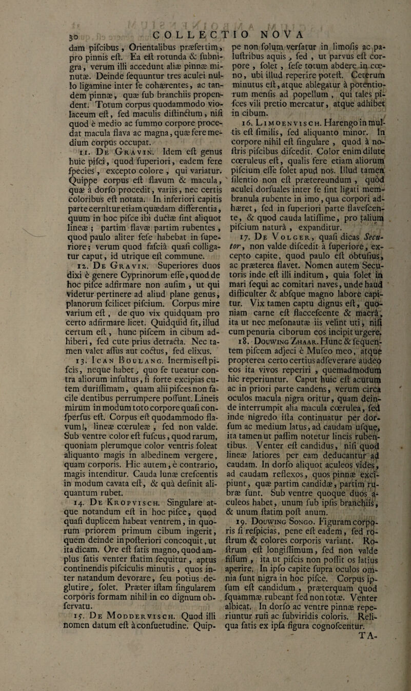 50 COLLECr dam pifcibus , Orientalibus pr.aefertim, pro pinnis eft. Ea eit rotunda &: fubni- gra, verum illi accedunt aliae pinnae mi¬ nutae. Deinde fequuntur tres aculei nul¬ lo ligamine inter fe cohaerentes, ac tan¬ dem pinnae, quae fub branchiis propem- dent. Totum corpus quodammodo vio¬ laceum eit, fed maculis diftin&um, niii quod e medio ac fumino corpore proce¬ dat macula flava ac magna, quae fere me¬ dium corpus occupat. 11. De. Gravin. Idem eft genus huic pifci, quod fuperiori, eadem fere fpecies, excepto colore , qui variatur. Quippe corpus eit flavum & macula, quae & dorfo procedit, variis, nec certis coloribus eit notata. In inferiori capitis parte cernitur etiam quaedam differentia, quum in hoc pifce ibi dudae fint aliquot lineae ; partim flavae partim rubentes, quod paulo aliter fefe habebat in fupe- riore; verum quod fafcia quafi colliga¬ tur caput, id utrique eit commune. 12. De Gravin. Superiores duos dixi d genere Cyprinorum efle, quod de hoc pifce adfirmare non aufim , ut qui videtur pertinere ad aliud plane genus, planorum fcilicet pifcium. Corpus mire varium eit, de quo vix quidquam pro certo adfirmare licet. Quidquid fit, illud certum eit, hunc pifcem in cibum ad¬ hiberi , fed cute prius detrafta. Nec ta¬ men valet aflus aut co6tus, fed elixus. 13. Ican Boulang. Inermis eft pi- fcis, neque habet., quo fe tueatur con¬ tra aliorum infultus, fi forte excipias cu¬ tem duriflimam, quam alii pifces non fa¬ cile dentibus perrumpere poflunt. Lineis mirum in modum toto corpore quafi con- fperfus eit. Corpus eft quodammodo fla¬ vum f, lineae coeruleae , fed non valde. Sub ventre color eft fufcus, quod rarum, quoniam plerumque color ventris foleat aliquanto magis in albedinem vergere, quam corporis. Hic autem,e contrario, magis intenditur. Cauda lunae crefcentis in modum cavata eft, & qua definit ali¬ quantum rubet. 14. De Kropvisch. Singulare at¬ que notandum eft in hoc pifce, quod quafi duplicem habeat ventrem, in quo¬ rum priorem primum cibum ingerit, quem deinde inpofteriori concoquit,ut ita dicam. Ore eft fatis magno, quod am¬ plus fatis venter ftatim fequitur , aptus continendis pifciculis minutis, quos in¬ ter natandum devorare, feu potius de- glutire folet. Praeter iftam lingularem corporis formam nihil in eo dignum ob- fervatu. 15. De Moddervisch. Quod illi nomen datum eft ^confuetudine. Quip- MO NOVA pe non folum verfatur in limofis ac pa- luftribus aquis fed , ut parvus eft cor¬ pore , folet , fefe totum abdere in coe- no, ubi illud reperire poteft. Ceterum minutus eft, atque ablegatur & potentio- rum menfis ad popellum , qui tales pi¬ fces vili pretio mercatur, atque adhibet in cibum. 16. Limoenvisch. Harengoin mul¬ tis eft fimilis, fed aliquanto minor. In corpore nihil eft fingulare , quod & no- ftris pifcibus difcedit. Color enim dilute coeruleus eft, qualis fere etiam aliorum pifcium efle folet apud nos. Illud tamen ' filentio non eft praetereundum , quod aculei dorfuales inter fe fint ligati mem¬ branula rubente in imo, qua corpori ad¬ haeret , fed in fuperiori parte flavefcen- te, & quod cauda latiflime, pro talium pifcium natura , expanditur. 17. De Volger, quafi dicas Secu¬ tor, non valde difcedit a fuperiore, ex¬ cepto capite, quod paulo eft obtufius, ac praeterea flavet. Nomen autem Secu¬ toris inde eft illi inditum, quia folet in mari fequi ac comitari naves, unde haud difficulter & abfque magno labore capi¬ tur. Vix tamen captu dignus eft, quo¬ niam carne eft flaccefcente & macr&, ita ut nec mefonautae iis velint uti, nift cum penuria ciborum eos incipit urgere. 18. DouwingZhaar. Hunc&fequen- tem pifcem adjeci e Mufeo meo, atque propterea certo certius adfeverare audeo eos ita vivos reperiri , quemadmodum hic reperiuntur. Caput huic eft acutum ac in priori parte candens, verum circa oculos macula nigra oritur, quam dein¬ de interrumpit alia macula coerulea, fed inde nigredo ifta continuatur per dor- fum ac medium latus,ad caudam ufque, ita tamen ut paflim notetur lineis ruben¬ tibus. Venter eft candidus, ni fi quod lineas latiores per eam deducantur ad caudam. In dorfo aliquot aculeos vides, ad caudam reflexos, quos pinnae exci¬ piunt, quae partim candidae, partim ru¬ brae funt. Sub ventre quoque duos a- culeos habet, unum fub ipfis branchiis * & unum ftatim poft anum. 19. Douwing Songo. Figuram corpo¬ ris fi refpicias, pene eft eadem, fed ro- ftrum & colores corporis variant. Ro- ftrum eft longiflimum, fed non valde fiflum , ita ut pifcis non poflit os latius aperire. In ipfo capite fupra oculos om¬ nia funt nigra in hoc pifce. Corpus ip- fum eft candidum , praeterquam quod fquammae rubeant fed non totae. Venter albicat. In dorfo ac ventre pinnae repe¬ riuntur rufi ac fubviridis coloris. Reli¬ qua fatis ex ipfa figura cognofcentur. T A-