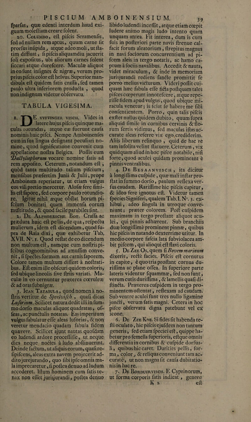 / PISCIUM A M fparfas, quae edenti interdum haud exi¬ guam molefliam creare folent. zo. Columbo, ell pifcis Seramenlis, fed ad nullam rem aptus, quum carne fit prorfus iniipida j atque adeo moli, ut lla- tim diffluat, fi pifcis aliquamdiu jacuerit foli expolitus, ubi aliorum carnes folent ficcari atque durefcere. Maculae aliquot ineofunt infignes & nigrae, verum pro¬ prius pifcis color ell helvus. Superior man¬ dibula ell quidem fatis craffla, fed tamen paulo ultra inferiorem produdla , quod non indignum videtur obfervatu. TABULA VIGESIMA. i. TAE vyfvinger visch. Vides in I 3 latere hujus pifcis quinque ma¬ culas iotundas, atque eae fuerunt caufa nominis huic pifci. Nempe Amboinenfes euminfua lingua defignant peculiari no¬ mine, quod lignificatione convenit cum appellatione nollra Belgica. Poliis eum ‘Daffyliophortim vocare nomine fatis ad rem appofito. Ceterum,notandum ell, quod tanta multitudo talium pifcium, menlibus praefertim Junii & Julii, prope Amboinam reperiatur, ut etiam vulgus eos vili pretio mercetur. Alofae fere fimi- lis ell fapore, fed corpore paulo rotundio¬ re. Igitur nihil aeque obftat horum pi¬ fcium bonitati quam immenfa eorum multitudo, & quod facile parabiles fint. 2. De Alphoresche Bot. Crafla ac praedura huic ell pellis,de qua,refpe£lu mulierum, idem ell dicendum , quod fu- pra de Raia dixi, quae exhibetur Tab. XVII. NJ. i. Quod rellat de eo dicendum non multum ell, namque cum noflrispi- fcibus cognominibus ad amuffim conve¬ nit , fi fpefles formam aut carnis faporem. Colore tamen multum differt a nollrati- bus. EU enim ille obfcuri quidem coloris, fed ubique lineolis live Uriis variati. Ma¬ culae in eo cernuntur praeterea coeruleae &adorasfubnigrae. 3. Ican Tatabula, quod nomen a no- Itris vertitur de Speelvifch , quafi dicas Luforinm. Scilicet natura dedit illi in fum- modorfo maculas aliquot quadratas, of- feas, ac punflulis notatas. Eas imperitum vulgus fabulatur effe aleas luforias, &non veretur mendacio quadam fabula fidem quaerere. Scilicet ajunt nautas quofdam eo ludendi ardore proceflifle, ut neque dies neque nodes it ludo abftinuerint. Deinde fadum, ut aliquis eorum, quafi re- lipifcens, aleas extra navem projecerit ad¬ dito jurejurando, quo libi ipfe omnia ma¬ la imprecaretur, li pollea denuo ad ludum accederet, litum hominem cum fatis te¬ nax non eflet jurisjurandi, poitea denuo B O I N E N S I U M. 39 libido ludendi incellit, atque etiam coepit ludere animo magis ludo intento quam unquam antea. Fit interea, dum is cum fuis in polteriori parte navis Itrenue cal- facit forum aleatorium, Itrepitusmagnus in navi fociorum concurrentium ad pi- fcem aleis in tergo notatis, ac hamo ca¬ ptum & fociis navalibus. Accedit & nauta, videt miraculum, & inde in memoriam jurisjurandi rediens fande promittit fe porro melius vidurum. Videri pollit cui¬ quam haec fabula effe fida pollquam tales pifces coeperunt innotefcere, atque repe- riffe fidem apud vulgus, quod ubique mi¬ racula venetur; is lciat fe habere me libi conlentientem. Porro, quin talis pifcis exllet nullus quidem dubito, quum fupra aliquid fimile in cornibus cervinis & flo¬ rum fertis vidimus, fed maculas illas ac¬ curate aleas referre vix ego crediderim. Aliis liberum relinquo , quid de hac re tam infolita velint ffatuere. Ceterum , vix quidquam aliud in hoc pifce notabile, nili forte, quod aculei quidam promineant e pinnis ventralibus. 4. De Besaanvisch , ita dicitur a longillima cufpide, quae mali inllar pro¬ flat in fummo dorfo, paulum reflexa ver- fuscaudam. Rariflimehic pifcis capitur, & ideo fere ignotus ell. Videtur tamen fpecies Signiferi, qualem Tab. I. N3.3. ex¬ hibui , adeo fingula in utroque conve¬ niunt ; praeter colorem. Poli culpidem maximam in tergo proflant aliquot acu¬ lei, qui pinnis adhaerent. Sub branchiis duae longiflime prominent pinnae, quibus hic pifcis in natando dexterrime utitur. In medio corpore fafcia lata fubviolacea am¬ bit pifcem, qui alioqui ell flavi coloris. 5. De Zee Os, quem fi Bovem marinum dixeris, re<Se facies. Pifcis ell cornutus in capite, e quo tria proflant cornua du- riflima ac plane offea. In fuperiore parte lateris videntur fquammae, fednonfunt, verum cutis duriflima, & lamellis quali di- ftin&a. Praeterea cufpidem in tergo pro¬ minentem oftentat, reflexam ad caudam. Sub ventre aculei funt tres nullo ligamine junfli, verum fatis magni. Cetera in hoc pifce obfervatu digna patebunt vel ex icone. 6. De Zee Koe. Si fides fit habenda te- 1H oculato, hic pifcis ejufdem non tantum generis, fed etiam fpeciei ell, quippe ha¬ betur pro femella fuperioris, ellque omnis differentia in cornibus & cufpide dorfua- li, quibus hic caret. Durities pellis, for¬ ma, color j & reliqua conveniunt tam ac¬ curate , ut non magna fit caufa dubitatio¬ nis in haere. 7. De Borduurvisch. E Cyprinorum, ut forma corporis fatis indicat , genere K z ell