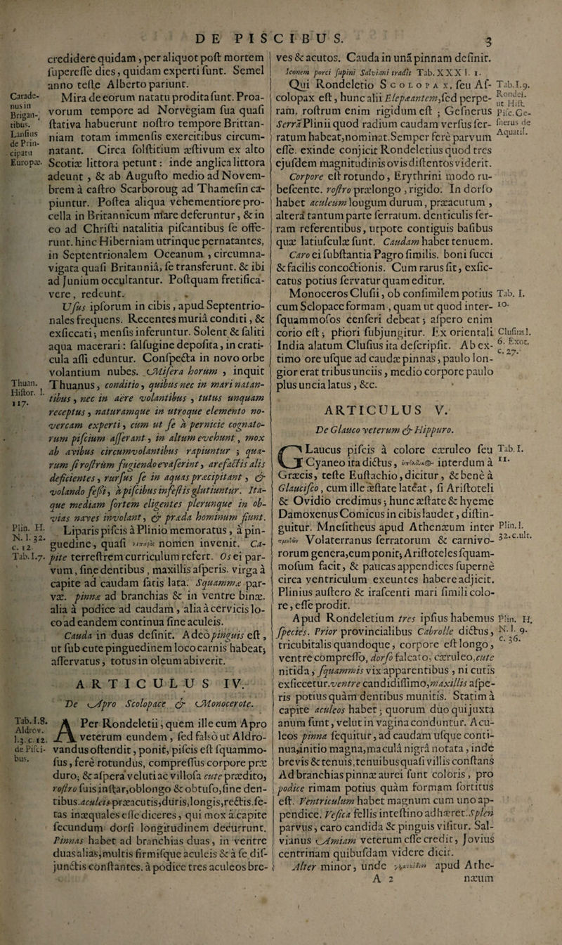 Carade- nus in Brigan¬ tibus. Lanfius de Prin¬ cipatu Europa;. Thuan. Hiftor. ii 7- Plin. H N. 1. 32, C. T 2- Tab.I.J. credidere quidam, per aliquot poft mortem fuperefie dies, quidam experti funt. Semel anno tefte Alberto pariunr. Mira de eorum natatu prodita funt. Proa¬ vorum tempore ad Norvegiam fua quafi ftativa habuerunt noftro tempore Britfan- niam totam immenfis exercitibus circum- natant. Circa folftitium xftivum ex alto Scotix littora petunt: inde anglicalittora adeunt , & ab Augufto medio ad Novem¬ brem a caftro Scarboroug ad Thamefin ca¬ piuntur. Poftea aliqua vehementiore pro¬ cella in Britannicum mare deferuntur, &in eo ad Chrifti natalitia pifcantibus fe offe¬ runt. hinc Hiberniam utrinque pernatantes, in Septentrionalem Oceanum , circumna- vigata quafi Britannii, fe transferunt. & ibi ad junium occultantur. Poftquam fretifica- vere, redeunt. Ufus ipforum in cibis, apud Septentrio¬ nales frequens. Recentes muria conditi, & exficcati-, menfis inferuntur. Solent Scfaliti aqua macerari: falfuginedepofita, in crati¬ cula afii eduntur. Confpefta in novo orbe volantium nubes. _cJllifera horum , inquit Thuanus, conditio , quibus nec in muri natan¬ tibus , nec in aere volantibus , tutus unquam receptus, naturamque in utroque elemento no¬ vercam experti, cum ut je h pernicie cognato¬ rum pifciurn afferant, in altum evehunt, mox ab avibus circumvolantibus rapiuntur qua¬ rum fi rofiriim fugiendo evaferint, arefactis alis deficientes, rurfus fe in aquas pracipitant, & volando fefii, dpifcibus infeftis glutmntur. Ita¬ que mediam fortem eligentes plerunque in ob¬ vias naves involant, fr prada hominum fiunt. Liparis pifeis a Plinio memoratus, a pin¬ guedine, quafi xwffc nomen invenit. Ca¬ pite terreftrem curriculum refert. Os ei par¬ vum , fine dentibus , maxillis afperis. virga a capite ad caudam faris lata. Squamma par- vx. pinna, ad branchias & in ventre binx. alia a podice ad caudam , alia a cervicis lo¬ co ad eandem continua fine aculeis. Cauda in duas definit. Adeo pinguis zft., ut fub cute pinguedinem loco carnis habeat* affervatus, totus in oleum abiverit. ARTICULUS IV. bus. De (_Apro Scolopace & cMonocerote. Aldi-ov*’ A ^er ^on<^e^et^ 5 quem ille cum Apro I.3.C 12. veterum eundem, fed falso ut Aldro- de Pifd- vandusoflendit, ponit, pifeis eft fquammo- fus, fere rotundus, compreftus corpore prx duro; &afpera’velutiac villofa a^prxdito, roflro fuisinftar,oblongo &obtufo,line den- tibus .aculeis prxacutis, duris, longis, re£tis. fe¬ tas inxquales cfle diceres, qui mox a capite fecundum dorli longitudinem decurrunt. Pinnas habet ad branchias duas, in ventre duas alias, multis firmifque aculeis & a fedif- jundtis conflantes, a podice tres aculeos bre¬ ves & acutos. Cauda in una pinnam definit. Iconem porci fupini Salvi ani tradit Tab. XXXI. 1. Qui Rondeletio Scolopa x, feu Af- Tab. 1.9. colopax eft, hunc alii Plepaantemfcd. perpe- ^°!^* ram. roflrum enim rigidum eft ; Gefnerus pifc.Ce- .SVTT^Pliniiquod radium caudam verfus fer- foerus de ratum habeat,nominat.Semper fere parvum Aciuatll‘ efte. exinde conjicit Rondeletius quod tres ejufdem magnitudinis ovisdiftentos viderit. Corpore eft rotundo, Erythrini modo ru- befcente. roftro prxlongo , rigido. In dorfo habet aculeum longum durum, prxacutum , altera' tantum parte ferratum, denticulis fer- ram referentibus, utpote contiguis bafibus qux latiufculxfunt. Caudam habet tenuem. Caro ei fubftantia Pagro fimilis. boni fucci & facilis concoctionis. Cu m rarus fit, exfic- catus potius fervatur quam editur. MonocerosClufii, ob confimilempotius Tab. I. cum Sclopace formam , quam ut quod inter- IO- fquammofos cenferi debeat-, afpero enim corio eftj phori fubjungitur. Ex orientali Clufiusl. India alatum Clufius ita defcripfit. Ab ex- A^;xoc' timo ore ufque ad caudx pinnas, paulo lon¬ gior erat tribus unciis, medio corpore paulo plus uncia latus, &c. ARTICULUS V. De Glauco veterum <& Hippuro. GLaucus pifeis a colore cxrulco feu Tab. I. Cyaneo ita diftus, interdum a lI' Grxcis, tefte Euftachio, dicitur, & bene a. Glaucifco, cum ille Xftate lateat, fi Ariftoteli & Ovidio credimus* hunc xftate&hyeme Damoxenus Comicus in cibis laudet, diftin- guitur. Mnefitheus apud Athenxum inter P’in.I. 'TfAilltoV Volaterranus ferratorum & carnivo- 52‘c‘llIr' rorum genera,eum ponit-, Ariftoteles fquam- rnofum facit, & paucas appendices fuperne circa ventriculum exeuntes habere adjicit. Plinius auftero & irafeenti mari fimili colo¬ re, efte prodit. Apud Rondeletium tres ipfius habemus Plin. h. fpecies. Prior provincialibus Cabrolle diCtus, tricubitalis quandoque, corpore eft longo, c‘5 J' ventre comprefto, dorfo falcato, cxruleo,cute nitid a, fquammis vix apparentibus , ni cutis exficcetur.-i/fwm’ candidiftimo,^.vi//A afpe¬ ris potius quam dentibus munitis. Sratima capite aculeos habet * quorum duo qui juxta anum funt, velut in vagina conduntur. Acu¬ leos pinna fequitur, ad caudam ufque conti¬ nua,initio magna,maculinigra notata, inde brevis &ctenuis,tenuibusquali villis conflans Ad branchias pinnx aurei funt coloris, pro podice rimam potius quam formam fortitus eft. Ventriculum habet magnum cum uno ap¬ pendice. Vefica fellisinreftinoadhxrcz.Splen parvus, caro candida & pinguis vifitur. Sal- vianus CAmiam veterum cfle credit, Jovius centrinam quibufdam videre dicir. Alter minor, unde wutioi apud Athe- A 2 nxum