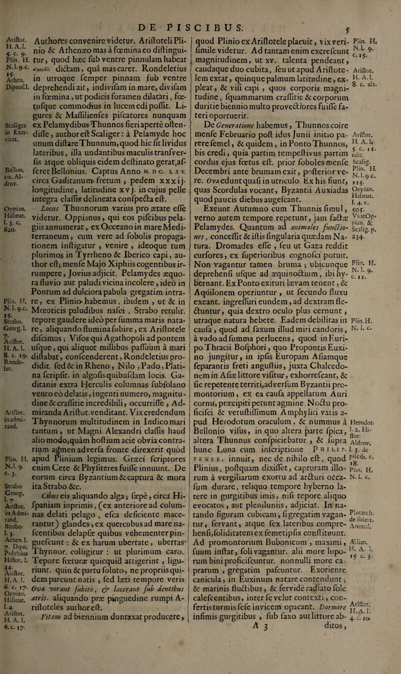 Ariftot. H.A.l. 5- c- 9- Plin. H. N.I.9.C. 15 Arhen. Dipnof.l. Scaliger in Exer¬ citat. Bellon. cit. Al- drov. Oppian. Halieut. I. 3. c. 610. Plin. H. N.I.9.C. *5- Strabo. Georg. 1. 7- n Ariftot. H. A. 1. 8. c. 19. Ronde- let. Ariltot. inadmi- rand. Plin. H. N.l. 9. c. 3. Strabo Georg. l.r Ariftot. in Admi- rand. Strabo 1.3. Athen. 1. 7. Dipn. Polybius Hi Itor. 1. 34- Ariltot. H.A.l. 6 c. 17. Oppian. Halieut. 1.4. Ariltot. 6.c. 17. Authofes convenire videtur. Ariftoteli Pli¬ nio & Athenceo mas a fopmina eo diftingui- tur, quod haec fub ventre pinnulam habeat a&upQjs didam, qua mas caret. Rondeletius in utroque femper pinnam fub ventre deprehendi ait, indivifamin mare, divifam in fcemina, ut podicis foramen dilatari, foe- tufque commodius in lucem edi poflic. Li¬ gures & Maflilienfes pifcatores nunquam ex Pelamydibus Thunnos fieri aperte often- difle, authorefl: Scaliger: a Pelamyde hoc unum diftareThunnum, quod hic fit lividus lateribus, illa undantibus maculis tranfver- fis atque obliquis eidem deftinato gerat.af- feretBeilonius. Captus Anno m. d c. l x v. circa Gaditanum fretum , pedem xxxij- longitudine, latitudine xvj. in cujus pelle integra cladis delineata confpeda eft. Locus Thunnorum varius pro state efie videtur. Oppianus, qui eos pifcibus pela¬ giis annumerat, exOcceanoin mare Medi¬ terraneum, cum vere ad fobolis propaga¬ tionem infligatur , venire , ideoque tum plurimos in Tyrrheno & Iberico capi, au- thor cflj menfe Majo Xiphiis cogentibus ir¬ rumpere, Jovius adjicit. Pelamydes aequo¬ ra fluvio aut paludi vicina incolere, ideo in Pontum ad dulciora pabula gregatim intra¬ re, ex Plinio- habemus, ibidem , ut & in Mceoticis paludibus nafei , Strabo retulit, tepore gaudere ideo per fumma maris nata¬ re, aliquando flumina fubire, ex Ariflotele difcimus j Vifos qui Agathopoli ad pontem ufque, qui aliquot millibus pafluum a mari diftabat, confcenderent, Rondeletius pro¬ didit. fed& in Rheno, Nilo ,Pado,Plati- na fcripfit. in algofisquibufdam locis. Ga¬ ditanis extra Herculis columnas fubfolano vento eo delatis, ingenti numero, magnitu¬ dine &craflitie incredibili, occurrifle, Ad¬ miranda Ariftot.venditant. Vix credendum Thynnorum multitudinem in Indico mari tantum , ut Magni Alexandri claflis haud alio modo,quam hoflium acie obvia contra¬ rium agmen adverfa fronte direxerit quod apud Plinium legimus. Grarci feriptores enim Cete & Phy fiteres fuifle innuunt. De eorum circa Byzantium & captura & mora ita Strabo &c. Cibus e is aliquando alga-, fsepe, circa Hi- fpaniam inprimis, (ex anteriore ad colum¬ nas delati pelago , efca deficiente mace¬ rantur} glandes, ex quercubus ad mare na- fcentibus delapfce quibus vehementer pin- guefcunt: & ex harum ubertate, ubertas* Thynnor. colligitur : ut plurimum caro. Tepore foeturas quicquid attigerint , ligu¬ riunt. quin &c partu foluto, ne propriis qui¬ dem parcunt natis , fed laeti tempore veris Ova norunt fubito, <& lacerant fub dentibus atris. aliquando prx pinguedine rumpi A- riftoteles authorefl. Vitam ad biennium duntaxatproducere, quod Plinio ex Ariflotele placuit, vix veri- Plin. H, fimile videtur. Ad tantam enim excrefcunt magnitudinem, ut xv. talenta pendeant, caudaque duo cubita, feuutapud Ariflote- Ariftot. lemextat, quinque palmum latitudine, ex- VAA; pleat, & vili capi , quos corporis magni¬ tudine, fquammarum crafiitie &ccorporum duritie biennio multo provectiores fuifle fa¬ teri oportuerit. De Generatione habemus, Thunnoscoire menfe Februario pofl idus /unii initio pa- Ariftot. rerefemel, & quidem, in Ponto Thunnos, HA,:* bis credi, quia partim tempeflivus partim edic! * * cordus ejus foetus eft. prior foboles menfe Scalig. Decembri ante brumam exit, pofleriorve- FJ1' re. Oyaeduntquafi in utriculo. Ex his fiunt, 115. quas Scordulas vocant, Byzantii Auxiadas Oppian. quod paucis diebus augefcanr. L ^,c* Exeunt Autumno cum Thunnis fimul, 505. verno autem tempore repetunt, jam fa£he ^cOpj Pelamydes. Quantum ad animales funttio- Scolig.p. nes, conceflit&iftislingulariaquxdamNa- 234. tura. Dromades efle , feu ut Gaza reddit curfores, cx fuperioribus cognofci potuit. Non vagantur tamen bruma ubicunque Pllt|- deprehenfi ufque ad tequinoCtium , ibi hy- c 9’ bernant. Ex Ponto exituri lcevam tenent, & Aquilonem operiuntur , ut fecundo fluxu exeant, ingrefliiri eundem, ad dextram fle¬ ctuntur, quia dextro oculo plus cernunt, utraque natura hebete. Eadem debilitas in pifn.H. caufa , quod ad faxum illud miri candoris, N< c* a vado ad fumma perlucens, quod in Euri¬ po Thracii Bofphori, quo Propontis Euxi¬ no jungitur, in ipfis Europam Afiamque feparantis freti angufliis, juxta Chalcedo¬ nem in Afiaelittore vifitur, exhorrefeant, fic repetente territi,adverfum Byzantii pro¬ montorium, ex ea caufa appellatum Auri cornu, pnecipiti petunt agmine. NoCtu pro- ficifci & vetuftiflimum Amphyliri vatis a- pud Herodotum oraculum , & nummus a Bellonio vifus, in quo altera parte fpica, altera Thunnus conlpiciebatur , &: fupra Aldrov. hunc Luna cum inlcriptione pHinp-l._3._de pinze, innuit, nec de nihilo eft, quod PgClb* c* Plinius, poflquam dixiflet, capturam illo- pi,n. h. rum a Vergiliarum exortu ad arCturi occa- N. i. c. fum durare, reliquo tempore hyberno la¬ tere in gurgitibus imis, nifi tepore aliquo evocatos , aut pleniluniis, adjiciat. In na¬ tando figuram cubicam, fi gregatim vagan- ^‘j^7, tur, fervant, atque fex lateribus compre- AnimalF henfijfoliditatemex femetipfis conflituunt. Ad promontorium Bubonicum , maximi, fuum inftar, foli vagantur, alii more lupo¬ rum bini proficifcuntur. nonnulli more ca¬ prarum , gregatim pafcuntur. Exoriente canicula, in Euxinum natare contendunt &: marinis fluCtibus, & fervide radiato fole calefcenribus, inter fe velut contexti, con¬ fertis turmis fefe invicem opacant. Dormire infimis gurgitibus , fub faxo autlittorc ab- A 3 diros, Herodor. 1.2. Hi- ftor. Allian. H. A. I. »5 c. 3. uor, H. A. 1.