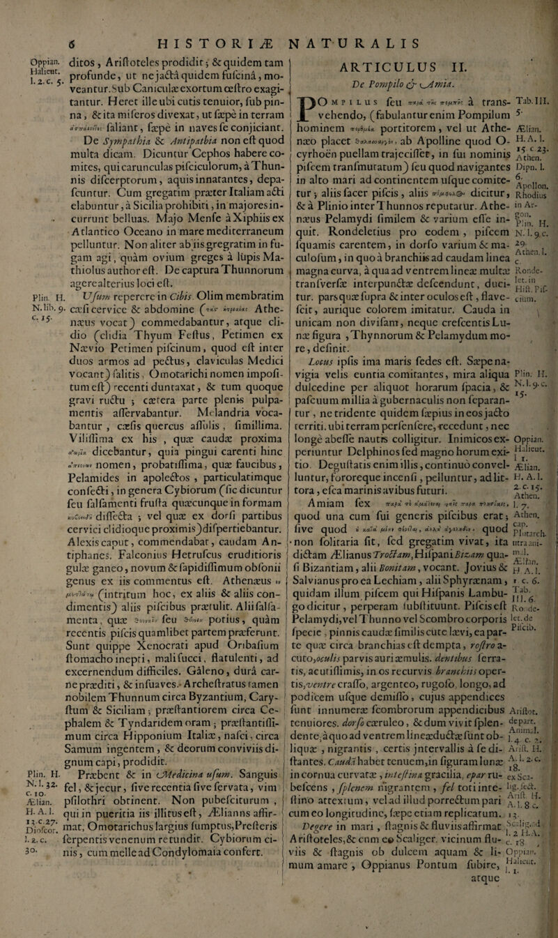 Oppian. Halieut. 1. 2.C. 5. ditos , A riftoteles prodidit; & quidem tam profunde, ut neja^Mquidem fufcina, mo¬ veantur.Sub Caniculas exortum ceftro exagi¬ tantur. Herec ille ubi cutis tenuior, fub pin¬ na , fk ita miferos divexat, ut faspe in terram «Vwio»7*c faliant, faspe in naves fe conjiciant. De Sympathia & Antipathia non eft quod multa dicam. Dicuntur Cephos habere co¬ mites, qui carunculas pifciculorum, a Thun¬ nis difcerptorum, aquis innatantes, depa- fcuntur. Cum gregatim praeter Italiam a£ti elabuntur, a Sicilia prohibiti, in majoresin- currunt belluas. Majo Menfe aXiphiisex ARTICULUS II. De Pompilo & K^Amia. O MJ I LUS feli 7r*fa. T»f TTty.Trvc □. ttanS- 1 ab. III. vehendo, (fabulantur enim Pompilum 5‘ hominem portitorem, vel ut Athe- ALlian. naso placet ScLXaLayUpyov > ab Apolline quod O- cyrhoen puellam trajecifiet, in fui nominis ithen!3* pifcem tranfmuratum) feu quod navigantes Dipn. 1. in alto mari ad continentem ufque comite- tur j aliis facer pifcis , aliis *Im***& dicitur, Rhodius' &a Plinio interi hunnos reputatur. Athe- inAr- nasus Pelamydi fimilem &: varium efTe in- ^ H Atlantico Oceano in mare mediterraneum ) quit. Rondeletius pro eodem, pifcem n 1.9. c. pelluntur. Non aliter ab iis gregratim in fu¬ gam agi, quam ovium greges a lupis Ma- thiolus author eft. De captura Thunnorum agerealterius loci eft. Plin h. Ufum repererein Cibis. Olim membratim N.lib. 9. cxCicervice & abdomine t Athe- t'15' naius vocat) commedabantur, atque cli- dio (clidia Thyurn Feftus, Petimen ex Nasvio Petimen pifcinum, quod eft inter duos armos ad pedtus, claviculas Medici vocant) ialitis, Omotarichi nomen impofi- tum eft) recenti duntaxat, & tum quoque lquamis carentem, in dorfo varium & ma- 29- , culofum, in quo a branchiis ad caudam linea c. magna curva, a qua ad ventrem lineas multas Ronde let. in Hift.Fit cium. tranfverfte interpundtas defcendunt, duci¬ tur. pars quas fupra Sc inter oculos eft , flave- fcit, aurique colorem imitatur. Cauda in unicam non divifam, neque crefcentisLu- nas figura , Thynnorum & Pelamydum mo¬ re, definit. Locus ipfis ima maris fedes eft. Saspe na¬ vigia velis euntia comitantes, mira aliqua PHn. Ii. dulcedine per aliquot horarum fpacia, & N-' 9 C- gravi rudtu ; castera parte plenis pulpa- I pafcuum millia a gubernaculis non feparan 15- mentis aftervabantur. Mdandria voca¬ bantur , casiis quercus aftulis , fimillima. Vi! illima ex his , quae caudae proxima dicebantur, quia pingui carenti hinc o/riovoov nomen, probatiftima, quae faucibus , Pelamides in apoledtos , particulatimque confedti, in genera Cybiorum (Tc dicuntur feu falfamenti frufta quaecunque in formam difledta •, vel quas ex dorfi partibus cervici clidioque proximis)difpertiebantur. Alexis caput, commendabar, caudam An- tur , ne tridente quidem faepius in eos jacto rerriti. ubi terram perfenfere,-recedunt, nec longe abefte nautrs colligitur. Inimicos ex- Oppian. periuntur Delphinos fed magno horum exi- Hal,euc. tio. Degultatis enim illis, continuo convel- j£ijan. luntur, fororequeincenfi , pelluntur, adiit- H. A. 1. tora, efca marinis avibus futuri. 2 c'Ii?- '5 r Athen. A miam lex 7THP'JL TO et/uxlivz/ itAc Tr-J-fOL 7r\»<Tia.lt , h quod una cum fui generis pifeibus erat; Athen. live quod * *** quod pj^Lrcj. non folitaria fit, fcd gregatim vivat, ita mraani- tiphanes. Falconius Hetrufcus eruditioris | didtam/Flianus7>-<?^»if,Hifpani5/^w qua-^ gulas ganeo, novum&fapidiflimum obfonii { fi Bizantiam, alii Eonitam, vocant. Jovius & h'aj. genus ex iis commentus eft. Athenxus ** SalvianusproeaLechiam, aliiSphyrasnam, t c. 6. rutili tu ((intritum hoc, ex aliis & aliis con- quidam ilium pifcem quiHifpanis Lambu- j1,^' dimentis) aliis pifeibus praetulit. Aliifalfa menta, quas feu potius, quam recentis pifcis quamlibet partem prasferunt. 6- godicitur, perperam lubftituunt. Pifciseft Ro de- Pelamydi,vel Thunno vel Scombro corporis fpecie . pinnis caudas fimilis cute lasvi, ea par- PllclD' Sunt quippe Xenocrati apud Oribalium j te quae circa branchias eft dempta, roflro a- ftomacho inepri, malifucci, flatulenti, ad cuto,oculis parvisauriasmulis. dentibus fierra- excernendum difficiles. Galeno, dura car- tis, ac uf illimis, in os recurvis branchiis oper- ne prasditi, & infuaves. A rcheftratus tamen tis,ventre crafto, argenteo, rugofo, longo, ad nobilem Thunnum circa Byzantium, Cary- 1 podicem ufque demifto , cujus appendices ftum & Siciliam-, prasftanfiorem circa Ce- funt innumeras fcombrorum appendicibus Ariftot. phalem & Tyndaridem oram ; prseliantilli- tenuiores, dorfo cxew\co, &dum vivit fplen- ^ePart- mum circa Hipponium Italice, nafei, circa dente^quoad ventrem lineasdu&as funt ob- j Samum ingentem, & deorum conviviis di- liquas , nigrantis , certis jntervallis a fe di- Arift. H. Plin. H. N. 1. 32. c. 10. jtlian. gnum capi, prodidit. } ftantes. Cauda habet tenuem, in figuram lunas A1-2-c 18. Prasbent &c in <jMedicina ufum. Sanguis j in cornua curvatas, intcfttna gracilia, epar ru- exSca- fel,& jecur, five recentia fivefervata, vim j befcens , fplcnem nigrantem, fel totiinte- bg-RA. pfilothri obtinent. Non pubefeiturum , j ftino attextum, vel ad illud porredtum pari ; g H.A.l. qui in pueritia iis illitus eft, ^Tlianns affir- ■ cum eo longitudine, faspe etiam replicatum. 13. Diofcor'. mat, Omotarichus largius fumptuSjPrefteris j Degere in mari, ftagnis&fluviisaffirmat ferpentis venenum retundit. Cybiorum ci- ! Ariftoteles,&cnm e© Scaliger. vicinum flu- f rg ' 2. c. 30. an. nis, cum meile ad Condylomaia confert. j viis & ftagnis ob dulcem aquam Sc li- Oppi; I mum amare , Oppianus Pontum fubire, JHJ,ieuc' *• | atque