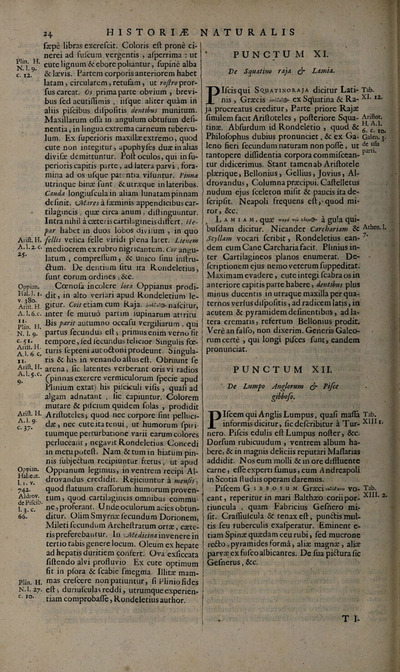 Plin. H. N. 1. 9. c. 12. Ai ift. H. A. 1.2. c. *5- Oppian. Hal.l.i. v. 380. Arilt, H. A.I.6.C. 11. Plin. H. N. I. 9. c. 51. Arilt. H. A. 1. 6 c, 11. Arift. H. A.l. 5.C. 9* Arift. H. A.l. 9. c. 37. Oppian. Halieut. 1. j . v. 742. Aldrov. dc Pifcib I.3.C. 66. Plin. H. N. 1. 27. c. 10 faepe libras excrefcit. Coloris eft prone ci¬ nerei ad fulcum vergentis , afperrima : ut cute lignum 6c ebore poliantur, fupine alba & laevis. Partem corporis anteriorem habet latam, circularem, retufam , ut roftro pror- fuscareat. Os prima parte obvium , brevi¬ bus fed acutillimis , iifque aliter quam in aliis pifcibus dilpofitis dentibus munitum. Maxillarum olla in angulum obtutum deli¬ nentia , in lingua extrema carneum tubercu¬ lum. Ex fuperioris maxillaeextremo, quod cute non integitur, apophyfes duas in alias divifae demittuntur. Poli: oculos, qui infu- perioris capitis parte, ad latera parvi, fora¬ mina ad os ufque pac ntia viluntur. Pinna utrinque binae funt. & utraeque in lateribus. Cauda longiulculain aliam lunatam pinnam definit. CMares a feminis appendicibus car¬ tilagineis quae circa anum, dillinguuntur. Intra nihil a caeteris cartilagineis differt. He¬ par habet in duos lobos diviium , in quo fe Ilis velica felle viridi piena laret. Lienem mediocrem exrubro nigricantem. Cor angu¬ latum , comprellum, 6c unico linu inllru- dum. De dentium litu ita Rondeletius, funt eorum ordines, &c. Coenofa incolere loca Oppianus prodi¬ dit, in alto veriari apud Rondeletium le¬ gitur. Coit etiam cum Raja, nafcinjr, inter fe mutuo partim lupinarum atrritu Bis parit autumno occafu Vergiliarum , qui partus fecundus ell; primus enim verno lit rempore, ied fecundus felicior Singulis foe- turis fepteni aut odoni prodeunt. Singula¬ ris & his in venando aftus eft. Obruunt fe arena, fic latentes verberant oris vi radios (pinnas exerere vermiculorum fpecie apud Plinium extat) his piiciculi vilis , quafi ad algam adnatant , fic capiuntur. Colorem mutare & ptlcium quidem folas , prodidit Ariftotelesj quod nec corpore fint pelluci¬ dae , nec cuteitatenui, ut humorum fpiri- tuumque perturbatione varii earum colores perluceant, negavit Rondeletius Concedi in metu poteft. Nam & tum in hiatum pin¬ nis lubjedum recipiuntur foetus, ut apud Oppianum legimus, in ventrem recipi Al- drovandus credidit. Rejiciuntur a menfts, quod flatuum craflbrum humorum proven¬ tum, quod cartilagineis omnibus commu¬ ne , proferant. Unde oculorum acies obtun¬ ditur. Oiim Smyrnae fecundum Dorionem, Mileti fecundum Archeftratum orroe, caete¬ ris proferebantur. In \Medicina invenere in tertio tabis genere locum. Oleum ex hepate ad hepatis duritiem confert. Ova exliccata fiftendo alvi profluvio Ex cute optimum fit in pfora & fcabie fmegma. Illitae mam¬ mas crefcere non patiuntur, fi Plinio fides eft i dunufculas reddi, utrumque experien¬ tiam comprobafte, Rondeletius author. p PUNCTU M XI. Ve Squatim raja & Lamia. Ifcisqui Squatinoraja dicitur Lati- Tab. Graecis pnz*i<& ex Squatina & Ra- I2, ms ja procreatus creditur, Parte priore Rajae fimilem facit Ariftoteles , pofteriore Squa- Ariftot. tinae. Abfurdum id Rondeletio , quod & J0. Philofophus dubius pronunciet, & ex Ga- Galen. 3. leno fieri fecundum naturam non pofte, ut ufu tantopere diffidentia corpora commifcean- p“m’ tur didicerimus. Stant tamen ab Ariftotele ploerique, Bellonius, Gellius, Jovius, Al- drovandus, Columna praecipui. Caftelletus nudum ejus fceleton mifit &: paucis ita de- fcriplit. Neapoli frequens eft,'quod mi¬ ror, &c. L a m i a m , quae tod a gula qui- bufdam dicitur. Nicander Carchariam & Athen.l. Scyllam vocari feribit, Rondeletius ean- 7’ dem cu m Cane Carcharia facit. Plinius in¬ ter Cartilagineos planos enumerat. De- - feriptionem ejus nemo veterum fuppeditat. Maximam evadere, cute integi fcabra os in anteriore capitis parte habere, dentibus plus minus ducentis in urraque maxilla per qua¬ ternos verius dilpofitis, ad radicem latis, in acutem & pyramidem delinentibus, ad la¬ tera crematis, refertum Bellonius prodic. ( Vere an falfo, non dixerim. Generis Galeo- rumcerte , qui longi pifces funt, eandem pronunciat. PUNCTUM XII. De Lumpo Anglorum & Pifce gibbofo. Plfcemqui AnglisLumpus, quafi mafla Tab. informis dicitur, fic deferibitur a Tur- nero. Pifcis edulis eftLumpus nofter, &c. Dorfum rubicuudum , ventrem album ha¬ bere, & in magnis deliciis reputari Maftarias addidit. Nos eum molli & 111 ore diffluente carne, efleexperti fumus, cum Andreapoli in Scotia lludiisoperam daremus. Pifcem Gibbosum Graeci vo¬ cant, reperitur in mari Balthoeo coriipor- tiuncula , quam Fabricius Gefnero mi¬ fit. Craffiulcula & tenax eft, pundis mul¬ tis feu tuberculis exafperatur. Eminent e- tiam Spinae quaedam ceu rubi, fed mucrone redo, pyramides forma, aliae magnae, aliae j parvae ex fufeo albicantes. De fua pidurafic Gefnerus, &c. Tab. XIII. 2.
