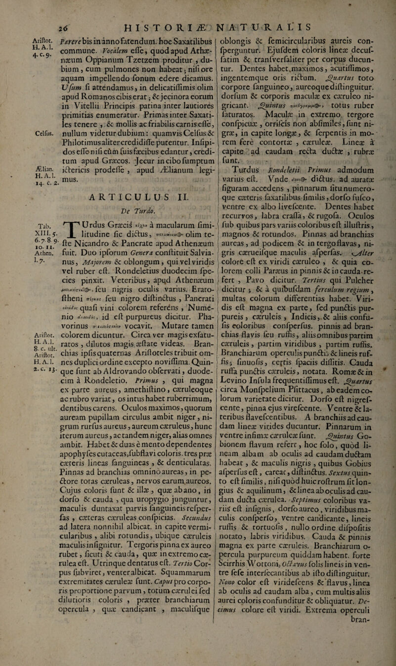 Ariftot. H. A.l. 4- c.9. Allian. H. A. 1 14. c. Tab. XIII. 5 6.7.8 9 10. 11 Athen. I.7. Parere bis in anno fatendum, hoc Saxatilibus commune. Vocalem efle, quod apud Athte- n^um Oppianum Tzetzem proditur , du¬ bium, cum pulmones non habeat; nili ore aquam impellendo fonum edere dicamus. Ufum fi attendamus, in delicatiflimis olim apud Romanos cibis erat; & jecinora eorum in Vitellii Principis patina inter lautiores primitias enumeratur. Primas inter Saxati¬ les tenere , .& mollis ac friabilis carnis efle , Celfus. nullum videtur dubium: quamvis Celfus& PhilotimusalitercredidilTe putentur. Inflpi- dosefle-nilicCimfuisfecibus edantur, credi¬ tum apud Grtecos. Jecur incibofumptum idericis prodefle , apud Aflianum legi¬ mus. ARTICULUS II. De Turdo. TUrdus Graecis *«'**» a macularum fimi- litudine fle didus, 7rc\vaivi>/ui(&' olim te- ' fle Nicandro & Pancrate apud Athenxum fuit. Duo ipforum Genera conftituit Salvia- nus, Majorem Sc oblongum, qui vel viridis vel ruber efl. Rondeletius duodecim fpe- cies pinxit. Veteribus, apud Athenaeum feu nigris oculis varius. Erato- ftheni feu nigro diftindus , Pancrati oivceiS' quafi vini colorem referens , Numc- nio id efl: purpureus dicitur. Pha- vorinus vocavit. Mutare tamen colorem dicuntur. Circa ver magis exfatu- ratos , dilutos magis reflare videas. Bran¬ chias ipflsquaternas Arifloteles tribuit om¬ nes duplici ordine excepto noviflima. Quin¬ que funt ab Aldrovando obfervati, duode¬ cim a Rondeletio. Primus , qui magna ex parte aureus, amethiftino, cceruleoque ac rubro variat, os intus habet ruberrimum, dentibus carens. Oculos maximos, quorum auream pupillam circulus ambit niger, ni¬ grum rurfus aureus, aureum caeruleus, hunc iterum aureus, ac tandem niger, alias omnes ambit. Habet & duas e mento dependentes apophyfes cutaccas/ubflavi coloris, tres prae caereris lineas fanguineas , & denticulatas. Pinnas ad branchias omnino aureas, in pe¬ dore totas caeruleas, nervos earum aureos. Cujus coloris funt & ilfe , quae abano, in dorfo & cauda , qua uropygio junguntur, maculis duntaxat parvis fanguineisrefper- fas , caereras caeruleas confpicias. Secundus ad latera nonnihil albicat, in capite vermi- cularibus , alibi rotundis, ubique cteruleis maculis infignitur. Tergoris pinna ex aureo rubet, ficuti & cauda, quae in extremo ca> ruleaefl. Utrinque dentatus efl. Tertio Cor¬ pus fubviret, venter albicat. Squammarum extremitates caeruleae funt. Caput pro corpo¬ ris proportione parvum, totum caerul ei fed dilutioris coloris , praeter branchiarum opercula , qua: candicant , maculifque Ariftot. H. A.l. 8- c. ult Aiiftot. H.A.l. z. c. 13. oblongis & femicircularibus aureis con- fperguntur. Ejufdem coloris lineae decufl fatim &c tranfverfaliter per corpus ducun¬ tur. Dentes habetjnaximos, acutillimos, ingentemque oris ridum. Qtartus toto corpore fanguineo, aureoque diftinguitur. dorfum corporis maculae ex caeruleo ni¬ gricant. Qiintus totus ruber laturatos. MacuLe in extremo tergore confpicuae , orrifeis non abfimiles, funt ni¬ grae, in capite longae, & ferpentis in mo¬ rem fere contortae , caeruleae. Lineae 4 capite ad caudam reda dudae , rubrae funt. Turdus Rondeletii Primus admodum varius efl. Vnde didus. ad auratae figuram accedens , pinnarum litunumero- ! que caetens faxatilibus fimilis, dorfo fufeo, ventre ex albo livefeente. Dentes habet recurvos, labra crafla, &rugofa. Oculos fub quibus pars variis coloribus efl illuftris, magnos &c rotundos. Pinnas ad branchias I aureas, ad podicem & in tergo flavas, ni- : gris caerueifque maculis afperfas. yMlter colore efl ex viridi caeruleo , & quia co- 1 lorem colli Paraeus in pinnis & in cauda-re- I fert , Pavo dicitur. Tertius qui Pulcher 1 dicitur 5 & a quibufdam ferculum regium, | multas colorum differentias habet. Viri- | dis efl magna ex parte, fed pundis pur¬ pureis , caeruleis , Indicis,.& aliis confu- fis coloribus confperfus. pinnis ad bran¬ chias flavis feu rums, aliis omnibus partim j caeruleis, partim viridibus , partim rufiis. Branchiarum operculis pundis & lineis ruf- ' fis i finuofis, certis fpaciis diflitis. Cauda ruffe pundis caeruleis, notata. Romae & in Levino Infula freqUentiflimusefl. Quartus circa Monfpelium Pfittacus, ab eadem co¬ lorum varietate dicitur. Dorfo efl nigref- cente, pinna ejus virefeente. Ventre & la¬ teribus flavefeentibus. A branchiis ad cau¬ dam lineae virides ducuntur. Pinnarum in ventre infimae caeruleae funt. Quintus Go¬ bionem flavum referc, hoc folo, quod li¬ neam albam ab oculis ad caudamdudam habeat, &c maculis nigris , quibus Gobius afperfus efl , careac, diflindus. Sextus quin¬ to efl fimilis, nifi quod huic roflrum fit lon¬ gius & aquilinum, & linea ab oculis ad cau¬ dam duda caerulea. 'Septimus coloribus va¬ riis efl infignis, dorfo aureo, viridibus ma¬ culis confperfo, ventre candicante, lineis rufiis & tortuofis , nullo ordine difpofitis notato, labris viridibus. Cauda & pinnis magna ex parte caeruleis. Branchiarum o- percula purpureum quiddam habent, forte Scirrhis Wottoni, Octavus folis lineis in ven¬ tre fefe interiecantibus ab iflodiflinguitur. Nono color efl viridefeens Sz'flavus,linea ab oculis ad caudam alba, cum multis aliis aurei coloris confunditur & obliquatur. De¬ cimus colore efl viridi. Extrema operculi bran-