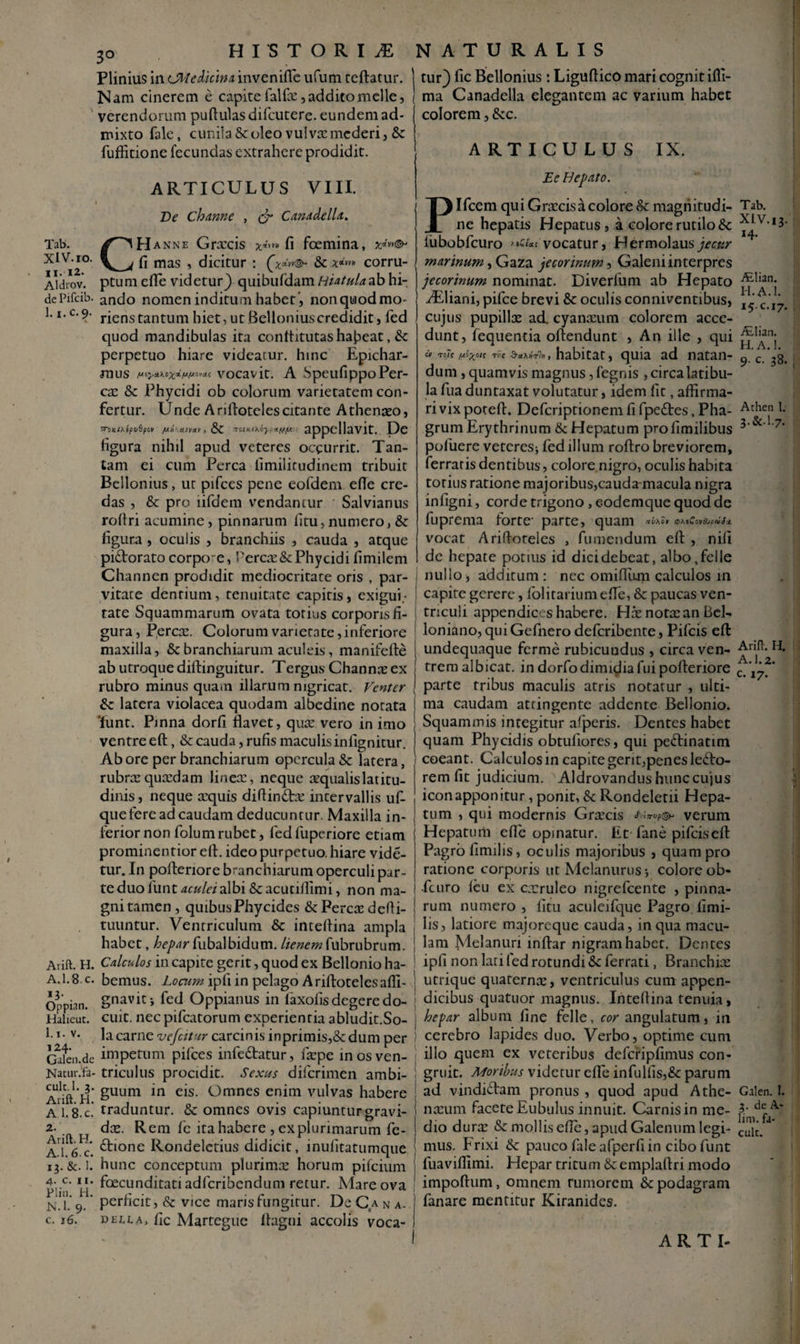 XlV.io. II. 12- Aldrov. de Pifcib. 1.1. c. 9- ift. H. 1.8.c. pian. lieut. . v. 4* , len.de tur.fa- t.K 3. ift. H. 1.8.c. ift. H. 1.6.c. &. 1. c. 11. n. H. 1. 9. 30 HISTORIA Plinius in OMedicim invenifle ufum teftatur. Nam cinerem e capite falfx, addito meile, verendorum pullulas difcutere. eundem ad¬ mixto fale, cunila & oleo vulva: mederi, &z fuffitione fecundas extrahere prodidit. ARTICULUS VIII. 1 De cloanne , (jr Canadella. CH anne Grxcis **>*» fi foemina, xL^ fi mas , dicitur : corru¬ ptum efle videtur) quibufdam Hiatulazb hi¬ ando nomen inditum habet', nonquodmo- rienstantum hiet, ut Belloniuscredidit, fed quod mandibulas ira conttitutas habeat, & perpetuo hiare videatur, hinc Epichar¬ mus vocavit. A Speufippo Per¬ cx &c Phycidi ob colorum varietatem con¬ fertur. Unde Ariftotelescitante Athenaeo, srsxMfpt/Spcv & TrrAKiXQytrttffS. appellavit. De figura nihil apud veteres occurrit. Tan¬ tam ei cum Perca fimilicudinem tribuit Bellonius, ur pifces pene eofdem efle cre¬ das , & pro iifdem vendantur Salvianus rollri acumine, pinnarum fitu,numero, &: figura, oculis , branchiis , cauda , atque pi&orato corpo e, Tercx & Phycidi fimilem Channen prodidit mediocritate oris , par¬ vitate dentium, tenuitate capitis, exigui¬ tate Squammarum ovata totius corporis fi¬ gura , Percx. Colorum varietate, inferiore maxilla, & branchiarum aculeis, manifefte ab utroque diftinguitur. Tergus Channx ex rubro minus quam illarum nigricat. Venter fk. latera violacea quodam albedine notata ‘funt. Pinna dorfi flavet, qux vero in imo ventre eft, & cauda, rufis maculis infignitur. Ab ore per branchiarum opercula & latera, rubrxquxdam linex, neque xqualislatitu¬ dinis, neque xquis diflin&x intervallis uf- que fere ad caudam deducuntur. Maxilla in¬ ferior non folum rubet, fedfuperiore etiam prominentior ell. ideo purpetuo. hiare vide¬ tur. In pofteriore branchiarum operculi par¬ te duo funt aculei albi &acutiffimi, non ma¬ gni tamen , quibus Phycides & Percx defli- tuuntur. Ventriculum & intellina ampla habet, heparfubalbidum. lienemiubrubrum. Calculos in capite gerit, quod ex Bellonio ha¬ bemus. Locum ipfi in pelago A riftoteles affi- gnavitj fed Oppianus in faxofis degere do¬ cuit. necpifcatorum experientia abludit.So- la carne vefettur carcinis in primis,& dum per impetum pilees infedtatur, fxpe in os ven¬ triculus procidit. Sexus diferimen ambi¬ guum in eis. Omnes enim vulvas habere traduntur. & omnes ovis capiuntur gravi- dx. Rem fc ita habere , explurimarum fe- £tione Rondeletius didicit, inulitatumque hunc conceptum plurimx horum pifeium foecunditati adferibendum retur. Mare ova perficit, & vice maris fungitur. De C,a n a- deeca, fic Martcgue flagui accolis voca- N ATURALIS tur) fic Bellonius: Liguflico mari cognit illi¬ ma Canadella elegantem ac varium habet colorem, &c. ARTICULUS IX. Ec Bepato. Plfcem qui Grxcis a colore & magnitudi¬ ne hepatis Hepatus, a colore rutilo & marinum, Gaza jecorinum, Galeni interpres jecorinum nominat. Diverlum ab Hepato ^Eliani, pifce brevi & oculis conniventibus, cujus pupillx ad. cyanxum colorem acce¬ dunt, fequentia ofiendunt , An ille , qui cV tc?c V'X0,S r> ! , habitat, quia ad natan¬ dum , quamvis magnus, fegnis , circalatibu- la fua duntaxat volutatur, idem fit, affirma¬ ri vix potefl. Defcriptionem fi fpedtes, Pha¬ grum Erythrinum & Hepatum profimilibus pofiiere veteres* fed illum roftro breviorem, ferratis dentibus, colore nigro, oculis habita totius ratione majoribus,cauda macula nigra infigni, corde trigono, eodemque quod de fuprema forte- parte, quam cpKiZoit&icciS-i. vocat A riftoteles , fu mendum eft , nili de hepate potius id dicidebeat, albo,fclle nullo, additum : nec omifliun calculos in capite gerere, folitarium efle, & paucas ven¬ triculi appendices habere. Hx notxan Bel- loniano,quiGefnero deferibente, Pifcis eft undequaque ferme rubicuudus , circa ven¬ trem albicat, in dorfodimidia fui pofteriore parte tribus maculis atris notatur , ulti¬ ma caudam attingente addente Bellonio. Squammis integitur alperis. Dentes habet quam Phycidis obtufiores, qui peftinatim coeant. Calculos in capite gerit,penes lefto- rem fit judicium. Aldrovandus hunc cujus icon apponitur, ponit, & Rondelerii Hepa¬ tum , qui modernis Grxcis verum Hepatum efle opinatur. Et fane pifcis eft Pagro fimilis, oculis majoribus , quam pro ratione corporis ut Melanurus*, colore ob- fcuro leu ex cxruleo nigrefeente , pinna¬ rum numero, fitu aculeifque Pagro limi- lis, latiore majoreque cauda, in qua macu¬ lam Melanuri inftar nigram habet. Dentes ipfi non lati (ed rotundi &c ferrati , Branchix utrique quarernx, ventriculus cum appen¬ dicibus quatuor magnus. Inteflina tenuia, hepar album line felle, cor angulatum, in cerebro lapides duo. Verbo, optime cum illo quem ex veteribus dcfcripfimus con¬ gruit. Moribus videtur efle infulfis,& parum ad vindictam pronus , quod apud Athe- nxum facete Eubulus innuit. Carnis in me¬ dio durx & mollis efle, apud Galenum legi¬ mus. Frixi & pauco fale afperfi in cibo funt fuaviflimi. Hepar tritum & emplaftri modo impoftum, omnem rumorem & podagram fanare mentitur Kiranides. Tab. Xlv.13. *4* ALlian. H.A.l. 15.C.17. ALlian. H.A.l. 9. c. 38.; Athen l. 3.&.I.7. Arift. H, A. 1.2. c. 17. Galen. 1. 3. de A- lim. fa- cult. ARTI-