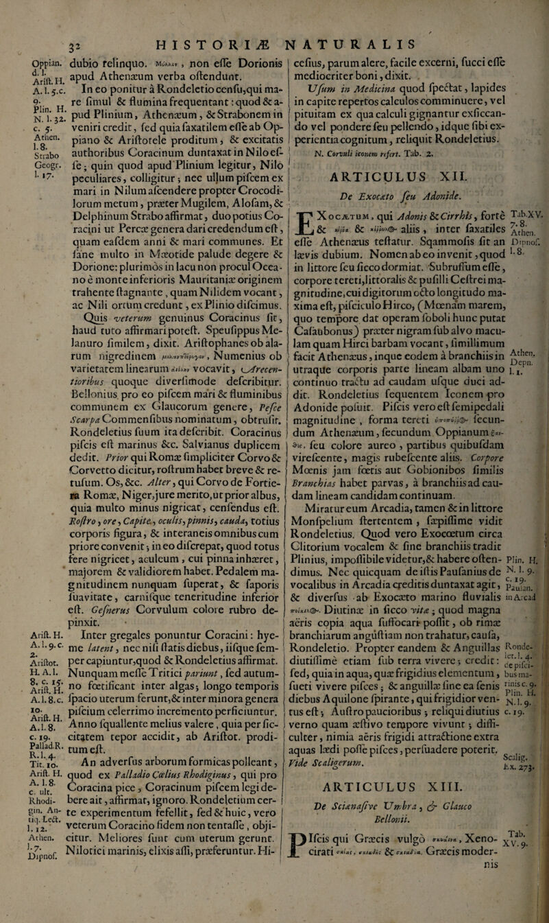 Oppian. d. 1. Arift. H. A. 1. 5.C. 9- Plin. H, N. 1. 32. c. 5. Athen. 1.8. Strabo Geogr. 1. 17- Arift. H. A. I.9. c. 2- Ariftot. H. A. 1. 8. c. i£. Arift. H. A.I.8.C. 10. Arift. H. A.l. 8. c. 19. Pallad.R. R.l.4. Tit. 10. Arift. H. A. 1.8. c. ult. Rhodi- gin. An- tiq. Le£t. I. 12. Athen. 1.7. Dipnof. dubio relinquo. non efle Dorionis apud Athenaeum verba oftendunt. In eo ponitur a Rondeletio cenfu,qui ma¬ re fimul & flumina frequentant: quod & a- ' pud Plinium, Athenaeum, &: Strabonem in veniri credit, fed quia faxatilem efle ab Op- piano &: Ariftotele proditum, & excitatis authoribus Coracinum duntaxatinNiloefi- fe; quin quod apud Plinium legitur, Nilo peculiares, colligitur; nec ullum pifcem ex mari in Nilumafcendere propter Crocodi¬ lorum metum, praeterMugilem, Alofam,& Del phinum Strabo affirmat, duo potius Co¬ racini ut Percae genera dari credendum efl, quam eafdem anni & mari communes. Et fane multo in Maeotide palude degere & Dorione: plurimos in lacu non procul Ocea¬ no e monte inferioris Mauritaniae originem trahente ftagnante , quamNilidem vocant, ac Nili ontim credunt, ex Plinio difcimus. Quis 'veterum genuinus Coracinus fit, haud tuto affirmariporeft. Speufippus Me¬ lanuro fimilem, dixit. Ariftophanesob ala¬ rum nigredinem /u&hwrrUpvyov , Numenius ob varietatem linearum eiiohyiv vocavit, (^yfrecen- tioribus quoque diveriimode defcribitur. Bellonius pro eo pifcem mari Se fluminibus communem ex Glaucorum genere, Pefce Scarpa Commenfibus nominatum, obtrufir. Rondeletius fuum ita defcribit. Coracinus pifcis eft marinus &c. Satvianus duplicem dedit. Prior qui Romae fimpliciter Corvo& Corvetto dicitur, roftrum habet breve & re- tufum. Os, &c. diter, qui Corvo de Fortie- ra Romae, Nigerqure merito,utprior albus, quia multo minus nigricat, cenfendus eft. Roflro, ore, Capite., oculis, pinnis, cauda, totius corporis figura, & interaneis omnibus cum priore convenit; ineo difcrepat, quod totus fere nigricet, aculeum , cui pinna inhaeret, majorem &: validiorem habet. Pedalem ma¬ gnitudinem nunquam fuperat, & faporis fuavitate, carnifque teneritudine inferior eft. Gefnerus Corvulum colore rubro de¬ pinxit. Inter gregales ponuntur Coracini: hye- ! me latent, nec nili flatis diebus, iifque fem- per capiuntur,quod Se Rondeletius affirmat. Nunquam mefle Tritici pariant, fed autum¬ no foetificant inter algas; longo temporis fpacio uterum ferunt,& inter minora genera pifcium celerrimo incremento perficiuntur. Anno fquallente melius valere, quia per fic- citatem tepor accidit, ab Ariftot. prodi- tumeft. An adverfus arborum formicas polleant, quod ex Palladio Ceelius Rhodiginus, qui pro Coracina pice, Coracinum pifcem legi de¬ bere ait, affirmat, ignoro. Rondeletium cer¬ te experimentum fefellit, fed & huic, vero veterum Coracino fidem non tentafie , obji¬ citur. Meliores finit cum uterum gerunt. Nilotici marinis, elixis affi, praeferuntur. Hi- cefius, parum alere, facile excerni, fucci efle mediocriter boni, dixit. XJfum in Medicina quod fpeftat, lapides in capite repertos calculos comminuere, vel pituitam ex qua calculi gignantur exficcan- do vel pondere feu pellendo, idque fibi ex¬ perientia cognitum, reliquit Rondeletius. - N. Corvuli iconem refert. Tab. 2. ARTICULUS XII. I De Exoexto feu Adonide. EXocatum, qui Adonis SzCirrhls, forte Tab.xv. tk Kifi* & aliis , inter faxatiles Athen. efle Athenaeus teftatur. Sqammofis fit an Dipnof. laevis dubium. Nomen ab eo invenit, quod 1,8‘ in littore feu ficcodormiat. Subruffumefle, corpore tereti,littoralis & pufilli Ceftrei ma- gnirudine.cui digitorum odo longitudo ma¬ xima eft, pifciculoHirco, (Moenam marem, quo tempore dat operam lbboli hunc putat Calaubonus} praeter nigram fub alvo macu¬ lam quam Hirci barbam vocant, fimillimum , facit Athenaeus, inque eodem a branchiis in Athen. f utraque corporis parte lineam albam uno 1 continuo tradu ad caudam ufque duci ad¬ dit. Rondeletius fequentem Iconem pro Adonide pofuit. Pifcis vero eft femipedali magnitudine , forma tereti ii7T07n/-f,(5)* fecun- ) dum Athenaeum,fecundum Oppianum?*'- ) «■*, feu colore aureo , partibus quibufdam virefeente, magis rubefeente aliis. Corpore Moenis jam foetis aut Gobionibos fimilis Branchias habet parvas, a branchiis ad cau¬ dam lineam candidam continuam. Miratur eum Arcadia, tamen & in littore Monfpelium ftertentem , faepiffime vidit Rondeletius. Quod vero Exocoetum circa Clitorium vocalem & fine branchiis tradit Plinius, impoffibile videtur,& habere often- Plin. H. dimus. Nec quicquam de iftis Paufanius de N-1 9- vocalibus in Arcadia creditis duntaxat agit, pa^n> & diverfus ab Exocaeto marino fluvialis inArcad 7T Oix/X®-. Diutinae in ficco yiu; quod magna aeris copia aqua fiuffbcari* poffit, ob rimae branchiarum angiiftiam non trahatur, caufa, Rondeletio. Propter eandem & Anguillas Ronde- diutiffime etiam fub terra vivere; credit: depiifa- fed, quia in aqua, quaE frigidius elementum, bus iiu- fueti vivere pifces; & anguillae fine ea fenis diebus Aquilone fpirante, qui frigidior ven- Nnf' 9 * tus eft; Auftro paucioribus •, reliqui diutius c. 19. verno quam aeftivo tempore vivunt; diffi¬ culter, nimia aeris frigidi attra£tione extra aquas laedi poflepifces. Vide Scaligerum. ARTICULUS XIII. De Scunafvc Umbra, & Glauco Bellonii. Pifcis qui Graecis vulgo Xeno- Xva ' cirati ffxLtc, & trxttfi*. Graecis moder- perfuadere poterit. Scalig. tx. 273.