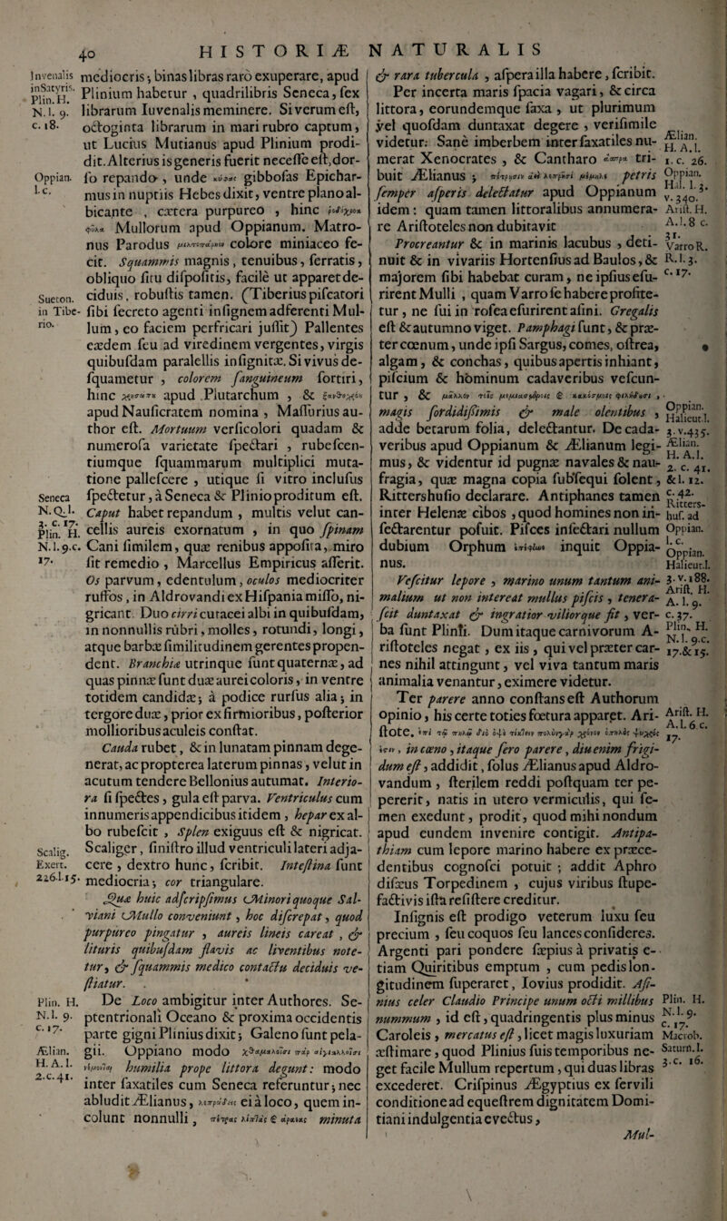HISTORIA ]n venalis inSatyris. Plin.H. N.l. 9. c. 18. Oppian. l.c. Sueton in Tibe rio. Seneca N.(Xl. 2- c. 17 Plin. H N.I.9.C 17* Scalig. Exert. 226I15 Plin. H N.l. 9. c. 17. ALlian. H. A. 1. 2.C.41. mediocris-, binas libras raro exuperare, apud Plinium habetur , quadrilibris Seneca, fex librarum Iuvenalis meminere. Si verum eft, odboginta librarum in mari rubro captum, ut Lucius Mucianus apud Plinium prodi¬ dit. Alterius is generis fuerit necefle eft,dor- fo repanda, unde gibbofas Epichar¬ mus in nuptiis Hebes dixit, ventre plano al¬ bicante , extera purpureo , hinc h*°xp°* vjk* Mullorum apud Oppianum. Matro- nus Parodus /juxnrCTrcLpHov colore miniaceo fe¬ cit. Squammis magnis , tenuibus, ferratis, obliquo firu difpofitis, facile ut apparet de¬ ciduis, robuftis tamen. (Tiberiuspifcatori - fibi fecreto agenti infignemadferenti Mul¬ lum, eo faciem perfricari juflitj) Pallentes exdem feu ad viredinem vergentes, virgis quibufdam paralellis infignitx. Si vivus de- fquametur , colorem f,'anguineum fortiri, hinc apud Plutarchum , & apud Nauficratem nomina , Mafturiusau- thor eft. Mortuum verficolori quadam & numerofa varietate fpe&ari , rubefeen- tiumque fquammarum multiplici muta¬ tione pallefcere , utique fi vitro inclufus fpedetur, a Seneca & Plinio proditum eft. Caput habet repandum , multis velut can¬ cellis aureis exornatum , in quo fpinam . Cani limilem, qux renibus appofita, miro fit remedio , Marcellus Empiricus aflerit. Os parvum, edentulum, oculos mediocriter ruffos , in AldrovandiexHifpaniamifto, ni¬ gricant. Duo cirri curacei albi in quibufdam, in nonnullis rubri, molles, rotundi, longi, atque barbx fimilitudinem gerentes propen¬ dent. Branchi* utrinque funtquaternx, ad quas pinnx funt dux aurei coloris, in ventre totidem candidx 3 a podice rurfus alia 3 in tergore dux, prior ex fi rmioribus, pofterior mollioribus aculeis conftat. Cauda rubet, & in lunatam pinnam dege¬ nerat, ac propterea laterum pinnas, velut in acutum tendere Bellonius autumat. Interio¬ ra fifpe&es, gula eft parva. Ventriculus cum innumeris appendicibus itidem , hepar ex al¬ bo rubefeit , Splen exiguus eft & nigricat. Scaliger, finiftro illud ventriculi lateri adja¬ cere , dextro hunc, feribit. Inte/Hna funt • mediocria-, cor triangulare. Jfu* huic adfcripjimus CMinori quoque Sal- yiani CAIullo conveniunt, hoc diferepat, quod purpureo pingatur , aureis lineis careat , & lituris quibufdam flavis ac libentibus note¬ tur , & fquammis medico contaclu deciduis ve- (liatur. De Loco ambigitur inter Authores. Se¬ ptentrionali Oceano & proxima occidentis parte gigni Plinius dixit 3 Galeno funt pela¬ gii. Oppiano modo humilia prope littora degunt: modo inter faxatiles cum Seneca referuntur 3 nec abludit TElianus, a loco, quem in¬ colunt nonnulli, n-tifac AiV?ac C etpasxc minutil ALlian. H. A.l. I. c. 26. NATURALIS ef rara tubercula , afperailla habere, feribit. Per incerta maris fpacia vagari, & circa littora, eorundemque faxa , ut plurimum yel quofdam duntaxat degere , verifimile videtur; Sane imberbem inter faxatiles nu¬ merat Xenocrates , & Cantharo tri¬ buit oElianus 3 wsTfinw liti Asn-pxi petris Oppian. femper afperis deletiatur apud Oppianum idem: quam tamen littoralibus annumera- Arift. H. re Ariftoteles non dubitavit a.!.8c. Procreantur &; in marinis lacubus , deti- varro R. nuit &: in vivariis Hortenfiusad Baulos,& R-i-3- majorem fibi habebat curam, neipfiusefu- c*17’ rirent Mulli , quam Varro fe habere profite¬ tur, ne fui in rofeaefurirentafini. Gregalis eft &:autumno viget. Pamphagi funt, & prx- ter ccenum, unde ipfi Sargus, comes, oftrea, • algam, & conchas, quibus apertis inhiant, pifeium & hominum cadaveribus vefcun- tur , & /UaAAoy <r«?s (£ x.tLK07fjiot( , ■ magis fordidiftimis & male olentibus , £jaheut'l adde betarum folia, dele&antur. Decada- 3.V.435. veribus apud Oppianum & ^Elianum legi- mus, &: videntur id pugnx navales&nau- 2*c. 4*1. fragia, qux magna copia fubTequi folent, &l. 12. Rittershufio declarare. Antiphanes tamen inter Helenx cibos ,quod homines non iri- huf. ad fettarentur pofuit. Pifces infe&ari nullum Oppian, dubium Orphum f TTtqlwt inquit Oppia nus. Vefcitur lepore , marino unum tantum ani malium ut non intereat mullus pifeis , tenera- ^. [. 9 fcit duntaxat & ingratior vilior que fit, ver- c. 37. ba funt PlinTi. Dum itaque carnivorum A- Plin- riftoteles negat, ex iis , qui vel prxter car¬ nes nihil attingunt, vel viva tantum maris animalia venantur, eximere videtur. Ter parere anno conftanseft Authorum opinio, his certe toties foetura apparet. Ari- ftote. *7ri tS •nnhu Sio o4'e fiitleiv sroXvvySp pgen/ov o.tjiAs; 4</A?®c *r/v, in caeno, itaque fero parere, diu enim frigi¬ dum eft, addidit, folus vElianus apud Aldro- vandum , fterilem reddi poftquam ter pe- pererit, natis in utero vermiculis, qui fe¬ men exedunt, prodit, quod mihi nondum apud eundem invenire contigit. Antipa¬ thiam cum lepore marino habere ex praece¬ dentibus cognofci potuit -, addit Aphro difxus Torpedinem , cujus viribus ftupe- fa&ivis ifta refiftere creditur. Infignis eft prodigo veterum luxu feu precium , (eu coquos feu lances confideres. Argenti pari pondere fxpius a privatis e- tiam Quiritibus emptum , cum pedis lon¬ gitudinem fuperaret, lovius prodidit. Aft- mus celer Claudio Principe unum otii millibus Pii»- H, nummum , id eft, quadringentis plus minus Caroleis , mercatus efi, licet magis luxuriam Macrob. xftimare,quod Plinius fuistemporibus ne- Satcurnig* get facile Mullum repertum, qui duas libras 3-c’ 1 excederet. Crifpinus ./Egyptius ex fervili conditione ad equeftrem dignitatem Domi¬ tiani indulgentia eve&us, 1 Mul- 1. c. Oppian- Halieur.I. 3.V.188. Arift. H. H. N.l. 9.C. 17.&15. A.l. 6c. *7-