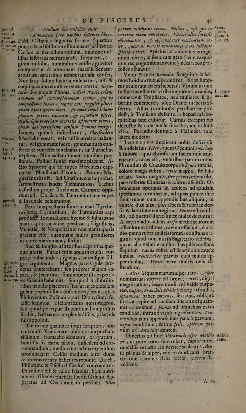 juvenal. Satyr. 4, Seneca ■Mullum fex millibus emit Miftial. 1. 2. Tumeb. Adv. 1. 14. c. 3 Juvenal. Sacyr. 5. cMiquantem fine paribus [effertia libris, f-Pubi. O&avius ingentis formx (quatuor Snecon.in pondo & ad felibram efle aiebant(a 1 iberio libv.no. (^xpare jn macellum milium, quinque mil¬ libus feftertiis mercatus eft. Idem tres, tri¬ ginta millibus nummum vxnifle , graviter conqueritur «5c annonam macelli Senatus arbitratu quotannis temperandam cenfet, Nec fatis foluta luxuria videbatur , nifi Sc coqui maximo conducerentur pretio. Repu- Plui. II. t it(0 y (C inqUic Plinius, aufert tranfverfum ,7_ ^ animum ad contemplationem eorum , qui in canquefione luxus , coquos emi fingiflos pluris quam equos queritabant. At nunc coqui trium¬ phorum pretiis parantur, (fi coquorum pijces. Ifiullufque prope jam mortalis a [limatur pluris, quam qui peritifime cenfum Domini mergit. Lances quibus inferebatur , Chrifendeta Martialis vocac, vel cruftis aureis ornaban¬ tur; vel gemmatae fuere; gemmas auro con- fertx & conteftx tenebantur, ut Turnebus explicat. Non eadem tamen omnibus prx- ftantia. Polluci Ionici maxime placent. A- £tio Syncero qui ad rupes Herculeas capi¬ untur. Nauficrati AExonici: Tsxonia Ma- gnefix urbs eft: fed Cratinus eos improbae* Archeftratus laudat Tichuntinos •, Tichus caftellum prope Tachinam Campix oppi¬ dum eft. Corficx & Taurominitanx rupes a Iuvenale celebrantur. Perothus prxftantifflmos in mari Tyrrhe¬ no juxta Corniculum , Tarquinios capi prodidiP. IoviusRpmxhyeme& fuburbano mari captos maxime praedicari; Ligufticis, Venetis, & Neapolitanis non eamfaporis gratiam efle, quanquam multo grandiores in convivia veniant, feribit. Sed & longius ilittoribus captis fuaquo¬ que gloria. Purior enim aqua in caufa, cor¬ poris rubicundus , igneus , aureufque ful- Galeo.de g0r argumento. Magnas parvis gulae pro- fecukJ^*. ceres praeferebant, feu propter majora ca- Achias 1. pita ■> &: jecinora; fummopereifta expetita z- c. 79. ex Galeno habemus: feu quod itafubtilio- ribus pabulis placeret; feu ut inexplebilem gulam preciofiflimo oblonio explerent, quas Philoxenum Poetam apud Dionyfium fe- cifle legimus. Heliogabalus non integros, fed quod praecipue ftupendum Lampridius feribit i barbas eorum plenis difeis, palatinis luisappofuit. De carnis qualitate inter feriptores non convenit. Xenocrates obfoniorumprxftan- tilfimum , ftomacho idoneum , ori gratum , boni fucci, carne plana, difficilem ad cor¬ rumpendum , mediocrem ad excernendum pronunciavit. Celfus medium inter duras & teneras carnes habentes reponir. Diocli, Philotimo & Pfejlo difficulter concoquitur. Duriflima eft &z valde friabilis, boni nutri¬ menti > fi bene concodta fuerit, Galeno. Ap¬ paratus ad Oeconomiam pertinet. Olim parum videbatur recens Mullus , nifi qui in Seneca conviva manu moreretur. Vitreis ollis inclufis ^uu ' ]. offerebantur ; (fi obfervabatur morientium co- 3. c. 17. lor , quem in mult is mutationes mors lucrante fpiritu vertit. Apicius ad omne luxus inge¬ nium mirus, in lociorum garo (nam ea quo¬ que res cognomen invenit^ necari eos praz- cellens putavit. Venit fk inter Remedia. Sanguinis &hx- morrhoidum fluxus promovet. Sxpe fump- tus oculorum aciem hebetat, Vinum in quo fuffocatuseftinter virilis impotentixcaulas, Imporen- numeravit Trepfiates, nec mulieres fi bi- uaviulls- berint concipere ; ideo Dianx in facris of¬ fertur. Affus torminofis peculiariter pro- deft, a Tralliano dyfenteria hepatica labo¬ rantibus prxfcribitur. Carnes ex capitibus decodtx Sc cum meile fubadtx, ani tollunt vitia. Percuflis denique a Paflinaca cum lafere medetur. Imberbem duplicem nobis defcripfit Rondeletius. Prior, quem Occitani imbnago a rubore , quo ebrioforum facies inficitur, vocant , rarus eft , veteribus parum notus. Hirundini & Cuculo corporis figura fimilis, colore magis rubro, capite magno, ftellulis cxlato. Oculis magnis. Ore parvo, edentulo, pars inferior Cinnabaris colore inficitur. Os branchias operiens in aculeos ad caudam fpe&antes terminatur, ad quas pinnas dux funt rubrx cum appendicibus aliquot, in ventre dux alix. Cute afpera & rubra in dor- fo & lateribus contegitur. Ventre eft candi¬ do , ad quem e dorfo linex multx ducuntur. A capite ad caudam dorfo medio acutorum ofticulorum ordines, cavum efficiunt; e me¬ dio pinna rubra aculeis ferratis conflans eri¬ gitur, quod non nifi in Sagittario videbis; quam alia veluci e mollioribus pilis conflans fequitur. Cauda rubra eft Scorpionis caudx fimilis. Pentriculus parvus cum multis ap¬ pendicibus. Venter vere multis ovis di- ftenditur. aditer afquammarumafperitate, (Mfier nominatus, corpore eft brevi, tereti,digiti magnitudine, colore minii vel valde purpu¬ reo. Capite, Branchiis,pinnis deferipto fimilis, fquammas habet parvas, ferratas, oblique litas, a capite ad caudam lineam ex fquam- mis contextam , pinnas ad branchias extra candidas, intra ex viridi nigrefeentes. Ven¬ triculum cum appendicibus paucis parvum, . hepar candidum, &fine felle. Splenem par¬ vum ex‘rubro nigricantem. Diverfus ab hoc Aldrovandi afper Mullus Aldrov. 1 efi, ut pote totus fere ruber, capite aureis Hlllor* cancellis ornatus, in vertice aculeatus, dor¬ fo planus & af per, ventre candicans, bran¬ chiarum cxruleis ftriis pidfiis , extera fla- vefcens. F A r-