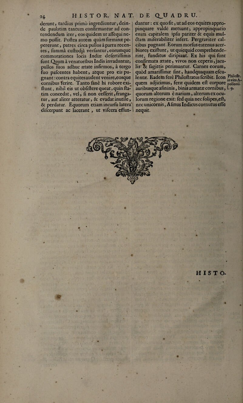 deruntj tardius primo ingrediuntur , dein- I de paulatim tantum confirmantur ad con¬ tendendum iter, eos quidem ut aflequi ne¬ mo pollit. Poftea autem quamfoeminaspe- pererunt, patres circa pullos a partu recen¬ tes, furama cuftodia verlantur,eorumque commorationes locis Indias defertillimis funt.Q^m d venatoribus Indis invaduntur, pullos fuos adhuc astate infirmos, a tergo fiio pafcentes habent, atque pro eis pu¬ gnant : contra equites audent venire,eosque cornibus ferire. Tanto fane hi robore exi- ftiint, nihil eis ut obfifterequeat,quinfta- tim concedat, vel, fi non ceflerit, franga¬ tur, aut aliter atteratur, &c e vadat inutile, & perdatur. Equorum etiam incurfu latera’ difcerpunt ac lacerant , ut vifcera efFun- I dantur; ex quo fit, ut ad eos equites appro¬ pinquare valde metuant i appropinquatio enim capitalem ipfis pariter & equis miil- dbam miferabiliter infert. Pergraviter cal¬ cibus pugnant. Eorum morfus eatenus acer¬ biores exiftunt, ut quicquid comprehende¬ rint, funditus diripiant. Ex his qui funt confirmata aerate, vivos non ceperis,jacu¬ lis*^ fagittis perimuntur. Carnes eorum, quod amariflim^ fint, haudquaquaim efeu- lentae. Eadem fere Philoftratus feribit. Icon quem adjicimus, ferae quidem eft corpore auribusque afininis, binis armatae cornibus, quorum alterum e narium, alterum ex ocu¬ lorum regione exit: fed quia nec folipes,eft, nec unicornis, Afinus Indicus cornutus efle nequit. 0- HIS T O- Philoftr. invitaA- pollonii- I. 9. ]