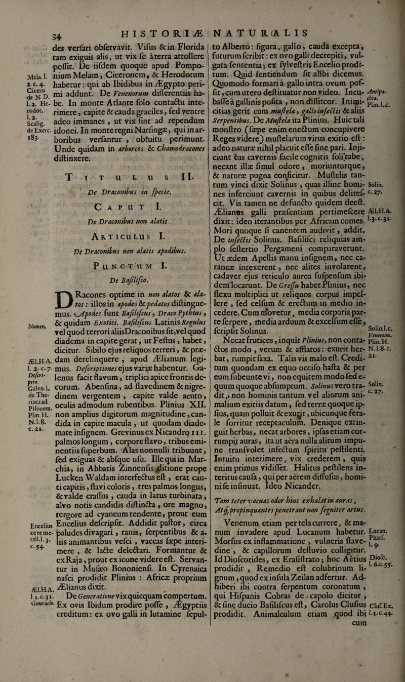 des verfari obfervavit. Vifus &in Florida tam exiguis alis, ut vix fe aterra attollere pollic. De iifdem quoque apud Pompo- Mek. 1. nium Melam, Ciceronem, & Herodotum ^5*4- habetur: qui ab Ibidibus in^gypto peri- dc N^^D. addunt. De Venenorum differentiis ha- \.z. He- be. In monte Atlante folo contadtu inte- rodot. rimere, capite & cauda graciles, fed ventre silig. adeo immanes , ut vix fmt ad rependum deExerc. idonei. In monte regni Narfingsc, quiinar- boribus veriantur , obfuitu perimunt. Unde quidam in arboreos &c Chamodracones diffinxere. T ituLUs Ii. De Draconibus in fpecie. C A P U T I. De Draconibus non alatis. Articulus L Ve Draconibus non alatis apodibus. Punctum I. De Bajilifco. DRacones optime in non alatos & ala.~ tos: illos in apodes&c.pedatosJ^\^in^\Jit- mus. K^podes funt Bafilifcus, Draco Pythius j Uomtn & quidam Bajilifcus Regulus vel quod terrori aliis Dracon ibus fit, vel quod diadema in capite gerat, ut Feftus, habet, dicitur. Sibilo ejus reliquos terreri, & prx- 7E1.H A. dam derelinquere , apud iElianum legi- 1.2. c.?. mus. ejus varipehabentur. Ga- lenus facit flavum, triplici apice frontis de- Sen.1. eorum. Abenfina, ad flaveainem&nigre- deThe- dinem vergentem , capite valde acuto, p^Siera. oculis admodum rubentibus. Plinius XII. piin.H. non amplius digitorum magnitudine,can- N1 8. capite macula , ut quodam diade- mateinfignem. GrevinuscxNicandroiii. palmos longum, corpore flavo, tribus emi¬ nentiis fuperbum. 'Alas nonnulli tribuunt, fed exiguas & abfque ufu. Ille qui in Mar- chia, in Abbatis Zinnenfis ^itione prope Lucken Waldaminterfeftuseft , erat cau¬ ti capitis, flavi coloris, tres palmos longus, & valde craflus , cauda in latus turbinata, alvo notis candidis diftindla , ore magno, tergore ad cyaneum tendente, prout eum Encelius Encclius defcripfit. Addidit paftor, circa ccremc- paludesdivagari, ranis, ferpentibus & a- taii.1.3. liis animantibus vefei , vaccas faepe jnteri- mere , & lafte deledari. Formantur & exRaja, prout ex icone videreeft. Servan¬ tur in Mufeo Bononienfi. In Cyrenaica nafei prodidit Plinius : Africas proprium JE.1.H.A. ^lianus dixit. Ivc.ji. De vix quicquam compertum. Cmeratto. £3^ Ibidum prodirc pofle , .^gyptiis creditum: ex ovo galli in lutamine fepul- toAlbcrto; figura, gallo, cauda excepta, fiiturumfcribit: ex ovo galli decrepiti, vul¬ gata fententia j ex fylveftrisEnceiio prodi¬ tum. Quid fentiendum fit alibi dicemus. Quomodo formari a gallo intra ovum pof- fit, cum utero deftituatur non video. Incu- bafle a gallinis pofita , non diffiteor. Inirpi- pifjj citias gerit cura mu^eU, gallo inferis &c aliis Serpentibus. De Muftela ita Plinius. Huic tali monftro ffepe enim eneftum concupivere Reges videre^ muftelarum virus exitio eft: adeo naturae nihil placuit efle fine pari. Inji¬ ciunt eas cavernis facile cognitis folftabe, necant ill^ fimul odore , moriunturque, & naturae pugna conficitur. Muftclis tan¬ tum vinci dixit Solinus , quas illinc homi- Solin. nes inferciunt cavernis in quibus delitet^'^7* cit. Vis tamen ne defun£to quidem deeft. >^^lianiis galli praefentiam pertimefccre jEI.h.a. dixit: ideo iterantibus per Africam comes. Mori quoque fi canentem audivit, addit. De inferis Solinus. Bafilifci reliquias am¬ plo feftertio Pergameni comparaverunt. Ut aedem Apellis manu infignem, nec ca- raneiE intexerent, nec alites involarent, cadaver ejus reticulo aurea fufpenfum ibi- dem locarunt. De habet Plinius, nec flexu multiplici ut reliquos corpus impel¬ lere , fed celfum & eredum in medio in¬ cedere. Cum m*ovetur, media corporis par¬ te ferpere, media arduum & excelfum efle, fcripfit Solinus. Necat frutices, inquit Phmusy non conta- pun.H. dos modo , verum & afflatos: exurit her- N.1.8 c. bat, rurapirfaxa. Talis vis malo eft. Credi- tum quondam ex equo occifo hafta & per eum fubcunte vi, non equitem modo fed e- quura quoque abfumptum. Solinus veto tra- SoHn. dit,vnon hominis tantum vel aliorum ani- malium exitiis datum, fed terrse quoque ip- fius, quam polluit &exujjjt, ubicunque fera¬ le forritur receptaculum. Denique extin- guit herbas, necat arbores, ipfas etiam cor¬ rumpat auras, ita ut aera nulla alitum impu¬ ne rranfvolet infedum fpiritu peftilenti. Intuitu interimere, vix crederem, quis enim primus vidifTct. Halitus peftilens in¬ teritus caiifa , qui per aerem diffufiis, homi- nifeinfinuat. Ideo Nicander. Tam teter vacuas odor hinc exhalat in auras, Aty^propincjuantes penetrant non fegniter artus. Venenum etiam per tela currere, & ma¬ num invadere apud Lucanum habetur. Lucan. Morfus ex inflammatione , vulneris flave- j ' dine , & capillorum defluvio colligitur. Id Diofeorides, ex Erafiftratoj hoc Aetius -Ojolc* prodidit , Remedio eft colubrinum li- ‘ ' gnum, quod ex infula Zeilan adfertur. Ad¬ hiberi ibi contra ferpentum coronatum , qui Hifpanis Cobras de • capolo dicitur , & fine ducio Bafilifcus eft, Carolus Clufius cluf.Ex. prodidit. Animalculum etiam .quod ibi J i c-44- cum