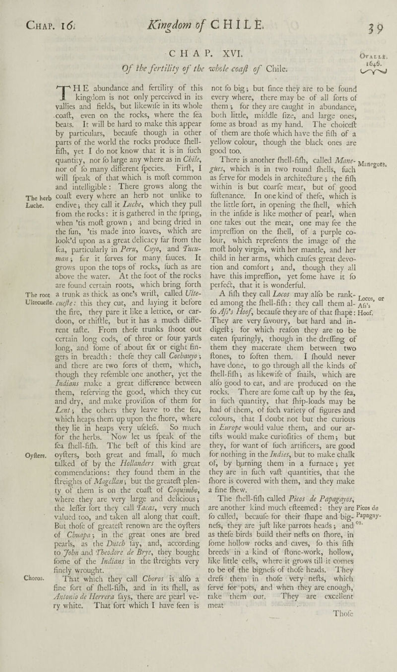 CHAP. XVI. Of the fertility of the whole coaf of Chile. TH E abundance and fertility of this kingdom is not only perceived in its vallies and fields, but likewifc in its whole coaft, even on the rocks, where the fea beats. It will be hard to make this appear by particulars, becaufe though in other parts of the world the rocks produce fhell- fifli, yet I do not know that it is in fuch quantity, nor fo large any where as in Chile,, nor of fo many different fpecies. Firft, I will fpeak of that which is moft common and intelligible : There grows along the The herb coaft every where an herb not unlike to Luche. endive; they call it Liiche,, which they pull from the rocks: it is gathered in the Ipring, when ’tis moft grown ; and being dried in the fun, ’tis made into loaves, which are look’d upon as a great delicacy far from the fea, particularly in Peru, Cuyo, and ’Pucu- man; fcr it ferves for many ftuces. It grows upon the tops of rocks, luch as are above the water. At the foot of the rocks are found certain roots, which bring forth The root a trunk as thick as one’s wrift, called Ulte- Ultecuelle. ; this they cut, and laying it before the fire, they pare it like a lettice, or car- doon, or thiftle, but it has a much diffe¬ rent tafte. From thefe trunks fhoot out certain long cods, of three or four yards long, and fome of about fix or eight fin¬ gers in breadth : thefe they call Coehauyo; and there are two forts of them, which, though they refemble one another, yet the Indians make a great difference between them, referving the good, which they cut and dry, and make provifion of them for Lent-, the others they leave to the fea, which heaps them up upon the fhore, where they lie in heaps Very ufelefs. So much for the herbs. Now let us fpeak of the fea fliell-fifli. The beft of this kind are Oyllers. oyfters, both great and fmall, fo much talked of by the Hollanders with great commendations: they found them in the ftreights of Magellan-, but the greateft plen¬ ty of them is on the coaft of Coquimbo, where they are very large and delicious; the leffer fort they call Lacas, very much valued too, and taken all along that coaft. But thofe of greateft renown are the oyfters of Chiiapa-, in the great ones are bred pearls, as the Dutch fay, and, according to John and Theodore de Brye, they bought fome of the Indians in the ftreights very finely wrought. Chores. That which they call Choros is alfo a fine fort of fliell-fifh, and in its fbell, as Antonio de Herrera fays, there are pearl ve¬ ry white. That fort which I have feen is Ova l le, 1646. not fo big; but fince they are to be found every where, there may be of all forts of them ; for they are caught in abundance, both little, middle fize, and large ones, fome as broad as my hand. The choiceft of them are thofe which have the fiOi of a yellow colour, though the black ones are good too. There is another fhell-fiff-i, called Mane- giies, which is in two round fhells, fuch as ferve for models in architedfure ; the fiOi within is but coarfe meat, but of good fuftenance. In one kind of thefe, which is the little fort, in opening the ftiell, which in the infide is like mother of pearl, when one takes out the meat, one may fee the imprelTion on the fhell, of a purple co¬ lour, which reprefents the image of the moft holy virgin, with her mantle, and her child in her arms, which caufes great devo¬ tion and comfort; and, though they all have this impreflion, yet fome have it fo perfedl, that it is wonderful. A fiffi they call Locos may alfo be rank- r ed among the fhell-fiffi: they call them al- ^fs’s ’ foAJfs Hoof, becaufe they are of that fhape: Hoof. They are very favoury, but hard and in- digeft; for which reafon they are to be eaten fparingly, though in the drelfing of them they macerate them between two ftones, to foften them. I flrould never have done, to go through all the kinds of fhell-fifh; as likewife of fnails, which are alfo good to eat, and are produced on the rocks. There are fome caft up by the fea, in fuch quantity, that fliip-loads may be had ot them, of fuch variety of figures and colours, that I doubt not but the curious in Europe would value them, and our ar- tifts would make curiofities of them; but they, for want of luch artificers, are good for nothing in the Indies, but to make chalk of, by b.urning them in a furnace; yet they are in fuch vaft quantities, that the fhore is covered with them, and they make a fine fhew. The fhell-fifli called Picos de Papagayos, are another kind much efteemed: they are Picos da fo called, becaufe for their fhape and big- Papagay- nefs, they are juft like parrots heads; and as thefe birds build their nefts on fhore, in fome hollow rocks and caves, fo this filh breeds in a kind of ftone-work, hollow, like little cells, where it grows till it comes to be of the bignefs of thofe heads. I'hey drefs them in thofe very nefts, which ferve for pots, and when they are enough, take them our. They are excellent meat Thofe