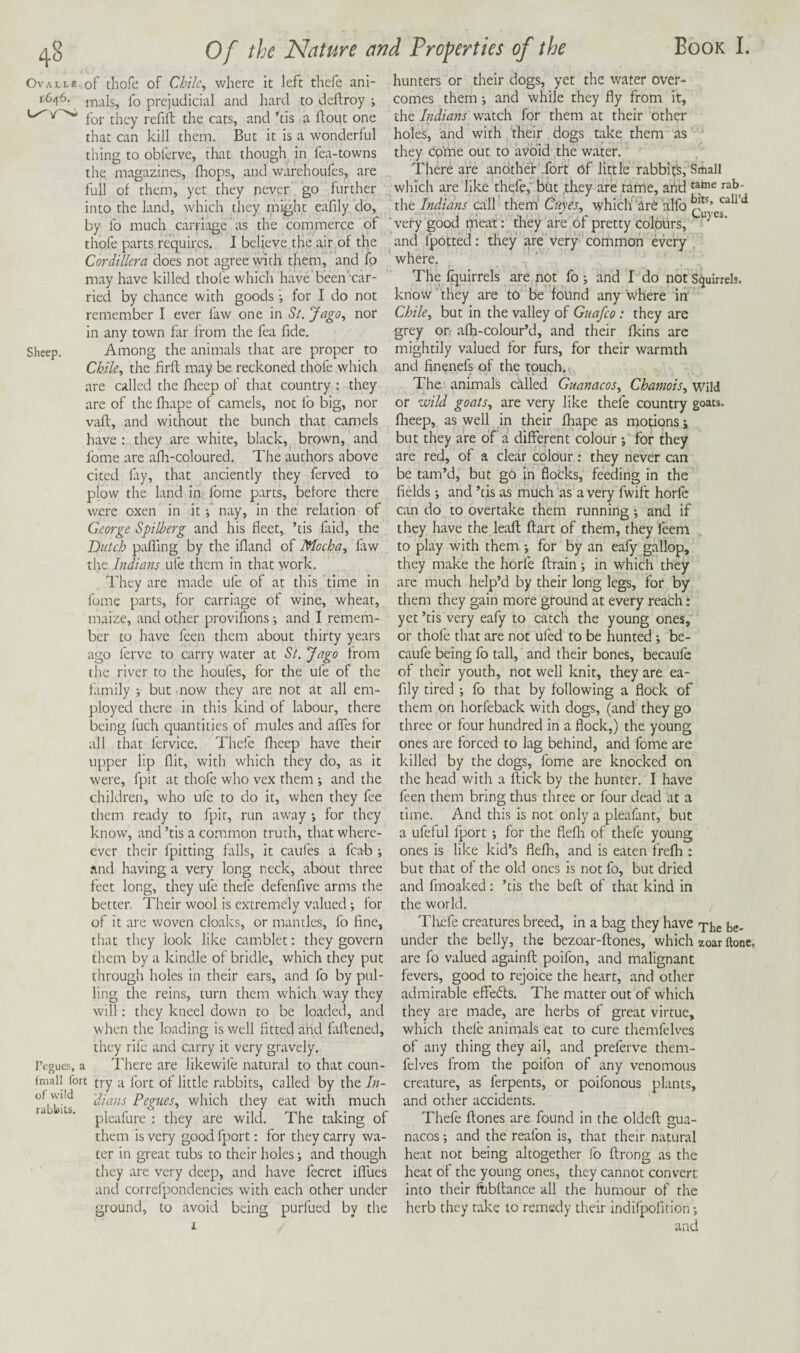 OvALLE-of thofc of Chile, where it left thefe ani- 1646. inals, fo prejudicial and hard to deftroy j for they refill: the cats, and ’tis a flout one that can kill them. But it is a wonderful thing to obferve, that though in fca-towns the. magazines, (hops, and warehoufes, are . full of them, yet they never go further into the land, which they might eafily do, by fo much carriage as the commerce of thofe parts requires. I believe the air of the Cordillera does not agree with them, and fo may have killed thofe which have been' car¬ ried by chance with goods; for I do not remember I ever law one in St. Jago, nor in any town far from the fea fide. Sheep. Among the animals that are proper to Chile, the firfl may be reckoned thofe which are called the fheep of that country : they are of the fhape of camels, not fo big, nor vafl, and without the bunch that camels have : they are white, black, brown, and fome are afit-coloured. The authors above cited fay, that anciently they ferved to plow the land in fome parts, before there were oxen in it nay, in the relation of George Spilherg and his fleet, ’tis faid, the Dutch pafling by the ifland of Mocha, ftw the Indians ufe them in that work. I'hey are made ufe of at this time in fome parts, for carriage of wine, wheat, maize, and other provifions; and I remem¬ ber to have feen them about thirty years ago ferve to carry water at St. Jago from the river to the houfes, for the ufe of the family but now they are not at all em¬ ployed there in this kind of labour, there being fuch quantities of mules and aflfes for all that fervice. Thefe fheep have their upper lip flit, with which they do, as it were, fpit at thofe who vex them ; and the children, who ufe to do it, when they fee them ready to fpit, run away •, for they know, and ’tis a common truth, that where- ever their fpitting falls, it caufes a fcab ; and having a very long neck, about three feet long, they ufe thefe defenfive arms the better. Their wool is extremely valued •, for of it are woven cloaks, or mantles, fo fine, that they look like camblet: they govern them by a kindle ot bridle, which they put through holes in their ears, and fo by pul¬ ling the reins, turn them which way they will ; they kneel down to be loaded, and when the loading is well fitted and laftened, they rife and carry it very gravely. Pegues, a I'here are likewife natural to that coun- try a fort of little rabbits, called by the/«- dians Pegues, which they eat with much pleafure : they are wild. The taking of them is very good fport: for they carry wa¬ ter in great tubs to their holes; and though they are very deep, and have fecret ilfues and correi'pondencies with each other under ground, to avoid being purfued by the of wild rabli>its. hunters or their dogs, yet the water over¬ comes them i and while they fly from it, the Indians watch for them at their other holes, and with 'their dogs take them as they come out to avoid the water. There are another Tort of little rabbifs, SrtialI which are like thefe,” but .they are tame, artd the Indians call' them' Cuyes, which 'ar6 alfo Igj ^ very good meat: they are of pretty colours, ^ and fpotted: they are very common every where. The Iquirrels are not fo •, and I do not Squirrels, know they are to be found any'where in' Chile, but in the valley of Guafeo: they are grey or afh-colour’d, and their fkins are mightily valued for furs, for their warmth and finenefs of the touch. The animals called Guanacos, Chamois, wild or jaild goats, are very like thefe country goats, flieep, as well in their fhape as motions j but they are of a different colour 5 for they are red, of a clear colour: they never can be tam’d, but go iri floCks, feeding in the fields; and ’tis as much as a very fwift horfe can do to overtake them running ; and if they have the leaft ftart of them, they feem to play with them *, for by an eafy gallop, they make the horfe drain; in which they are much help’d by their long legs, for by them they gain more ground at every reach: yet ’tis very eafy to catch the young ones, or thofe that are not ufed to be hunted ; be- caufe being fo tall, and their bones, becaule of their youth, not well knit, they are ea¬ fily tired ; fo that by following a flock of them on horfeback with dogs, (and they go three or four hundred in a flock,) the young ones are forced to lag behind, and fome are killed by the dogs, fome are knocked on the head with a flick by the hunter. I have feen them bring thus three or four dead at a time. And this is not only a pleafant, but a ufeful fport •, for the fiefli of thefe young ones is like kid’s flefh, and is eaten frefli: but that of the old ones is not fo, but dried and fmoaked; ’tis the bed of that kind in the world. Tliefe creatures breed, in a bag they have {,5. under the belly, the bezoar-dones, which zoar ftone. are fo valued againd poifon, and malignant fevers, good to rejoice the heart, and other admirable effebts. The matter out of which they are made, are herbs of great virtue, which thefe animals eat to cure themfelves of any thing they ail, and preferve them¬ felves from the poifon of any venomous creature, as ferpents, or poifonous plants, and other accidents. Thefe dones are found in the olded gua¬ nacos ; and the reafon is, that their natural heat not being altogether fo drong as the heat of the young ones, they cannot convert into their ftibdance all the humour of the herb they take to remedy their indifpofition;