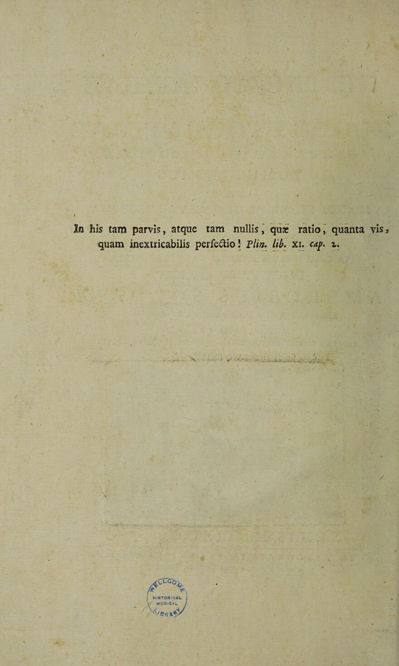 I i ) In his tam parvis, atque tam nullis, quae ratio, quanta vis, quam inextricabilis perfodio J Flui. lib. xr. caj&gt;. z. t V /