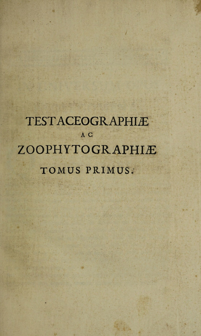 A C ZOOPHYTOGRAPHLE TOMUS PRIMUS. ,/ ,