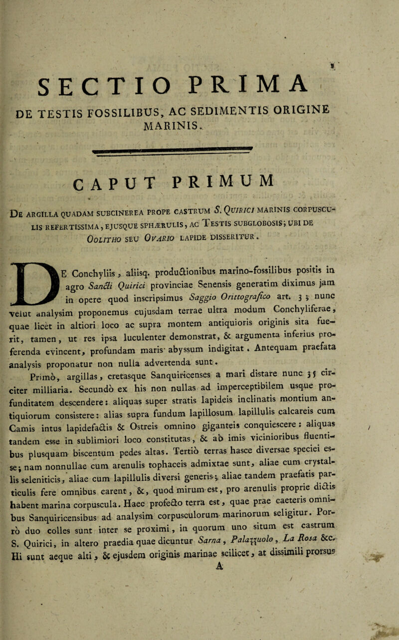 DE TESTIS FOSSILIBUS, AC SEDIMENTIS ORIGINE MARINIS. CAPUT PRIMUM De argilla quadam suecinerea prope castrum S. Qvibici marinis corpuscu¬ lis REFERTISSIMA, EJUSQUE SPHARULIS, AC TeSTIS SUBGL0B0S1S, UBI DE Oolithq seu Ovario lapide disseritur . DE Conchyliis , aliisq. productionibus marino-fossilibus positis in agro Sancli Quiriti provinciae Senensis generatim diximus jam in opere quod inscripsimus Saggio Orittografico art. 3 y nunc veiut analysim proponemus cujusdam terrae ultra modum Gonchyliferae, quae licet in altiori loco ac supra montem antiquioris originis sita fue¬ rit, tamen, ut res ipsa luculenter demonstrat, & argumenta inferius pro¬ ferenda evincent, profundam maris- abyssum indigitat. Antequam praefata analysis proponatur non nulla advertenda sunt . Primo, argillas, cretasque Sanquiricenses a mari distare nunc 3 f cir¬ citer milliaria. Secundo ex his non nullas ad imperceptibilem usque pro¬ funditatem descendere: aliquas super stratis lapideis inclinatis montium an¬ tiquiorum consistere: alias supra fundum lapillosum. lapillulis calcareis cum Camis intus lapidefadis & Ostreis omnino giganteis conquiescere : aliquas tandem esse in sublimiori loco constitutas, & ab imis vicinioribus fluenti¬ bus plusquam biscentum pedes altas. Tertio terras hasce diversae speciei es¬ se; nam nonnullae cum arenulis tophaceis admixtae sunt, aliae cum crystal- lis’seleniticis, aliae cum lapillulis diversi generis; aliae tandem praefatis par¬ ticulis fere omnibus carent , &, quod mirum est, pro arenulis proprie didis habent marina corpuscula. Haec profedo terra est, quae prae caetens omni¬ bus Sanquiricensibus ad analysim corpusculorum marinorum seligitur. Por¬ ro duo colles sunt inter se proximi, in quorum uno situm est castrum S. Quirici, in altero praedia quae dicuntur Sarna, Palaftuolo, La Rosa &c. Hi sunt aeque alti, & ejusdem originis marinae scilicet, at dissimili prorsus A