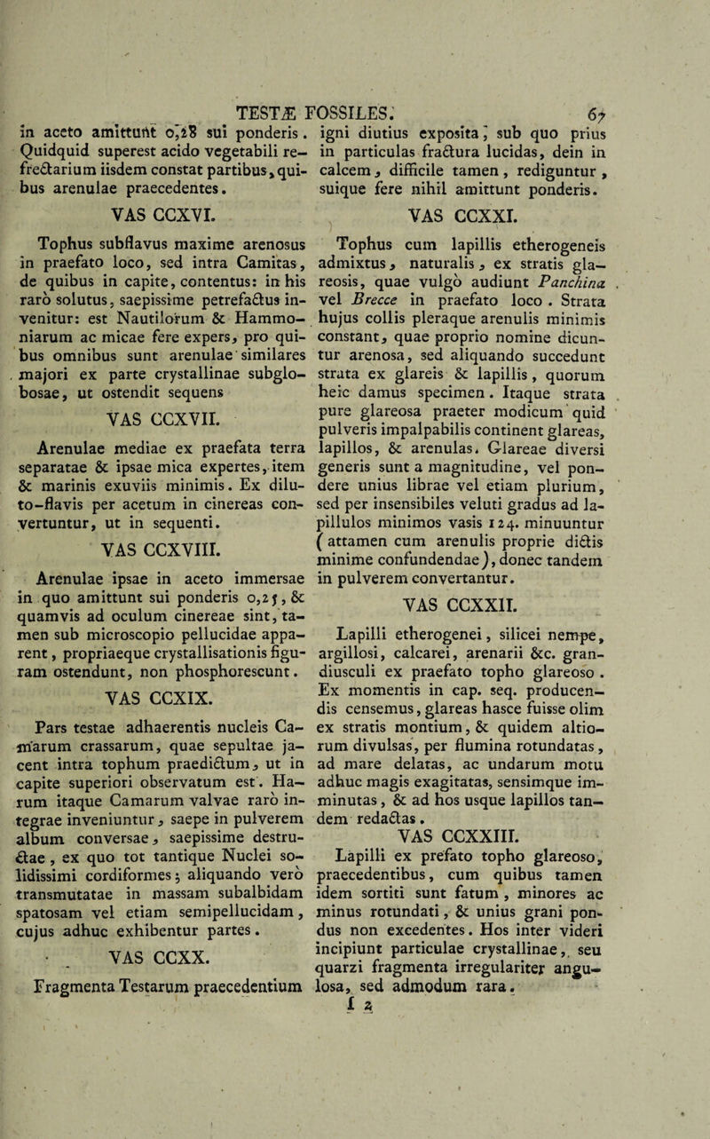 in aceto amitturtt 0sui ponderis. Quidquid superest acido vegetabili re- fre&amp;arium iisdem constat partibus^ qui¬ bus arenulae praecedentes. VAS CCXVL Tophus subflavus maxime arenosus in praefato loco, sed intra Camitas, de quibus in capite, contentus: in his raro solutus, saepissime petrefa&amp;us in¬ venitur: est Nautilorum &amp; Hammo- niarum ac micae fere expers* pro qui¬ bus omnibus sunt arenulae similares , majori ex parte crystallinae subglo- bosae, ut ostendit sequens VAS OCXVII. Arenulae mediae ex praefata terra separatae &amp; ipsae mica expertes, item &amp; marinis exuviis minimis. Ex dilu- to-flavis per acetum in cinereas con¬ vertuntur, ut in sequenti. VAS CCXVIII. Arenulae ipsae in aceto immersae in quo amittunt sui ponderis o,2j,&amp;c quamvis ad oculum cinereae sint, ta¬ men sub microscopio pellucidae appa¬ rent , propriaeque crystallisationis figu¬ ram ostendunt, non phosphorescunt. VAS CCXIX. Pars testae adhaerentis nucleis Ca¬ marum crassarum, quae sepultae ja¬ cent intra tophum praedidtum* ut in capite superiori observatum est. Ha¬ rum itaque Camarum valvae raro in¬ tegrae inveniuntur * saepe in pulverem album conversae* saepissime destru- £tae , ex quo tot tantique Nuclei so¬ lidissimi cordiformes; aliquando vero transmutatae in massam subalbidam spatosam vel etiam semipellucidam, cujus adhuc exhibentur partes. • _ VAS CCXX. Fragmenta Testarum praecedentium igni diutius exposita; sub quo prius in particulas fra&amp;ura lucidas, dein in calcem * difficile tamen , rediguntur , suique fere nihil amittunt ponderis. VAS CCXXI. ) ' Tophus cum lapillis etherogeneis admixtus * naturalis * ex stratis gla¬ reosis, quae vulgo audiunt Panchina vel Brecce in praefato loco . Strata hujus collis pleraque arenulis minimis constant* quae proprio nomine dicun¬ tur arenosa, sed aliquando succedunt strata ex glareis &amp;: lapillis, quorum heic damus specimen. Itaque strata pure glareosa praeter modicum quid pulveris impalpabilis continent glareas, lapillos, &amp; arenulas* Glareae diversi generis sunt a magnitudine, vel pon¬ dere unius librae vel etiam plurium, sed per insensibiles veluti gradus ad la¬ pillulos minimos vasis 124. minuuntur ( attamen cum arenulis proprie di&amp;is minime confundendae), donec tandem in pulverem convertantur. VAS CCXX1I. Lapilli etherogenei, silicei nempe, argillosi, calcarei, arenarii &amp;c. gran¬ diusculi ex praefato topho glareoso . Ex momentis in eap. seq. producen¬ dis censemus, glareas hasce fuisse olim ex stratis montium, &amp;: quidem ahio¬ rum divulsas, per flumina rotundatas, ad mare delatas, ac undarum motu adhuc magis exagitatas, sensimque im¬ minutas , &amp; ad hos usque lapillos tan¬ dem reda&amp;as. VAS CCXXIII. Lapilli ex prefato topho glareoso, praecedentibus, cum quibus tamen idem sortiti sunt fatum , minores ac minus rotundati, &amp; unius grani pon¬ dus non excedentes. Hos inter videri incipiunt particulae crystallinae, seu quarzi fragmenta irregulariter angu¬ losa, sed admodum rara. I a