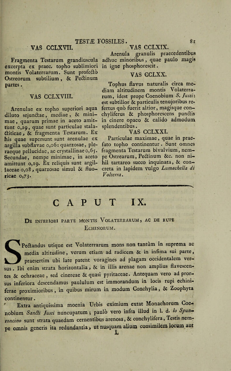 VAS CCLXVII. Fragmenta Testarum grandiuscula excerpta ex praec. topho sublimiori montis Volaterrarum. Sunt profe&amp;o Ostreorum subtilium, Sc Pe&amp;inum partes. VAS CCLXVIIX. Arenulae ex topho superiori aqua diluto sejun&amp;ae, mediae , Sc mini¬ mae , quarum primae in aceto amit¬ tunt 0,29, quae sunt particulae stala- diticae., 8t fragmenta Testarum. Ex his quae supersunt sunt arenulae ex argilla subflavae 0,06: quarzosae, ple- raeque pellucidae, ac crystallinae0,65. Secundae, nempe minimae, in aceto amittunt 0,19. Ex reliquis sunt argil¬ laceae 0,08 3 quarzosae simul St fluo- ricae 0,73. VAS CCLXIX. Arenula granulis praecedentibus adhuc minoribus, quae paulo magis in igne phosphorescit. VAS GGLXX. Tophus flavus naturalis circa me¬ diam altitudinem montis Volaterra¬ rum, idest prope Coenobium S. Justix est subtilior St particulis tenujoribus re¬ fertus quo fuerit altior, magisque con- chyliferus St phosphorescens pundis in cinere opaco St calido admodum splendentibus. VAS CCLXXI. Particulae maximae, quae in prae¬ fato topho continentur. Sunt omnes fragmenta Testarum bivalvium, nem¬ pe Ostrearum, Pedinum &amp;c. non ni¬ hil tartareo succo inquinata, St con¬ creta in lapidem vulgo Lumachella di Volterra. CAPUT IX. -/ • .v . / ' ; De inferiori parte montis Volaterrarum, ac de rupe Echinorum. S Pedandus utique est Volaterrarum mons non tantum in suprema ac media altitudine, verum etiam ad radicem St in infima sui parte, praesertim ubi late patent voragines ad plagam occidentalem ver¬ sus . Ibi enim strata horizontalia, St in illis arenae non amplius flavescen¬ tes St ochraceae, sed cinereae &amp; quasi pyritaceae. Antequam vero ad pror¬ sus inferiora descendamus paululum est immorandum in locis rupi echini- ferae proximioribus, in quibus mirum in modum Conchylia, St Zoophyta continentur. ' Extra antiquissima moenia Urbis eximium extat Monachorum Coe¬ nobium Sanat Justi nuncupatum 5 paulo vero infra illud in 1. d. Io Spun^ toncino sunt strata quaedam cernentibus arenosa, St conchylifera, Testis nem¬ pe omnis generis ita redundantia * ut nusquam alium consimilem locum aut Ii