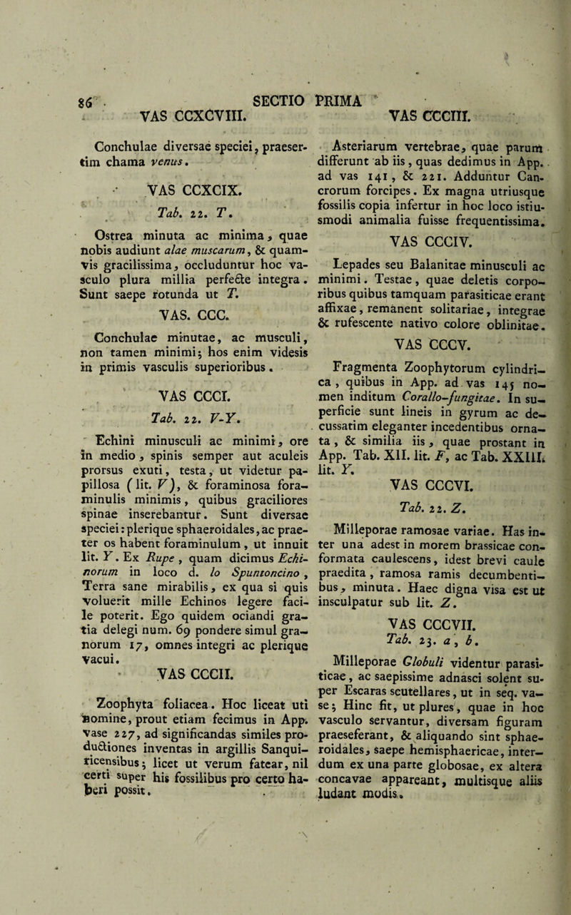 \ S6 • SECTIO PRIMA * VAS CCXCVIII. VAS CCCIII. Conchulae diversae speciei , praeser¬ tim chama venus. VAS CCXCIX. v Tab. 22. 7*. Ostrea minuta ac minima , quae nobis audiunt alae muscarum, &amp; quam¬ vis gracilissima * occluduntur hoc va¬ sculo plura millia perfe&amp;e integra. Sunt saepe rotunda ut T. vas. ccc. Asteriarum vertebrae, quae parunt differunt ab iis , quas dedimus in App.. ad vas 141, &amp; 221. Adduntur Can¬ crorum forcipes. Ex magna utriusque fossilis copia infertur in hoc loco istiu- smodi animalia fuisse frequentissima. VAS CCCIV. Lepades seu Balanitae minusculi ac minimi. Testae, quae deletis corpo¬ ribus quibus tamquam parasiticae erant affixae, remanent solitariae, integrae &amp; rufescente nativo colore oblinitae. Conchulae minutae, ac musculi, non tamen minimi; hos enim videsis in primis vasculis superioribus. VAS CCCI. Tab. 22. V-Y» Echini minusculi ac minimi, ore in medio, spinis semper aut aculeis prorsus exuti, testa, ut videtur pa- pillosa (lit. V), &amp; foraminosa fora- minulis minimis, quibus graciliores spinae inserebantur. Sunt diversae speciei: plerique sphaeroidales, ac prae¬ ter os habent foraminulum , ut innuit lit. Y. Ex Rupe , quam dicimus Echi¬ norum in loco d. Io Spuntoncino , Terra sane mirabilis, ex qua si quis voluerit mille Echinos legere faci¬ le poterit. Ego quidem ociandi gra¬ tia delegi num. 69 pondere simul gra¬ norum 17, omnes integri ac plerique vacui. VASCCCIX. Zoophyta foliacea. Hoc liceat uti Bomine, prout etiam fecimus in App. Vase 227, ad significandas similes pro- du&amp;iones inventas in argillis Sanqui- ricensibus; licet ut verum fatear, nil certi super his fossilibus pro certo ha¬ beri possit. ~ ; VAS CCCV. Fragmenta Zoophytorum cylindri¬ ca , quibus in App. ad vas 145 no¬ men inditum Corallo-fungitae. In su¬ perficie sunt lineis in gyrum ac de¬ cussarim eleganter incedentibus orna¬ ta , &amp; similia iis, quae prostant in App. Tab. XII. lit. F, ac Tab. XXiiL lit. Y. VAS CCCVI. Tab. 22. Z. Milleporae ramosae variae. Has in¬ ter una adest in morem brassicae con¬ formata caulescens, idest brevi caule praedita , ramosa ramis decumbenti¬ bus, minuta. Haec digna visa est ut insculpatur sub lit. Z. VAS CCCVII. Tab. 23. a, b. Milleporae Globuli videntur parasi¬ ticae , ac saepissime adnasci solent su¬ per Escaras seutellares, ut in seq. va¬ se; Hinc fit, ut plures', quae in hoc vasculo servantur, diversam figuram praeseferant, &amp; aliquando sint sphae¬ roidales, saepe hemisphaericae, inter¬ dum ex una parte globosae, ex altera concavae appareant, multisque aliis ludant modis» •\