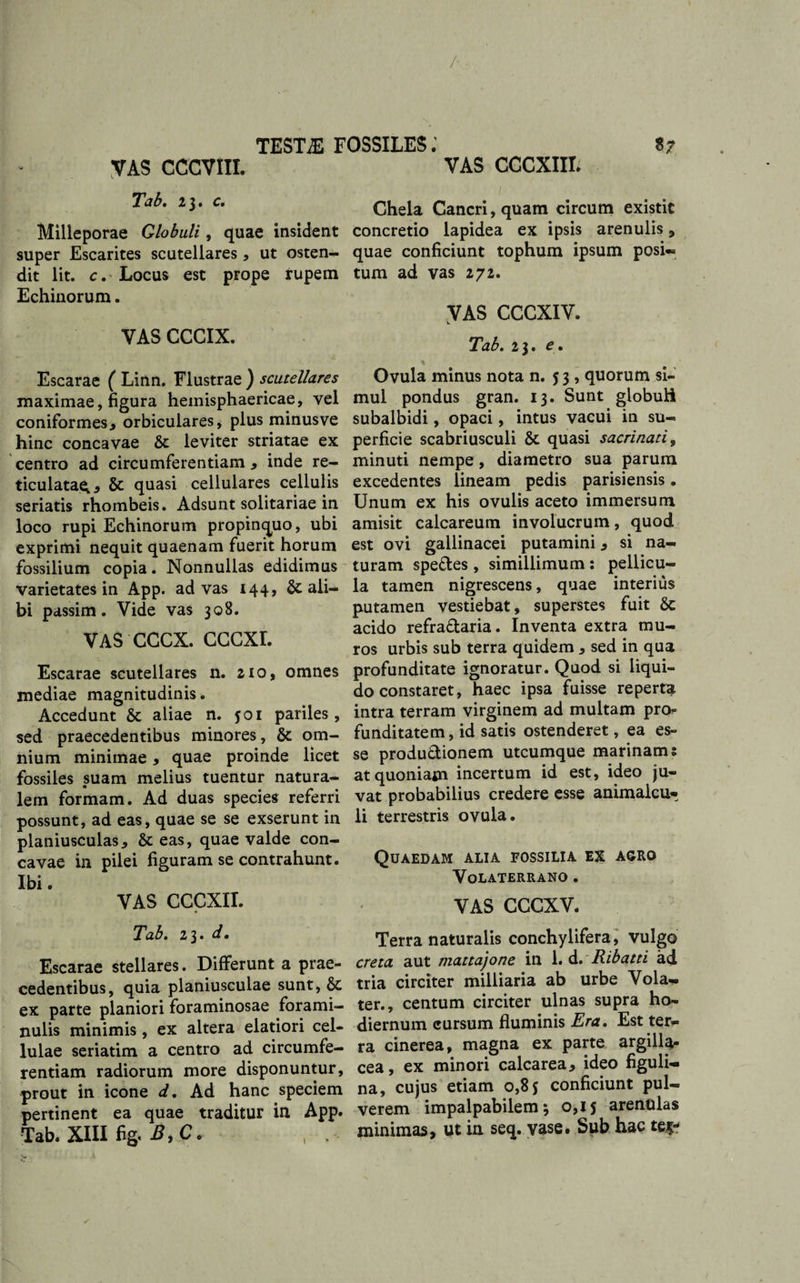 /• TESTAE FOSSILES: &amp;? VAS CCCVIII. Tab. 23. c. Milleporae Globuli, quae insident super Escarites scutellares, ut osten-* dit lit. c. Locus est prope rupem Echinorum. VAS CCCIX. Escarae ( Linn. Flustrae ) scutellares maximae, figura hemisphaericae, vel coniformes, orbiculares, plus minusve hinc concavae &amp; leviter striatae ex centro ad circumferentiam, inde re¬ ticulatae^, &amp; quasi cellulares cellulis seriatis rhombeis. Adsunt solitariae in loco rupi Echinorum propinquo, ubi exprimi nequit quaenam fuerit horum fossilium copia. Nonnullas edidimus varietates in App. ad vas 144, &amp;. ali¬ bi passim. Vide vas 308. VAS CCCX. CCCXL Escarae scutellares n. 210, omnes mediae magnitudinis. Accedunt &amp; aliae n. 501 pariles, sed praecedentibus minores, &amp; om¬ nium minimae, quae proinde licet fossiles suam melius tuentur natura¬ lem formam. Ad duas species referri possunt, ad eas, quae se se exserunt in planiusculas, &amp; eas, quae valde con¬ cavae in pilei figuram se contrahunt. Ibi. VAS CCCXII. Tab, 23* d • Escarae stellares. Differunt a prae¬ cedentibus, quia planiusculae sunt, Sc ex parte planiori foraminosae forami- nulis minimis, ex altera elatiori cel¬ lulae seriatim a centro ad circumfe¬ rentiam radiorum more disponuntur, prout in icone d. Ad hanc speciem pertinent ea quae traditur in App. Tab. XIII fig. £,C. VAS CCCXIII. Chela Cancri, quam circum existit concretio lapidea ex ipsis arenulis, quae conficiunt tophum ipsum posi- tum ad vas 272. VAS CCCXIV. Tab, 23. e* t Ovula minus nota n. j 3, quorum si¬ mul pondus gran. 13. Sunt globuli subalbidi, opaci, intus vacui in su¬ perficie scabriusculi &amp; quasi sacrinati9 minuti nempe, diametro sua parum excedentes lineam pedis parisiensis. Unum ex his ovulis aceto immersum amisit calcareum involucrum, quod est ovi gallinacei putamini, si na¬ turam spe&amp;es , simillimum : pellicu¬ la tamen nigrescens, quae interius putamen vestiebat, superstes fuit Sc acido refra&amp;aria. Inventa extra mu¬ ros urbis sub terra quidem , sed in qua profunditate ignoratur. Quod si liqui¬ do constaret, haec ipsa fuisse reperta intra terram virginem ad multam pro- funditatem, id satis ostenderet, ea es¬ se produdionem utcumque marinam: at quoniam incertum id est, ideo ju¬ vat probabilius credere esse animalcu* li terrestris ovula. Quaedam alia fossilia ex agro Volaterrano . VAS CCCXV. Terra naturalis conchylifera, vulgo creta aut mattajone in 1. d, Ribatti ad tria circiter milliaria ab urbe Vola- ter., centum circiter ulnas supra ho¬ diernum cursum fluminis Era, Est ter¬ ra cinerea, magna ex parte argilla¬ cea , ex minori calcarea, ideo figuli- na, cujus etiam 0,85 conficiunt pul¬ verem impalpabilem 3 0,15 arenulas minimas, ut in seq. vase* Sub hac terw 1