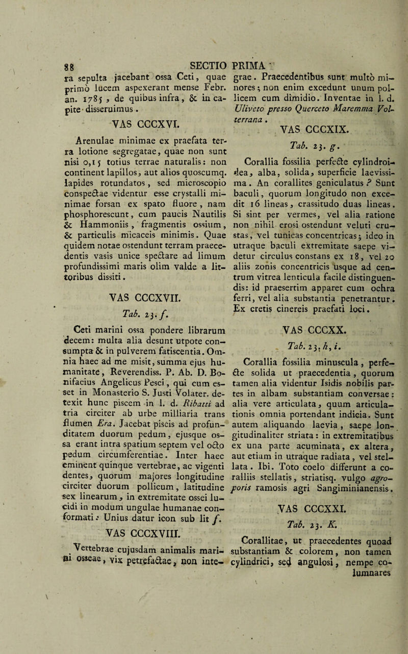 ra sepulta jacebant ossa Ceti, quae primo lucem aspexerant mense Febr. an. 1785 , de quibus infra, Sc in ca¬ pite- disseruimus . VAS CCCXVI. Arenulae minimae ex praefata ter¬ ra lotione segregatae, quae non sunt nisi 0,15 totius terrae naturalis: non continent lapillos, aut alios quoscumq. lapides rotundatos, sed microscopio conspe&ae videntur esse crystalli mi¬ nimae forsan ex spato fluore, nam phosphorescunt, cum paucis Nautilis Hammoniis , fragmentis ossium, &: particulis micaceis minimis. Quae quidem notae ostendunt terram praece¬ dentis vasis unice spe&are ad limum profundissimi maris olim valde a lit— toribus dissiti. VAS CCCXVII. Tab. i$.f. Ceti marini ossa pondere librarum decem: multa alia desunt utpote con¬ sumpta & in pulverem fatiscentia. Om¬ nia haec ad me misit, summa ejus hu¬ manitate, Reverendiss. P. Ab. D. Bo- nifacius Angelicus Pesci, qui cum es¬ set in Monasterio S. Justi Volater. de¬ texit hunc piscem in 1. d. Ribatti ad tria circiter ab urbe miliiaria trans flumen Era. Jacebat piscis ad profun¬ ditatem duorum pedum, ejusque os¬ sa erant intra spatium septem vel o£to pedum circumferentiae. Inter haec eminent quinque vertebrae, ac vigenti dentes, quorum majores longitudine circiter duorum pollicum, latitudine sex linearum y in extremitate ossei lu¬ cidi in modum ungulae humanae con¬ formati .* Unius datur icon sub lit f. VAS CCCXVIII. . ^ertebrae cujusdam animalis mari- m osseae, vix petrefa&ae, noa inte- grae. Praecedentibus sunt multo mi¬ nores ^ non enim excedunt unum pol¬ licem cum dimidio. Inventae in 1. d. Uliveto presso Querceto Maremma Vol- terrana. VAS GGCXIX. Tab. 23. g. Corallia fossilia perfe£fe cylindroi- dea, alba, solida, superficie laevissi¬ ma . An corallites geniculatus ? Sunt baculi, quorum longitudo non exce¬ dit 16 lineas, crassitudo duas lineas. Si sint per vermes, vel alia ratione non nihil erosi ostendunt veluti cru¬ stas, vel tunicas concentricas} ideo in utraque baculi extremitate saepe vi¬ detur circulus constans ex 18, vel 20 aliis zonis concentricis usque ad cen¬ trum vitrea lenticula facile distinguen¬ dis: id praesertim apparet cum ochra ferri, vel alia substantia penetrantur. Ex cretis cinereis praefati loci. » VAS CCCXX. 1 . . . - , “• *■*•*'*' -i - Tab. 23. k, i. Corallia fossilia minuscula, perfe- £te solida ut praecedentia, quorum tamen alia videntur Isidis nobilis par¬ tes in albam substantiam conversae; alia vere articulata, quum articula¬ tionis omnia portendant indicia. Sunt autem aliquando laevia , saepe lon- gitudinaliter striata : in extremitatibus ex una parte acuminata, ex altera, aut etiam in utraque radiata , vel stel¬ lata . Ibi. Toto coelo differunt a co¬ ralliis stellatis, striatisq. vulgo agro- poris ramosis agri Sangiminianensis, VAS CCCXXI. Tab. 23. K. Corallitae, ut praecedentes quoad substantiam & colorem, non tamen cylindrici, se4 angulosi, nempe co¬ lumnares