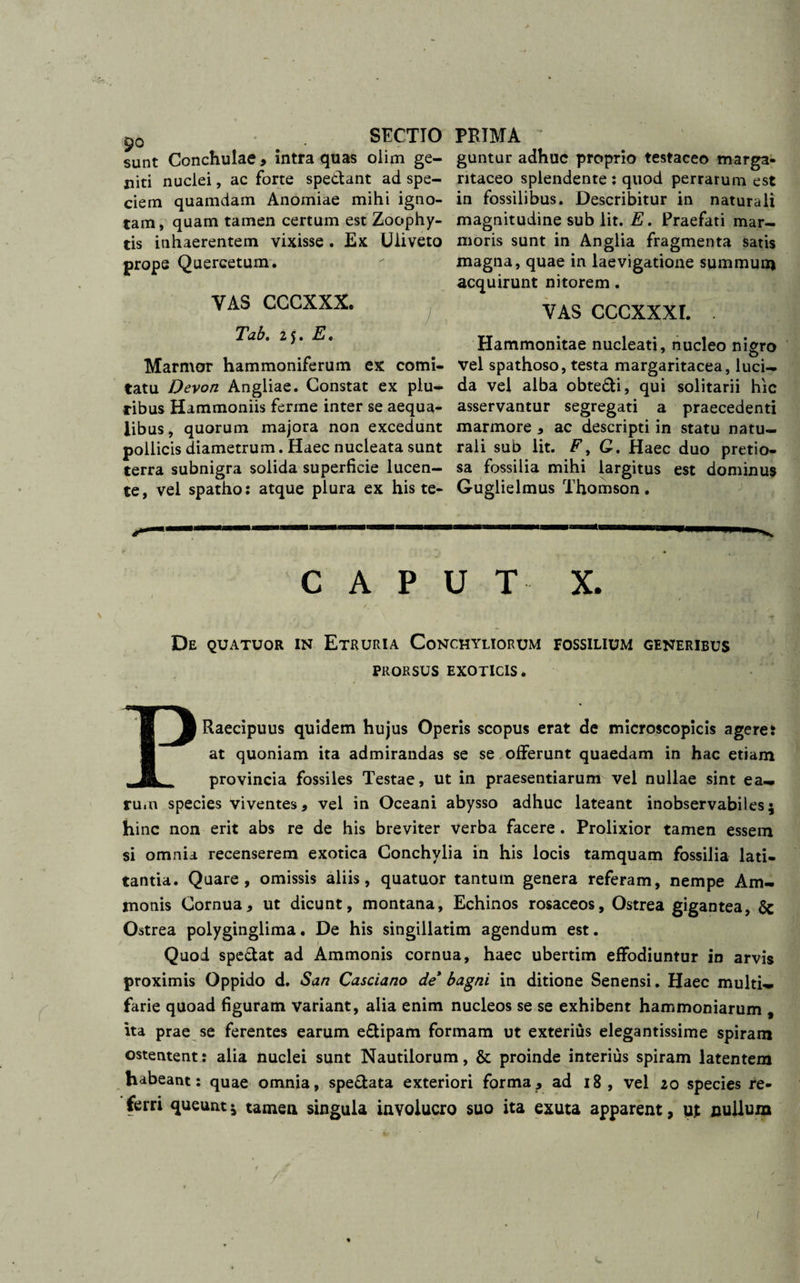 PRIMA guntur adhuc proprio testaceo marga- ritaceo splendente : quod perrarum est in fossilibus. Describitur in naturali magnitudine sub iit. E. Praefati mar¬ moris sunt in Anglia fragmenta satis magna, quae in laevigatione summum acquirunt nitorem. VAS CCCXXXI. . Hammonitae nucleati, nucleo nigro vel spathoso, testa margaritacea, luci¬ da vel alba obte&i, qui solitarii hic asservantur segregati a praecedenti marmore * ac descripti in statu natu¬ rali sub lit. F, G. Haec duo pretio¬ sa fossilia mihi largitus est dominus Guglielmus Thomson. CAPUT X. De quatuor in Etruria Conchyliorum fossilium generibus PRORSUS EXOTICIS. PRaecipuus quidem hujus Operis scopus erat de microscopicis ageret at quoniam ita admirandas se se offerunt quaedam in hac etiam provincia fossiles Testae, ut in praesentiarum vel nullae sint ea- rum species viventes, vel in Oceani abysso adhuc lateant inobservabiles; hinc non erit abs re de his breviter verba facere. Prolixior tamen essem si omnia recenserem exotica Conchylia in his locis tamquam fossilia lati¬ tantia. Quare, omissis aliis, quatuor tantum genera referam, nempe Am- monis Cornua, ut dicunt, montana, Echinos rosaceos, Ostrea gigantea, & Ostrea polyginglima. De his singillatim agendum est. Quod spe&at ad Ammonis cornua, haec ubertim effodiuntur in arvis proximis Oppido d. San Casciano de bagni in ditione Senensi. Haec multi¬ farie quoad figuram variant, alia enim nucleos se se exhibent hammoniarum , ha prae se ferentes earum e&ipam formam ut exterius elegantissime spiram ostentent: alia nuclei sunt Nautilorum, & proinde interius spiram latentem habeant: quae omnia, spe&ata exteriori forma, ad 18 , vel 20 species re¬ ferri queunt; tamen singula involucro suo ita exuta apparent, ut nullum 9o SECTIO sunt Conchulae, intra quas olim ge¬ niti nuclei, ac forte spe&ant ad spe¬ ciem quamdam Anomiae mihi igno¬ tam, quam tamen certum est Zoophy- tis inhaerentem vixisse . Ex Uliveto prope Quercetum. VAS CCCXXX. Tab. 25. E. Marmor hammoniferum ex comi¬ tatu Devon Angliae. Constat ex plu¬ ribus Hammoniis ferine inter se aequa¬ libus , quorum majora non excedunt pollicis diametrum. Haec nucleata sunt terra subnigra solida superficie lucen¬ te, vel spatho: atque plura ex his te-