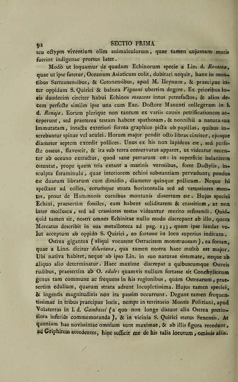 seu e£lypos viventium olim animalculorum, quae tamen cujusnam maris fuerint indigenae prorsus latet. Modo ut loquamur de quadam Echinorum specie a Lin. d. Rosacea, quae ut ipse fatetur, Oceanum Asiaticum colit, dubitari nequit, hanc in mon¬ tibus Sarteanensibus, & Cetonensibus, apud M. Ilcynum , St praecipue in¬ ter oppidum S. Quirici St balnea Vignoni ubertim degere. Ex prioribus lo¬ cis duodecim circiter habui Echinos rosaceos intus petrefa&os, St alios de¬ cem perfe&e similes ipse una cum Exc. Do&ore Manenti collegeram in 1. d. Renajo. Eorum plerique non tantum ex variis causis petrificationem ac¬ ceperunt, sed praeterea testam habent spathosam, & nonnihil a natura sua immutatam, intafta exteriori forma graphice pi&a ob papillas, quibus in¬ serebantur spinae vel aculei. Horum major pendit o£to libras circiter, ejusque diameter septem excedit pollices. Unus ex his non lapideus est, sed perfe¬ re osseus, flavescit, St ita sub terra conservatus apparet, ut videatur recen¬ ter ab oceano extra&us, quod sane perrarum est: in superficie balanitem ostentat, prope quem tria extant a marinis vermibus, forte Da&ylis, in¬ sculpta foraminula, quae interiorem echini substantiam pervadunt; pondus Cst duarum librarum cum dimidio, diameter quinque pollicum. Neque hi spe&ant ad colles, eorumque strata horizontalia sed ad vetustiores mon¬ tes, prout de Hammonis cornibus montanis dissertum est . Hujus speciei Echini, praesertim fossiles, eam habent soliditatem & crassitiem, ut noit inter mollusca , sed ad crassiores testas videantur merito referendi . Quid¬ quid tamen sit, nostri omnes Echinitae nullo modo discrepant ab illo, quem Mercatus describit in sua metalloteca ad pag. 233, quem ipse laudat ve- lut acceptum ab oppido S. Quirici, eo fortasse in loco superius indicato. Ostrea gigantea (aliqui vocarent Ostracitem monstruosum), ea forsan, quae a Linn. dicitur diluviana, qua tamen nostra haec multo est major. Ubi nativa habitet, neque ab ipso Lin. in suo naturae sistemate, neque ab aliquo alio determinatur. Haec maxime discrepat a quibuscumque Ostreis rudibus, praesertim ab O. edule: quamvis nullum fortasse sit Conchyliorum genus tam commune ac frequens in his regionibus, quam Ostrearum , prae¬ sertim edulium, quarum strata adsunt locupletissima. Hujus tamen speciei, & ingentis magnitudinis non ita passim occurrunt. Degunt tamen frequen- tissimae in tribus praecipue locis, nempe in territorio Montis Politiani, apud Volaterras in 1. d. Gambassi (a quo non longe distant alia Ostrea pretio¬ siora inferius commemoranda), & in vicinia S. Quirici status Senensis. At quoniam hae novissimae omnium sunt maximae, & ab illis figura recedunt, ad Griphitem accedentes, hinc sufficit me de his talia locutum * omissis aliis.