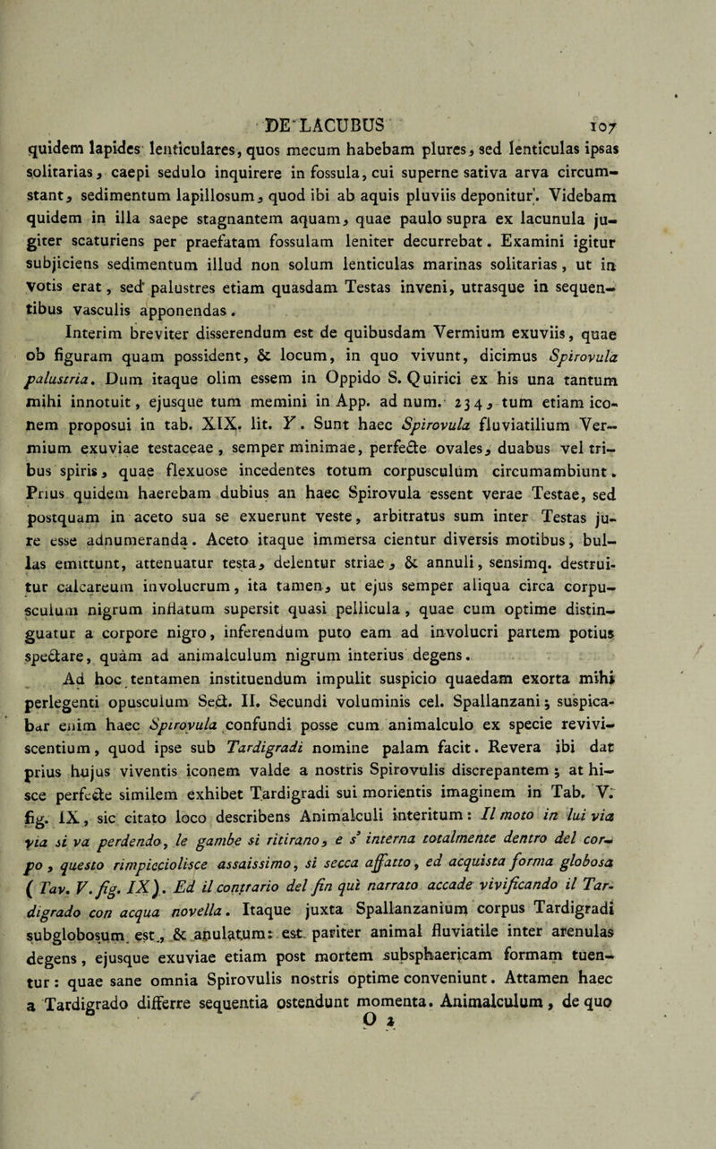 quidem lapides lenticulares, quos mecum habebam plures, sed lenticulas ipsas solitarias, caepi sedulo inquirere in fossula, cui superne sativa arva circum¬ stant, sedimentum lapillosum, quod ibi ab aquis pluviis deponitur. Videbam quidem in illa saepe stagnantem aquam, quae paulo supra ex lacunula ju- giter scaturiens per praefatam fossulam leniter decurrebat. Examini igitur subjicietis sedimentum illud non soluin lenticulas marinas solitarias , ut in votis erat, sed palustres etiam quasdam Testas inveni, utrasque in sequen¬ tibus vasculis apponendas, Interim breviter disserendum est de quibusdam Vermium exuviis, quae ob figuram quam possident, &amp; locum, in quo vivunt, dicimus Spirovula palustria. Dum itaque olim essem in Oppido S. Quirici ex his una tantum mihi innotuit, ejusque tum memini in App. ad num.- 234, tum etiam ico¬ nem proposui in tab. XIX. Iit. Y. Sunt haec Spirovula fluviatilium Ver¬ mium exuviae testaceae, semper minimae, perfe&amp;e ovales, duabus vel tri¬ bus spiris, quae flexuose incedentes totum corpusculum circumambiunt * Prius quidem haerebam dubius an haec Spirovula essent verae Testae, sed postquam in aceto sua se exuerunt veste, arbitratus sum inter Testas ju¬ re esse adnumeranda. Aceto itaque immersa cientur diversis motibus, bul¬ las emittunt, attenuatur testa, delentur striae, &amp; annuli, sensimq. destrui¬ tur caicareum involucrum, ita tamen, ut ejus semper aliqua circa corpu¬ sculum nigrum inflatum supersit quasi pellicula , quae cum optime distin¬ guatur a corpore nigro, inferendum puto eam ad involucri partem potius spe&amp;are, quam ad ammalculum nigrum interius degens. Ad hoc tentamen instituendum impulit suspicio quaedam exorta mihi perlegenti opusculum Se.£t. II. Secundi voluminis cel. Spalianzani 5 suspica¬ bar enim haec Spirovula confundi posse cum animalculo ex specie revivi¬ scentium, quod ipse sub Tardigradi nomine palam facit. Revera ibi dat prius hujus viventis iconem valde a nostris Spirovulis discrepantem ; at hi¬ sce perfctbe similem exhibet Tardigradi sui morientis imaginem in Tab. V. % .ix , sic citato loco describens Animalculi interitum: II moto in lui via yia si va perdendo, le gambe si ritirano, e s interna totalmente dentro dei corw po , questo rimpicciolisce assaissimo, si secca affatto, ed acquista forma globosa ( Tav. V.fig. IX) . Ed il contrario dei fin qui narrato accade vivificando il Tar¬ digrado con aequa novella. Itaque juxta Spallanzaniurn corpus Tardigradi subglobosum. est,, &amp; anulatum: est. pariter animal fluviatile inter arenulas degens, ejusque exuviae etiam post mortem subsphaericam formam tuen¬ tur : quae sane omnia Spirovulis nostris optime conveniunt. Attamen haec a Tardigrado differre sequentia ostendunt momenta. Animalculum, de quo