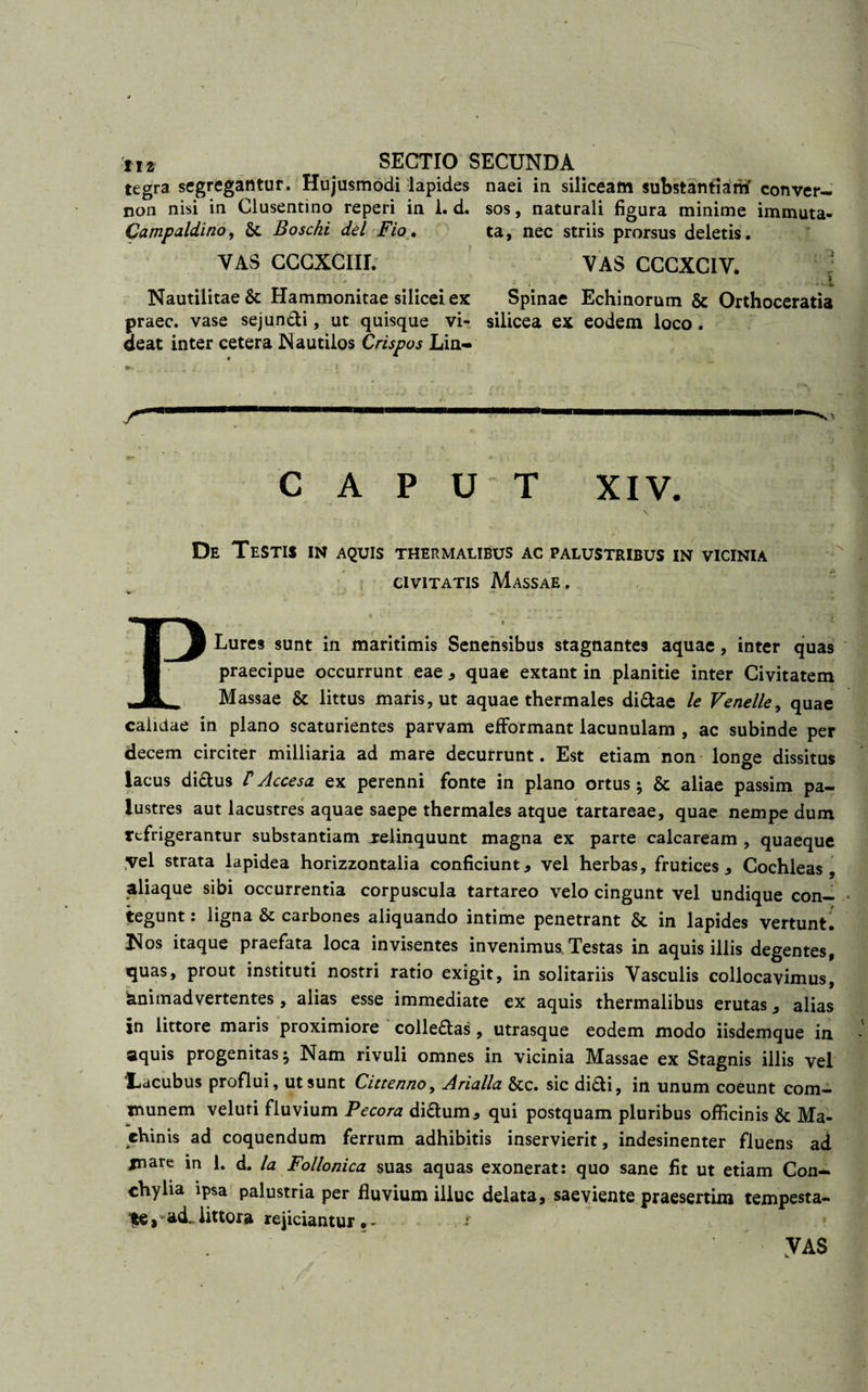tegra segregantur. Hujusmodi lapides naei in siliceam substantiam* conver- non nisi in Clusentino reperi in 1. d. sos, naturali figura minime immuta- Campaldino, &amp;; Boscki dei Fio. ta, nec striis prorsus deletis. VAS CCCXCIII. VAS CCCXCIV* : ; r 'i f* ' ri j fS Nautilitae &amp; Hammonitae silicei ex Spinae Echinorum &amp; Orthoceratia praec. vase sejundi, ut quisque vi- silicea ex eodem loco. aeat inter cetera Nautilos Crispos Lin- *•- v » t ' &gt; r. ' ? CAPUT XIV. De Testis in aquis thermalibus ac palustribus in vicinia civitatis Massae . PT - . - .. . Lures sunt in maritimis Senensibus stagnantes aquae, inter quas praecipue occurrunt eae , quae extant in planitie inter Civitatem Massae &amp; littus maris, ut aquae thermales didae le Venelle, quae calidae in plano scaturientes parvam effbrmant lacunulam , ac subinde per decem circiter milliaria ad mare decurrunt. Est etiam non longe dissitus lacus didus t Accesa ex perenni fonte in plano ortus; &amp; aliae passim pa¬ lustres aut lacustres aquae saepe thermales atque tartareae, quae nempe dum refrigerantur substantiam .relinquunt magna ex parte calcaream , quaeque yel strata lapidea horizzontalia conficiunt, vel herbas, frutices. Cochleas, aliaque sibi occurrentia corpuscula tartareo velo cingunt vel undique con¬ tegunt : ligna &amp; carbones aliquando intime penetrant &amp; in lapides vertunti Nos itaque praefata loca invisentes invenimus Testas in aquis illis degentes, quas, prout instituti nostri ratio exigit, in solitariis Vasculis collocavimus, animadvertentes , alias esse immediate ex aquis thermalibus erutas, alias in littore maris proximiore colledas, utrasque eodem modo iisdemque in aquis progenitas ^ Nam rivuli omnes in vicinia Massae ex Stagnis illis vel ‘Lacubus proflui, ut sunt Cittenno, Analia &amp;c. sic didi, in unum coeunt com¬ munem veluti fluvium Pecora didum, qui postquam pluribus officinis &amp; Ma¬ chinis ad coquendum ferrum adhibitis inservierit, indesinenter fluens ad jnare in 1. d. Ia Follonica suas aquas exonerat: quo sane fit ut etiam Con¬ chylia ipsa palustria per fluvium illuc delata, saeviente praesertim tempesta- te, ad. littora rejiciantur®* ‘ '• VAS