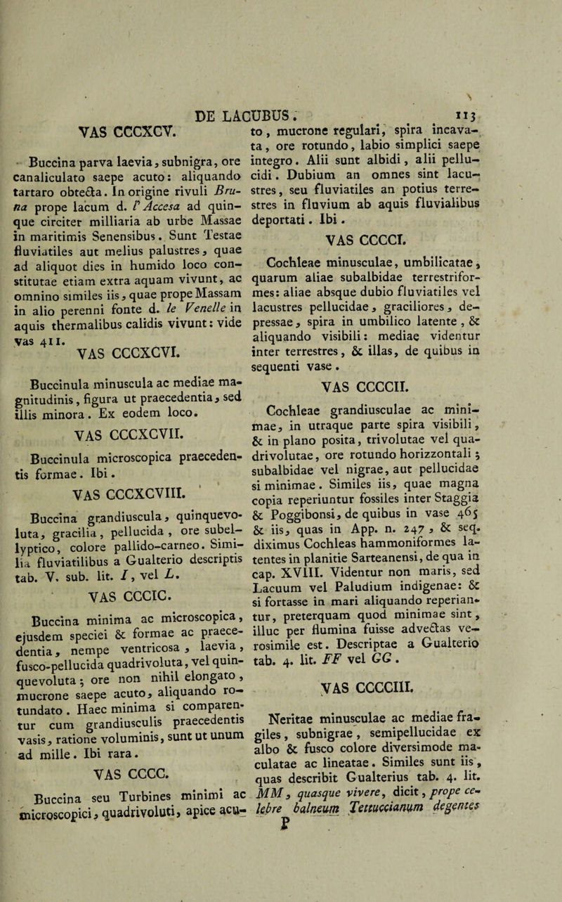 VAS CCCXCV. Buccina parva laevia * subnigra, ore canaliculato saepe acuto: aliquando tartaro obte&amp;a. In origine rivuli Bru¬ na prope lacum d. P Accesa ad quin¬ que circiter milliaria ab urbe Massae in maritimis Senensibus. Sunt Testae fluviatiles aut melius palustres, quae ad aliquot dies in humido loco con¬ stitutae etiam extra aquam vivunt, ac omnino similes iis * quae prope Massam in alio perenni fonte d. le Venelle in aquis thermalibus calidis vivunt: vide vas 411. VAS CCCXCVI. Buccinula minuscula ac mediae ma¬ gnitudinis , figura ut praecedentia* sed illis minora. Ex eodem loco. VAS CCCXCVII. Buccinula microscopica praeceden¬ tis formae. Ibi. VAS CCCXCVIII. Buccina grandiuscula* quinquevo- luta, gracilia, pellucida , ore subel— lyptico, colore pallido—carneo. Simi¬ lia fluviatilibus a Gualterio descriptis tab. V. sub. Iit. /, vel L. VAS CCCIC. Buccina minima ac microscopica, ejusdem speciei formae ac praece¬ dentia, nempe ventricosa * laevia, fusco-pellucida quadrivoluta, vel quin- quevoluta 5 ore non nihil elongato , mucrone saepe acuto, aliquando ro¬ tundato . Haec minima si comparen¬ tur cum grandiusculis praecedentis vasis, ratione voluminis, sunt ut unum ad mille. Ibi rara. VAS CCCC. Buccina seu Turbines, minimi ac microscopici, quadrivoluti, apice acu¬ to , mucrone regulari, spira incava- ta, ore rotundo, labio simplici saepe integro. Alii sunt albidi, alii pellu¬ cidi . Dubium an omnes sint lacu- stres, seu fluviatiles an potius terre¬ stres in fluvium ab aquis fluvialibus deportati. Ibi. VAS CCCCI. Cochleae minusculae, umbilicatae, quarum aliae subalbidae terrestrifor- mes: aliae absque dubio fluviatiles vel lacustres pellucidae , graciliores , de¬ pressae , spira in umbilico latente , &amp; aliquando visibili: mediae videntur inter terrestres, &amp; illas, de quibus in sequenti vase. VAS CCCCII. Cochleae grandiusculae ac mini¬ mae, in utraque parte spira visibili, &amp; in plano posita, trivolutae vel qua- drivolutae, ore rotundo horizzontali * subalbidae vel nigrae, aut pellucidae si minimae. Similes iis, quae magna copia reperiuntur fossiles inter Staggia &amp; Poggibonsi, de quibus in vase 465 &amp; iis, quas in App. n. 247 , &amp; seq. diximus Cochleas hammoniformes la¬ tentes in planitie Sarteanensi, de qua in cap. XVIII. Videntur non maris, sed Lacuum vel Paludium indigenae: &amp; si fortasse in mari aliquando reperian*» tur, preterquam quod minimae sint, illuc per flumina fuisse adve&amp;as ve- rosimile est. Descriptae a Gualterio tab. 4. Iit. FF vel GQ. VAS CCCCI1I. Neritae minusculae ac mediae fra¬ giles , subnigrae, semipellucidae ex albo &amp; fusco colore diversimode ma¬ culatae ac lineatae . Similes sunt iis , quas describit Gualterius tab. 4. Iit. MM, quasque vivere, dicit, prope ce¬ lebre balneum Tettuccianum degentes