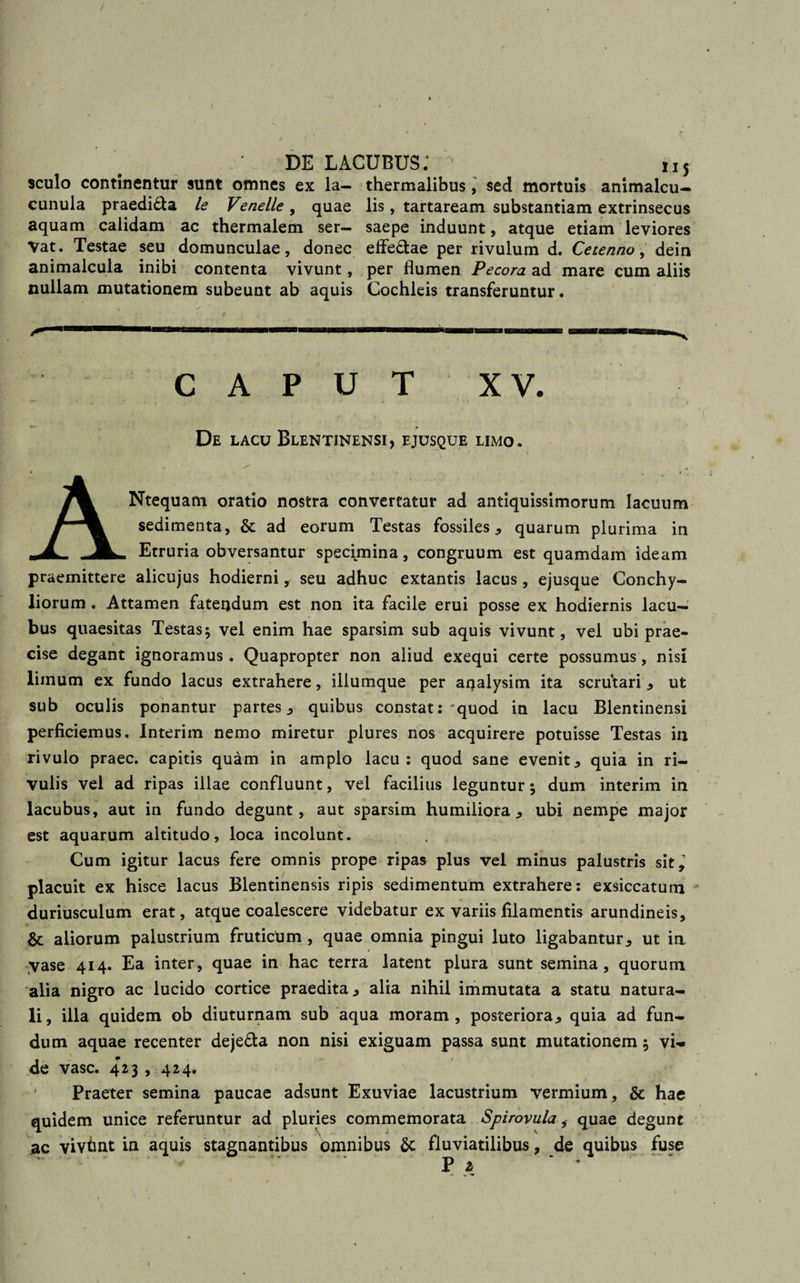 sculo continentur sunt omnes ex la- thermalibus, sed mortuis animalcu- cunula praedi&amp;a le Venelle , quae lis, tartaream substantiam extrinsecus aquam calidam ac thermalem ser- saepe induunt, atque etiam leviores Vat. Testae seu domunculae, donec effe&amp;ae per rivulum d. Cetenno, dein animalcula inibi contenta vivunt, per flumen Pecora ad mare cum aliis nullam mutationem subeunt ab aquis Cochleis transferuntur. CAPUT XV. De lacu Blentinensi, ejusque limo. ANtequam oratio nostra convertatur ad antiquissimorum lacuum sedimenta, &amp; ad eorum Testas fossiles* quarum plurima in Etruria obversantur specimina, congruum est quamdam ideam praemittere alicujus hodierni, seu adhuc extantis lacus , ejusque Conchy¬ liorum . Attamen fatendum est non ita facile erui posse ex hodiernis lacu- bus quaesitas Testas; vel enim hae sparsim sub aquis vivunt, vel ubi prae¬ cise degant ignoramus. Quapropter non aliud exequi certe possumus, nisi liinum ex fundo lacus extrahere, iliumque per analysim ita scrutari * ut sub oculis ponantur partes* quibus constat:'quod in lacu Blentinensi perficiemus. Interim nemo miretur plures nos acquirere potuisse Testas in rivulo praec. capitis quam in amplo lacu: quod sane evenit* quia in ri¬ vulis vel ad ripas illae confluunt, vel facilius leguntur; dum interim in lacubus, aut in fundo degunt, aut sparsim humiliora* ubi nempe major est aquarum altitudo, loca incolunt. Cum igitur lacus fere omnis prope ripas plus vel minus palustris sit,1 placuit ex hisce lacus Blentinensis ripis sedimentum extrahere: exsiccatum duriusculum erat, atque coalescere videbatur ex variis filamentis arundineis, &amp; aliorum palustrium fruticum , quae omnia pingui luto ligabantur* ut in vase 414. Ea inter, quae in hac terra latent plura sunt semina, quorum alia nigro ac lucido cortice praedita* alia nihil immutata a statu natura¬ li, illa quidem ob diuturnam sub aqua moram, posteriora* quia ad fun¬ dum aquae recenter deje&amp;a non nisi exiguam passa sunt mutationem; vi¬ de vase. 423 , 424. Praeter semina paucae adsunt Exuviae lacustrium vermium, &amp; hae quidem unice referuntur ad pluries commemorata Spirovulaquae degunt ac vivtmt in aquis stagnantibus omnibus &amp; fluviatilibus, de quibus fuse P 1