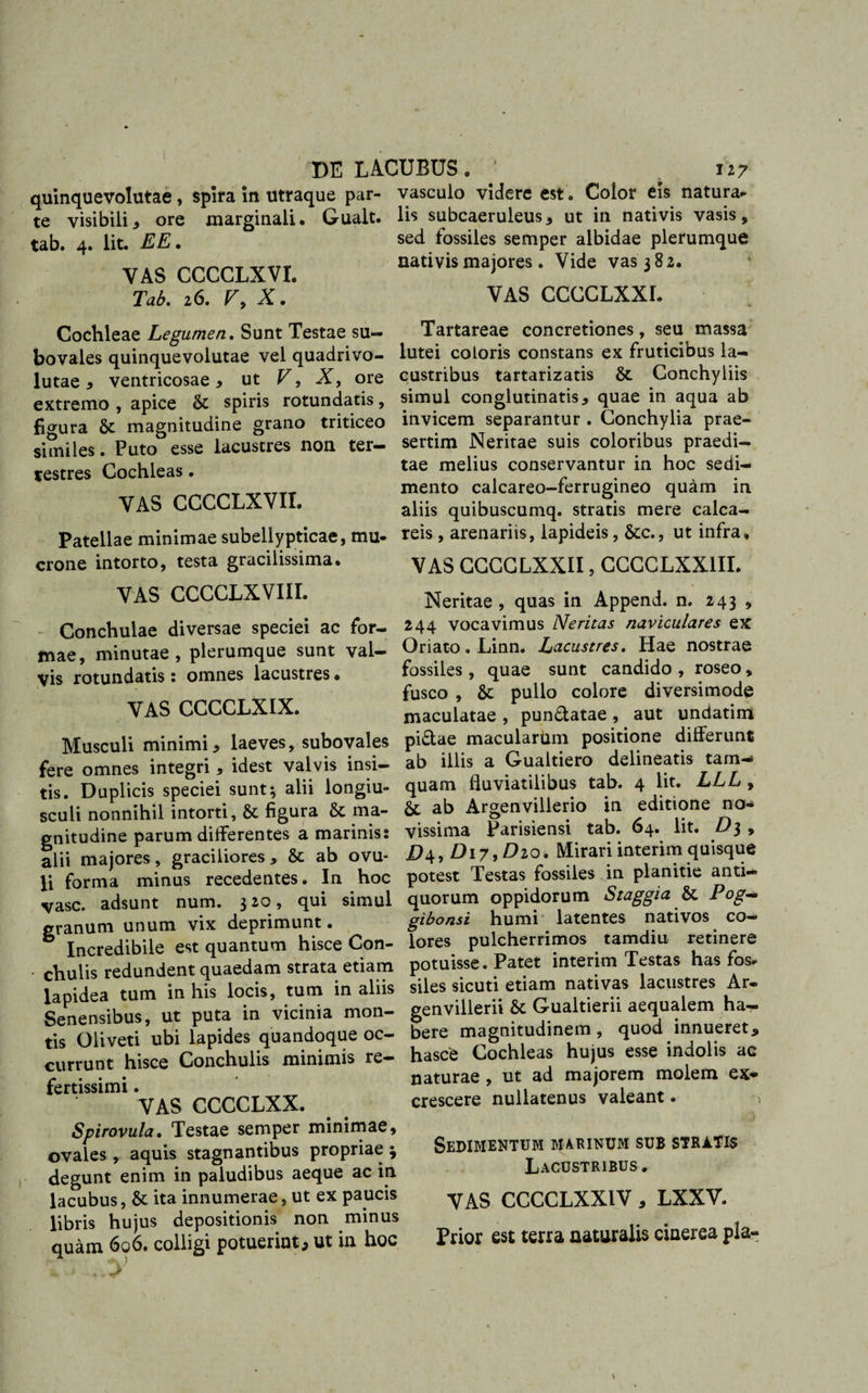quinquevolutae , spira in utraque par¬ te visibili^ ore marginali. Gualt. tab. 4. Iit. EE. VAS CCCCLXVL Tab. 26. V, X. vasculo videre est. Color eis natura* lis subcaeruleus, ut in nativis vasis, sed fossiles semper albidae plerumque nativis majores. Vide vas 382. VAS CCCCLXXL Cochleae Legumen. Sunt Testae su- bovales quinquevolutae vel quadrivo- lutae 3 ventricosae * ut V, X, ore extremo , apice &amp; spiris rotundatis, figura magnitudine grano triticeo similes . Puto esse lacustres non ter¬ restres Cochleas. VAS CCCCLXVII. Patellae minimae subellypticae, mu* erone intorto, testa gracilissima. VAS CCCCLXVIII. Conchulae diversae speciei ac for¬ mae, minutae, plerumque sunt val¬ vis rotundatis : omnes lacustres • VAS CCCCLXIX. Musculi minimi , laeves, subovales fere omnes integri, idest valvis insi¬ tis. Duplicis speciei sunt; alii longiu¬ sculi nonnihil intorti, &amp; figura &amp; ma¬ gnitudine parum differentes a marinis: alii majores, graciliores, &amp; ab ovu- li forma minus recedentes. In hoc vase, adsunt num. 3 20, qui simul granum unum vix deprimunt. Incredibile est quantum hisce Con- • chulis redundent quaedam strata etiam lapidea tum in his locis, tum in aliis Senensibus, iit puta in vicinia mon¬ tis Oliveti ubi lapides quandoque oc¬ currunt hisce Conchulis minimis re¬ fertissimi . VAS CCCCLXX. Spirovula. Testae semper minimae, ovales , aquis stagnantibus propriae ; degunt enim in paludibus aeque ac in lacubus, St ita innumerae, ut ex paucis libris hujus depositionis non minus quam 606. colligi potuerint, ut in hoc Tartareae concretiones, seu massa lutei coloris constans ex fruticibus la- custribus tartarizatis St Conchyliis simul conglutinatis, quae in aqua ab invicem separantur . Conchylia prae¬ sertim Neritae suis coloribus praedi¬ tae melius conservantur in hoc sedi¬ mento calcareo-ferrugineo quam in aliis quibuscumq. stratis mere calca- reis , arenariis, lapideis, Stc., ut infra, VAS CCCCLXXII, CCCCLXX1II. Neritae , quas in Append. n. 243 , 244 vocavimus Neritas naviculares ex Oriato . Linn. Lacustres. Hae nostrae fossiles, quae sunt candido , roseo, fusco , St pullo colore diversimode maculatae , pun&amp;atae , aut undatim pi&amp;ae macularum positione differunt ab illis a Gualtiero delineatis tam¬ quam fluviatilibus tab. 4 lit. LLL , &amp;; ab Argenvillerio in editione no¬ vissima Parisiensi tab. 64. lit. D$ , X&gt;4, D17, Dio. Mirari interim quisque potest Testas fossiles in planitie anti¬ quorum oppidorum Staggia St -Pog~ gibonsi humi latentes nativos co¬ lores pulcherrimos tamdiu retinere potuisse. Patet interim Testas has fos* siles sicuti etiam nativas lacustres Ar- genvillerii St Gualtierii aequalem ha¬ bere magnitudinem, quod innueret, hasce Cochleas hujus esse indolis ac naturae , ut ad majorem molem ex¬ crescere nullatenus valeant. Sedimentum marinum sub stratis Lacustribus . VAS CCCCLXXIV, LXXV. Prior est terra naturalis cinerea pia-