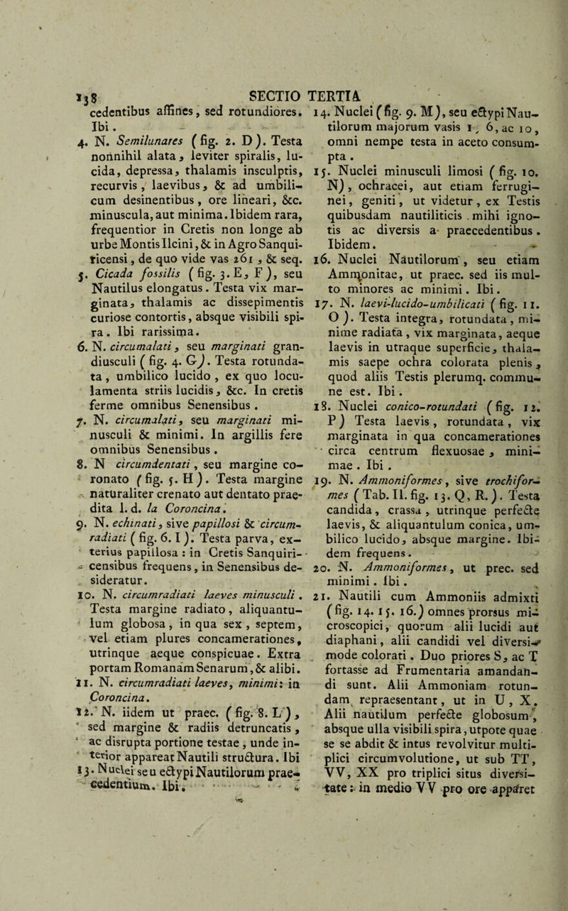 cedentibus affines, sed rotundiores. 14. Nuclei(fig. 9. M),seu e&amp;ypiNau- Ibi. - - tilorum majorum vasis 1, 6, ac 10, 4. N. Semilunares ( fig. 2. D). Testa omni nempe testa in aceto consum- norinihil alata, leviter spiralis, lu¬ cida, depressa, thalamis insculptis, recurvis , laevibus, &amp; ad umbili¬ cum desinentibus, ore lineari, &amp;c. minuscula,aut minima.Ibidem rara, frequentior in Cretis non longe ab urbe Montis Ilcini, &amp; in Agro Sanqui- ticensi, de quo vide vas 261 , &amp; seq. 5. Cicada fossilis (fig. 3. E, F), seu Nautilus elongatus. Testa vix mar¬ ginata, thalamis ac dissepimentis curiose contortis, absque visibili spi¬ ra . Ibi rarissima. 6. N. circumalati, seu marginati gran¬ diusculi ( fig. 4. G^. Testa rotunda¬ ta , umbilico lucido , ex quo locu¬ lamenta striis lucidis , &amp;c. In cretis ferme omnibus Senensibus . 7. N. circumalati, seu marginati mi¬ nusculi &amp; minimi. In argillis fere omnibus Senensibus. 8. N circumdentati, seu margine co- ' ronato (fig. 5. H). Testa margine -- naturaliter crenato aut dentato prae¬ dita 1. d. Ia Coroncina. i 9. N. echinati, sive papillo si &amp; circum- radiati ( fig. 6.1). Testa parva, ex¬ terius papiilosa : in Cretis Sanquiri- * - censibus frequens, in Senensibus de¬ sideratur. 10. N. circumradiati laeves minusculi . Testa margine radiato, aliquantu- f lum globosa, in qua sex , septem, vel etiam plures concamerationes, utrinque aeque conspicuae. Extra portam Romanam Senarum, &amp; alibi. 11. N. circumradiati laeves, minimi: in Coroncina. 12. ' N. iidem ut praec. ( fig. 8. L ) , sed margine &amp; radiis detruncatis, £ ac disrupta portione testae , unde in¬ terior appareat Nautili stru&amp;ura. Ibi 13. N udei se u e&amp;ypi Nautilorum prae- cedentium. Ibi. &lt; - pta . [j. Nuclei minusculi limosi ( fig. 10. N), ochracei, aut etiam ferrugi¬ nei , geniti, ut videtur, ex Testis quibusdam nautiliticis . mihi igno¬ tis ac diversis a* praecedentibus. Ibidem. 16. Nuclei Nautilorum , seu etiam Amrqonitae, ut praec. sed iis mul¬ to minores ac minimi. Ibi. 17. N. laevi-lucido-umbilicati (fig. II. O ). Testa integra, rotundata , mi¬ nime radiata , vix marginata, aeque laevis in utraque superficie, thaia- mis saepe ochra colorata plenis, quod aliis Testis plerumq. commu¬ ne est. Ibi. 18. Nuclei conico-rotundati (%. a. P) Testa laevis, rotundata, vix marginata in qua concamerationes •circa centrum flexuosae, mini¬ mae . Ibi . 19. N. Ammoniformes, sive trochi for¬ mes ( Tab. II. fig. 13. Q, R.). Testa candida, crassa , utrinque perfe&amp;e laevis, &amp; aliquantulum conica, um¬ bilico lucido, absque margine. Ibi¬ dem frequens. 20. N. Ammoniformes, ut prec. sed minimi. Ibi. 21. Nautili cum Ammoniis admixti (fig. 14. 1 j. 16.) omnes prorsus mi- croscopici, quorum alii lucidi aut diaphani, alii candidi vel diversi-* ^ mode colorati. Duo priores S, ac T fortasse ad Frumentaria amandan¬ di sunt. Alii Ammoniam rotun- danv repraesentant, ut in U, X. Alii nautilum perfe&amp;e globosum , absque ulla visibili spira, utpote quae se se abdit &amp; intus revolvitur multi¬ plici circumvolutione, ut sub TT, YV, XX pro triplici situs diversi¬ tate : in medio Y V pro ore appafret
