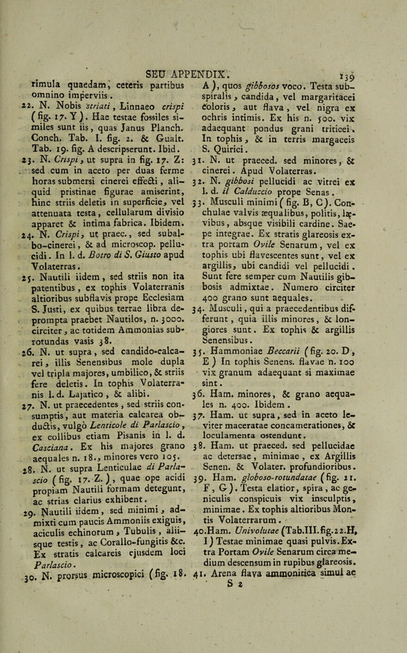 / # SEU APPENDIX. i39 rimula quaedam, ceteris partibus A ), quos gibbosos voco. Testa sub- omnino imperviis. 2.2. N. Nobis 'striati, Linnaeo crispi ( fig. 17. Y ). Hae testae fossiles si¬ miles sunt iis, quas Janus Planch. Conch. Tab. I. fig. 2. &amp; Gualt. Tab. 19. fig. A descripserunt. Ibid spiralis * candida, vel margaritacei eoioris * aut flava , vel nigra ex ochris intimis. Ex his n. 500. vix adaequant pondus grani triticei » In tophis * &amp; in terris margaceis S. Quirici. 23* N. Crispi 3 ut supra in fig. 17. Z: 31. N. ut praeced. sed minores, &amp; sed cum in aceto per duas ferme cinerei. Apud Volaterras, horas submersi cinerei effe&amp;i, ali- 32. N. gibbosi pellucidi ac vitrei ex quid pristinae figurae amiserint , 1. d. il Calduccio prope Senas . hinc striis deletis in superficie* vel 33. Musculi minimi ( fig. B, C). Con- attenuata testa, cellularum divisio chulae valvis aequalibus, politis,!^* apparet St intima fabrica. Ibidem 24. N. Crispi3 ut praec., sed subal¬ bo -cinerei, St ad microscop. pellu¬ cidi . In 1. d. Botro di S. Giusto apud Volaterras. 25. Nautili iidem, sed striis non ita patentibus, ex tophis Volaterranis altioribus subflavis prope Ecclesiam vibus, absque visibili cardine. Sae- pe integrae. Ex stratis glareosis ex¬ tra portam Ovile Senarum, vel ex tophis ubi flavescentes sunt, vel ex argillis* ubi candidi vel pellucidi. Sunt fere semper cum Nautilis gib¬ bosis admixtae. Numero circiter 400 grano sunt aequales. --- i. I - ‘ O 1-' S. Justi, ex quibus terrae libra de- 34. Musculi, qui a praecedentibus dif- prompta praebet Nautilos, n. 3000. ferunt, quia illis minores, &amp; ion- circiter * ac totidem Ammonias sub- giores sunt. Ex tophis 6c argillis rotundas vasis 38. Senensibus. 26. N. ut supra, sed candido-calca- 35. Hammoniae Beccarii (fig. 20. D* rei* illis Senensibus mole dupla E ) In tophis Senens, flavae n. 100 vel tripla majores, umbilico, 8c striis vix granum adaequant si maximae fere deletis. In tophis Volaterra- sint. nis 1.d. Lajatico , &amp; alibi. 36. Harn. minores, 5c grano aequa- 27. N. ut praecedentes, sed striis con- les n. 400. Ibidem . sumptis, aut materia calcarea ob- 37. Ham. ut supra, sed in aceto ie- dudis, vulgo Lenticole di Parlascio , viter maceratae concamerationes, &amp; ex collibus etiam Pisanis in 1. d. loculamenta ostendunt. Casciana. Ex his majores grano 38. Ham. ut praeced. sed pellucidae aequales n. 18.* minores vero 105. ac detersae , minimae , ex Argillis 28. N. ut supra Lenticulae di Paria- Senen. &amp; Volater. profundioribus. scio (fig. 17. Z. ), quae ope acidi 39. Ham. globoso-rotundatae (fig. 21. propiam Nautili formam detegunt, F, G). Testa elatior, spira, ac ge- ac strias clarius exhibent. niculis conspicuis vix insculptis, 29. Nautili iidem , sed minimi * ad- minimae. Ex tophis altioribus Mon- mixti cum paucis Ammoniis exiguis, tis Volaterrarum. aciculis echinorum* Tubulis, alii- 40.Ham. Univolutae (Tab.III.fig.2 2.H, sque testis, ac Corallo-fungitis &amp;c. I) Testae minimae quasi pulvis.Ex- Ex stratis caicareis ejusdem loci tra Portam Ovile Senarum circa me- Parlascio. dium descensum in rupibus glareosis. 30. N. prorsus microscopici (fig. 18. 41. Arena flava ammonitica simulae S 2