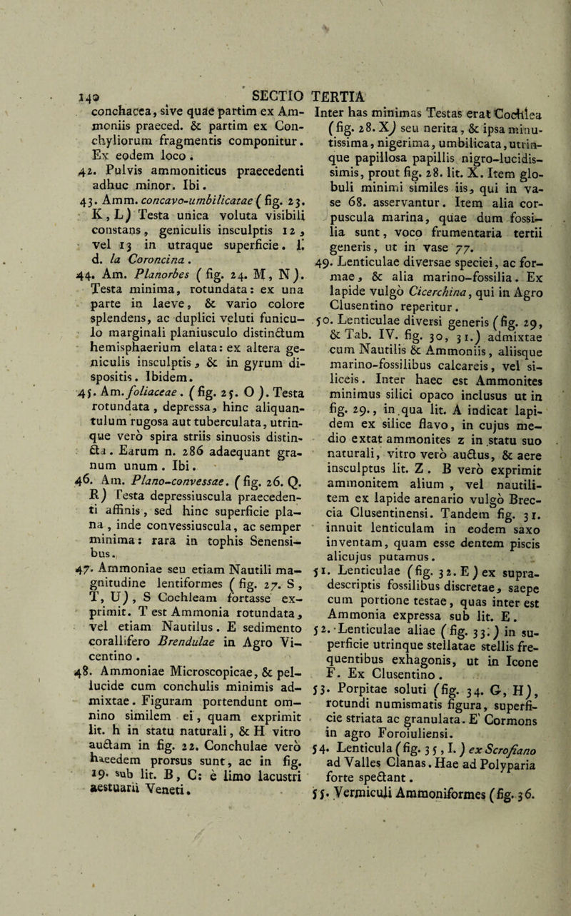 conchacca, sive quae partim ex Am- moniis praeced. Sc partim ex Con¬ chyliorum fragmentis componitur. Ex eodem loco. 42. Pulvis ammoniticus praecedenti adhuc minor. Ibi. 43. Amm. concavo-umbilicatae ( fig. 23. K,L) Testa unica voluta visibili constans, geniculis insculptis 12, vel 13 in utraque superficie. E d. Ia Coronei na . 44. Am. Planorbes (fig. 24. M, N). Testa minima, rotundata: ex una parte in laeve, &amp;. vario colore splendens, ac duplici veluti funicu¬ lo marginali planiusculo distin&amp;um hemisphaerium elata: ex altera ge¬ niculis insculptis * 6c in gyrum di¬ spositis. Ibidem. 4$. Am .foliaceae. (fig. 25. O ). Testa rotundata , depressa, hinc aliquan¬ tulum rugosa aut tuberculata, utrin- que vero spira striis sinuosis distin- £td. Earum n. 286 adaequant gra¬ num unum. Ibi. 46. Am. Plano-convessae. (fig. 26. Q. R) Testa depressiuscula praeceden¬ ti affinis, sed hinc superficie pla¬ na , inde convessiuscula, ac semper minima: rara in tophis Senensi¬ bus., 47. Ammoniae seu etiam Nautili ma¬ gnitudine lentiformes ( fig. 27. S , T, Uj, S Cochleam fortasse ex¬ primit. T est Aminonia rotundata, vel etiam Nautilus. E sedimento corallifero Brendulae in Agro Vi- centino . 48. Ammoniae Microscopicae, &amp; pel¬ lucide cum conchulis minimis ad¬ mixtae. Figuram portendunt om¬ nino similem ei , quam exprimit lit. h in statu naturali, &amp; H vitro au&amp;am in fig. 22. Conchulae vero hieedem prorsus sunt, ac in fig. 19. sub lit. B, G: e limo lacustri - aestuarii Veneti* Inter has minimas Testas erat Cochlea (fig. 28. XJ seu nerita, &amp; ipsa minu¬ tissima, nigerima, umbilicata,utrin- que papillosa papillis nigro-lucidis- simis, prout fig. 28. lit. X. Item glo¬ buli minimi similes iis, qui in va¬ se 68. asservantur. Item alia cor¬ puscula marina, quae dum fossi¬ lia sunt, voco frumentaria tertii generis, ut in vase 77. 49. Lenticulae diversae speciei, ac for¬ mae , &amp; alia marino-fossilia. Ex lapide vulgo Cicerchina, qui in Agro Clusentino repentur. 50. Lenticulae diversi generis (fig. 29, Tab. IV. fig. 30, 31.) admixtae cum Nautilis 8c Ammoniis, aliisque marino-fossilibus calcareis, vel si¬ liceis. Inter haec est Ammonites minimus silici opaco inclusus ut in fig. 29., in qua lit. A indicat lapi¬ dem ex silice flavo, in cujus me¬ dio e xtat ammonites z in statu suo naturali, vitro vero auflus, &amp; aere insculptus lit. Z . B vero exprimit ammonitem alium , vel nautili- tem ex lapide arenario vulgo Brec- cia Clusentinensi. Tandem fig. 31. innuit lenticulam in eodem saxo inventam, quam esse dentem piscis alicujus putamus. 51. Lenticulae (fig. 32. E) ex supra- descriptis fossilibus discretae, saepe cum portione testae, quas inter est Ammonia expressa sub lit. E. 52. Lenticulae aliae (fig. 33; J in su¬ perficie utrinque stellatae stellis fre¬ quentibus exhagonis, ut in Icone F. Ex Clusentino . 53. Porpitae soluti (fig. 34. G, H), rotundi numismatis figura, superfi¬ cie striata ac granulata. E' Cormons in agro Foroiuliensi. 5 4. Lenticula (fig. 3 5 &gt; E ) ex Scrofiano ad Valles Cianas. Hae ad Polyparia forte spe&amp;ant. S f. Vermiculi Ammoniformes (fig. 36.