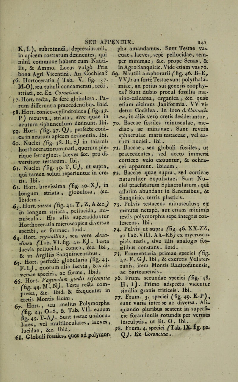 SED APPENDIX. 141 K,L), subrotundi, depressiusculi, pha amandamus. Sunt Testae va- in apicem rostratum desinentes, qui cuae , laeves, sepe pellucidae, sem- nihil commune habent cum JSfauti- per minimae, &amp;c. prope Senas, &amp; lis, St Ammo. Locus vulgo Pria in Agro Sanquiric. Vide etiam vas 70. bona Agri Vicentini. An Cochlea? s69. Nautili amphorarii /fig. 46. B-E* VV/: an forte Testae sunt polythala- miae, an potius sui generis zoophy- ta? Sunt dubio procul fossilia ma- rino-calcarea, organica, &amp;c. quae etiam dicimus Janiformia. VV vi¬ detur Cochlea . In loco d. Coronei- na, in aliis vero cretis desiderantur . 70. Baccae fossiles minusculae, me¬ diae , ac minimae. Sunt revera sphaerulae maris testaceae, vel ea¬ rum nuclei .Ibi'* horthoceratiorum nati, quorum ple- 71. Baccae, seu globuli fossiles, ut rique ferruginei * laeves Stc. pro di- praecedentes, sed aceto immersi T’ * corticeo velo exuuntur, St ochra*» cei apparent. Ibidem. 72. Baccae quae supra , sed corticae naturaliter expoliatae. Sunt Nu¬ clei praefatarum Sphaerularum, qui affatim abundant in Senensibus, St Sanquiric. terris plasticis. /6. Hortoceratia ( Tab. V. fig. 3 7 M-0),seu tubuli concamerati, redi, striati, ec. Ex Coroncina . 57. Hort. reda, 5t fere globulosa . Pa¬ rum differunt a praecedentibus. Ibid. 58. Hort. conico-cylindroidea ( fig. 37* P } recurva , striata , sive quae in acutum siphunculum desinunt. Ibi. 59. Hort. (fig. 3 7- QJ, perfeaeconi- ca in acutum apicem desinentia. Ibi. 60. Nuclei (fig. 38- K, V ™ talamis versitate testarum. Ibi. 61. Nuclei /fig. 39-T,U;, ut supra, qui tamen soluti reperiuntur m cre¬ tis. Ibi* 61. Hort.. brevissima /fig- 40. Xy, in longum striata, globulosa, 6tc. Ibidem 6?• Hort. vitrea (fig. 41/Y* Z, A &amp;cj 73. Pulvis testaceus minusculus; ex • . - • _t i . * ** rvi 1 rw o 1 vf1 1 o rvs 1 n 1 in longum striata, pellucida, mi¬ nuscula . His alia superadduntur Horthoceratia microscopica diversae speciei, ac formae . ioid . 64. Hort. crystallina, seu vere Arun¬ dinea /T*b. VI. fig. 42, 4 festa laevis pellucida, conica, Stc. Ibi, &amp; in Argillis Sanquiricensibus. 6^. Hort. perfede globularia /fig. 4/ ? quorum alia laevia , Stc. di¬ versae speciei , ac forme. Ibid. 6*5 Hort. Vaginulam gladii referentia (fig. 44. M, ^. Testa re£U com¬ pressa, &amp; c. Ibid. &amp; frequenter m cretis Montis llcini • 6,. Hort., seu melius Polymorpha /fig. 45. O-S, &amp; Tab. VII. eadem fig. 4j. T-AJ . Sunt testae umlocu- lares, vel multiloculares , laeves , lucidae , &amp;c. Ibid. 68. Globuli fossiles^ quos ad polyinoj:» minutis nempe, aut etiam minimis testis polymorphis sepe integris coa¬ lescens. Ibi. 74. Pulvis ut supra /fig. 46. XX-ZZ, ac Tab. VIII. AA-EE) ex mycrosco- picis testis, sive illis analogis fos¬ silibus constans. Ibid. 7J. Frumentaria primae speciei /fig. 47. F, . Ibi , 8t excretis Volarer» ranis, item Montis Radicofanensis, ac Sarteanensis. 76. Frum. secundae speciei /fig.'48. H, I) • Primo adspe&amp;u videntur similia granis triticeis . Ibi. 77. Frum. 3. speciei (fig 49. K-P) , sunt varia inter se ac diversa. Ali¬ quando pluribus scatent in superfi¬ cie foram inulis rotundis per vermes insculptis, ut lit. O . Ibi. 78. Frum. 4. speciei /Tab. IX. fig* f O» QJ. Ex Coroncina. /