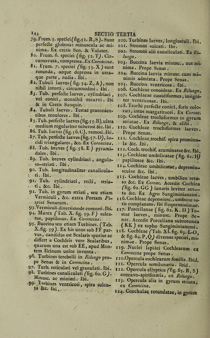 79. Frum. j. speciei(fig.51. R,S j* Sunt perfede globosa: minuscula ac mi¬ nima. Ex cretis Sen. &amp; Volater. 80. Erum. 6. speciei (fig. $2. Cir- cumovata, compressa. Ex Coroncina. 81. Frum. 7* speciei ffig. 53.Xj sunt rotunda, aeque depressa in utra¬ que parte , rudia . Ibi. 82. Tubuli laeves ( fig. 54. Z, A), non nihil intorti, circumnodosi. ibi. 8j. Tub. perfede laeves, cyiindriaci, vel conici, nonnihil recurvi. Ibi &amp; in Cretis Sanquir. 84. Tubuli laeves. Testae praeceden¬ tibus tenuiores . Ibi . 85. Tub. perfede laeves (fig.5 5.B), ultra • medium regulariter tuberosi &amp;c.Ibi. 86. Tub. laeves (fig.56.C), ramosi.Ibi. 87. Tub. perfede laeves (fig. 57. D), lu¬ cidi triangulares , &amp;c. Ex Coroncina. 88. Tub. breves (fig. 58. E ) pyrami¬ dales . Ibi. 89. Tub. breves cyiindriaci, angulo- so-striati. Ibi. 90. Tub. longitudinaliter canalicula- ■ ti. Ibi. 91. Tub. cyiindriaci, redi, stria- - ti, &amp;c. Ibi. 92. Tub. in gyrum striati, seu etiam Vermiculi, &amp;c. extra Portam Pi- spini Senarum. 93«Vermiculi diversimode contorti.Ibi. 94* Murex ( fab. X. fig. 59. E J sulca¬ tus, papillosus. Ex Coroncina. 95. Buccinaseu etiam Turbines. (Tab. X.fig. 59). Ex his unus sub FF par¬ vus, candidus est Scalaris spurius ac differt a Cochleis vere Scalaribus, quarum una est sub EE, apud Mon¬ tem Ilcinum unice inventa . 96. Turbines terebelli in Riluogo pro¬ pe Senas &amp;: in Coroncina . 97. Turb. reticulati velgranulati. Ibi. 9S* Turbines canaliculati ('fig. 60. GJ. Minusc. ac minimi. Ibi. 99* 1 &amp;tbines ventricosi, spira sulca¬ ta &amp;c. Ibi,. 100. Turbines laeves, longiusculi. Ibi. iqi. Strombi sulcati. Ibi. 102. Strombi alii canaliculati. Ex Ai- luogo. 103. Buccina laevia minusc., aut mi¬ nima . Prope Senas. 104. Buccina laevia minusc. cum mi¬ nimis admixta . Prope Senas. 105. Buccina ventricosa . Ibi. 106. Cochleae conoideae. Ex Riluogo, 107. Cochlaeae cassidiformes, insigni¬ ter ventricosae. Ibi. 108. Irochi perfede conici, foris colo¬ rati, intus margaritacei. Ex Corone. 109. Cochleae trochiformes in gvrum striatae. Ex Riluogo, St alibi'. 110. Cochleae trochiformes laeves. Prope Senas. m. Cochleae trochif. spira prominui la Stc. Ibi. 112. Coch. trochif. acuminatae &amp;c. Tbi. 113. Cochleae umbilicatae (fig. 61. H) papillosae Stc. Ibi. 114. Cochleae umbilicatae , depressiu— sculae Stc. Ibi. 115» Cochleae laeves, umbilico retu¬ so &amp;c. Ex Corone. Accedit Cochlea (fig. 61. GG ) lunaris leviter stria¬ ta &amp;c. Ex Agro Sangiminianensi. 116.Cochleae depressiusc., umbone sa¬ tis complanato. Ibi frequentissimae. 117* Porcellanae ( fig. 62. K, II) Te¬ stae laeves, minusc. Prope Se¬ nas. Accedit Porcellana subrotunda (KK) ex topho Sangiminianensi, 118. Cochleae ('Tab. XI. fig. 63. L-O, &amp; fig. 64.P,Q^ diversae speciei, mi¬ nimae . Prope Senas. 119. Nuclei lapidei Cochlearum ex Coroncina prope Senas . 120.0percula cochlearum fossilia. Ibid. 121. Opercula semilunaria. Ibid. 122. Opercula ellyptica ffig. 65. R? S ) concavo-spiriformia, ex Riluogo. 123. Opercula alia in gyrum striata, ex Coroncina. 124..Conchulae rotundatae, in gyrum