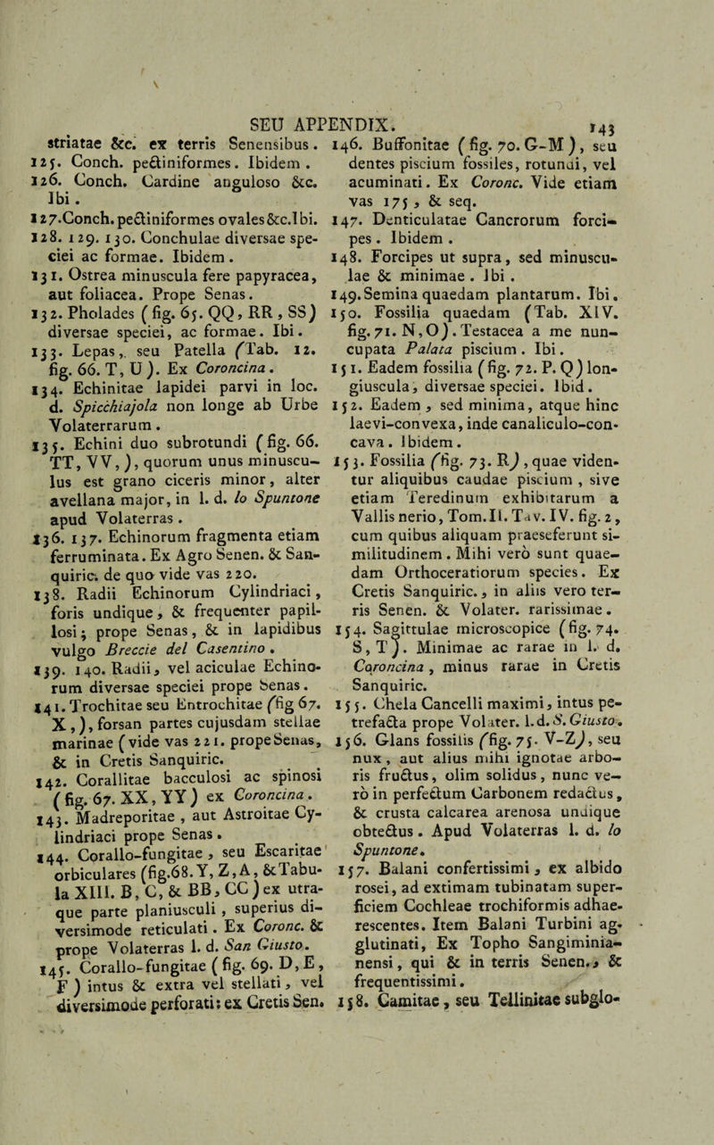striatae &amp;c. ex terris Senensibus. 146. BufFonitae ( fig. 70. G-M ) , seu 125. Conch. pe&amp;iniformes. Ibidem . dentes piscium fossiles, rotunai, vel 126. Conch. Cardine anguloso &amp;c. acuminati. Ex Corone. Vide etiam Ibi. vas 175 * &amp; seq. 127*Conch.pe£Uniformes ovales&amp;c.Ibi. 147. Denticulatae Cancrorum forcl» 128. 129. 130. Conchulae diversae spe¬ ciei ac formae. Ibidem. 131. Ostrea minuscula fere papyracea, aut foliacea. Prope Senas. 132. Pholades (fig. 65. QQ, RR , SS) diversae speciei, ac formae. Ibi. 133. Lepas,, seu Patella fTab. 12. fig. 66. T, U ). Ex Coroncina . 134. Echinitae lapidei parvi in loc. d. Spicckiajola non longe ab Urbe Volaterrarum. 135. Echini duo subrotundi ( fig. 66. TT, VV, ), quorum unus minuscu¬ lus est grano ciceris minor, alter avellana major, in 1. d. Io Spuntone apud Volaterras . 136. 137. Echinorum fragmenta etiam ferruminata. Ex Agro Senen. San¬ quiric; de quo vide vas 220. 138. Radii Echinorum Cylindriaci, foris undique, &amp; frequenter papil¬ los! ^ prope Senas, &amp; in lapidibus vulgo Breccie dei Casentino • 139. 140. Radii* vel aciculae Echino¬ rum diversae speciei prope benas. 141. Trochitae seu Entrochitae (fig 67. X ,), forsan partes cujusdam stellae marinae (vide vas 221. prope Senas, &amp; in Cretis Sanquiric.. 142. Corallitae bacculosi ac spinosi ( fig. 67. XX, YY) ex Coroncina. 143. Madreporitae , aut Astroitae Cy¬ lindriaci prope Senas. 144. Corallo-fungitae , seu Escaritae orbiculares (fig.68. Y, Z,A, Stlabu- la XIII. B, C, &amp; BB, CC ) ex utra¬ que parte planiusculi , superius di¬ versimode reticulati. Ex Corone. &amp; prope Volaterras 1. d. San Ciusto. 145. Coralio-fungitae ( fig. 69. D, E , F ) intus &amp; extra vel stellati , vel diversimode perforatis ex Cretis Sen. pes. Ibidem . 148. Forcipes ut supra, sed minuscu¬ lae &amp; minimae . Ibi . 149.Semina quaedam plantarum. Ibi. 150. Fossilia quaedam (Tab. XIV. fig. 71. N,O) . Testacea a me nun¬ cupata Palata piscium. Ibi. 151. Eadem fossilia (fig. 72. P. Q) lon¬ giuscula, diversae speciei. lbid. 152. Eadem, sed minima, atque hinc laevi-eonvexa, inde canaliculo-con- cava. Ibidem. 153. Fossilia (fig. 73. R) ,quae viden¬ tur aliquibus caudae piscium , sive etiam Teredinum exhibitarum a Vallis nerio, Tom.Ii. T&lt;tv. IV. fig. 2, cum quibus aliquam praeseferunt si¬ militudinem . Mihi vero sunt quae¬ dam Orthoceratiorum species. Ex Cretis Sanquiric., in aliis vero ter¬ ris Senen. &amp;. Volater. rarissimae. 154. Sagittulae rnicroscopice (fig. 74. S, T J. Minimae ac rarae in 1. d. Coroncina, minus rarae in Cretis Sanquiric. 135. Chela Cancelli maximi, intus pe- trefafla prope Volater. l.d.S.Giusto-, 156. Glans fossilis (fig. 75* V-Z^, seu nux, aut alius mihi ignotae arbo¬ ris fru£tus, olim solidus, nunc ve¬ ro in perfettum Carbonem redactus, 6c crusta calcarea arenosa undique obte&amp;us. Apud Volaterras 1. d. Io Spuntone. 157. Balani confertissimi * ex albido rosei, ad extimam tubinatam super¬ ficiem Cochleae trochiformis adhae¬ rescentes. Item Balani Turbini ag¬ glutinati, Ex Topho Sangiminia- nensi, qui &amp; in terris Senen. &gt; &amp; frequentissimi. 118. Camitae ? seu Tellinitae subglo-
